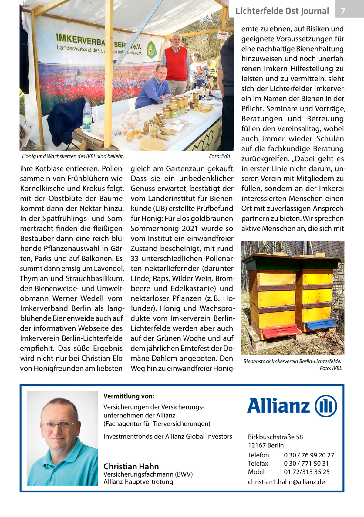 Lichterfelde Ost Journal  Honig und Wachskerzen des IVBL sind beliebt.�  ihre Kotblase entleeren. Pollensammeln von Frühblühern wie Kornelkirsche und Krokus folgt, mit der Obstblüte der Bäume kommt dann der Nektar hinzu. In der Spätfrühlings- und Sommertracht finden die fleißigen Bestäuber dann eine reich blühende Pflanzenauswahl in Gärten, Parks und auf Balkonen. Es summt dann emsig um Lavendel, Thymian und Strauchbasilikum, den Bienenweide- und Umweltobmann Werner Wedell vom Imkerverband Berlin als langblühende Bienenweide auch auf der informativen Webseite des Imkerverein Berlin-Lichterfelde empfiehlt. Das süße Ergebnis wird nicht nur bei Christian Elo von Honigfreunden am liebsten  Foto: IVBL  gleich am Gartenzaun gekauft. Dass sie ein unbedenklicher Genuss erwartet, bestätigt der vom Länderinstitut für Bienenkunde (LIB) erstellte Prüfbefund für Honig: Für Elos goldbraunen Sommerhonig 2021 wurde so vom Institut ein einwandfreier Zustand bescheinigt, mit rund 33 unterschiedlichen Pollenarten nektarliefernder (darunter Linde, Raps, Wilder Wein, Brombeere und Edelkastanie) und nektarloser Pflanzen (z. B. Holunder). Honig und Wachsprodukte vom Imkerverein BerlinLichterfelde werden aber auch auf der Grünen Woche und auf dem jährlichen Erntefest der Domäne Dahlem angeboten. Den Weg hin zu einwandfreier Honig­  ernte zu ebnen, auf Risiken und geeignete Voraussetzungen für eine nachhaltige Bienenhaltung hinzuweisen und noch unerfahrenen Imkern Hilfestellung zu leisten und zu vermitteln, sieht sich der Lichterfelder Imkerverein im Namen der Bienen in der Pflicht. Seminare und Vorträge, Beratungen und Betreuung füllen den Vereinsalltag, wobei auch immer wieder Schulen auf die fachkundige Beratung zurückgreifen. „Dabei geht es in erster Linie nicht darum, unseren Verein mit Mitgliedern zu füllen, sondern an der Imkerei interessierten Menschen einen Ort mit zuverlässigen Ansprechpartnern zu bieten. Wir sprechen aktive Menschen an, die sich mit  Bienenstock Imkerverein Berlin-Lichterfelde. � Foto: IVBL  Vermittlung von: Versicherungen der Versicherungsunternehmen der Allianz (Fachagentur für Tierversicherungen) Investmentfonds der Allianz Global Investors  Christian Hahn  Versicherungsfachmann (BWV) Allianz Hauptvertretung  7 7  Birkbuschstraße 58 12167 Berlin Telefon 0 30 / 76 99 20 27 Telefax 0 30 / 771 50 31 Mobil 01 72/313 35 25 christian1.hahn@allianz.de