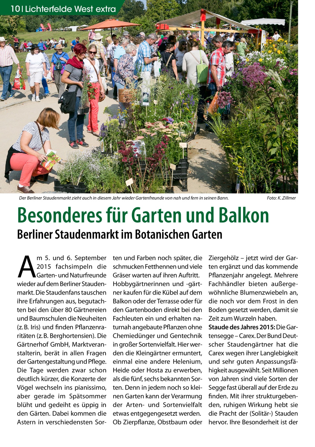 10 Lichterfelde West extra  Der Berliner Staudenmarkt zieht auch in diesem Jahr wieder Gartenfreunde von nah und fern in seinen Bann.�  Foto: K. Zillmer  Besonderes für Garten und Balkon Berliner Staudenmarkt im Botanischen Garten  A  m 5. und 6.  September 2015 fachsimpeln die Garten- und Naturfreunde wieder auf dem Berliner Staudenmarkt. Die Staudenfans tauschen ihre Erfahrungen aus, begutachten bei den über 80 Gärtnereien und Baumschulen die Neuheiten (z. B. Iris) und finden Pflanzenraritäten (z. B. Berghortensien). Die Gärtnerhof GmbH, Marktveranstalterin, berät in allen Fragen der Gartengestaltung und Pflege. Die Tage werden zwar schon deutlich kürzer, die Konzerte der Vögel wechseln ins pianissimo, aber gerade im Spätsommer blüht und gedeiht es üppig in den Gärten. Dabei kommen die Astern in verschiedensten Sor ten und Farben noch später, die schmucken Fetthennen und viele Gräser warten auf ihren Auftritt. Hobbygärtnerinnen und -gärtner kaufen für die Kübel auf dem Balkon oder der Terrasse oder für den Gartenboden direkt bei den Fachleuten ein und erhalten naturnah angebaute Pflanzen ohne Chemiedünger und Gentechnik in großer Sortenvielfalt. Hier werden die Kleingärtner ermuntert, einmal eine andere Helenium, Heide oder Hosta zu erwerben, als die fünf, sechs bekannten Sorten. Denn in jedem noch so kleinen Garten kann der Verarmung der Arten- und Sortenvielfalt etwas entgegengesetzt werden. Ob Zierpflanze, Obstbaum oder  Ziergehölz – jetzt wird der Garten ergänzt und das kommende Pflanzenjahr angelegt. Mehrere Fachhändler bieten außergewöhnliche Blumenzwiebeln an, die noch vor dem Frost in den Boden gesetzt werden, damit sie Zeit zum Wurzeln haben. Staude des Jahres 2015: Die Gartensegge – Carex. Der Bund Deutscher Staudengärtner hat die Carex wegen ihrer Langlebigkeit und sehr guten Anpassungsfähigkeit ausgewählt. Seit Millionen von Jahren sind viele Sorten der Segge fast überall auf der Erde zu finden. Mit ihrer strukturgebenden, ruhigen Wirkung hebt sie die Pracht der (Solitär-) Stauden hervor. Ihre Besonderheit ist der