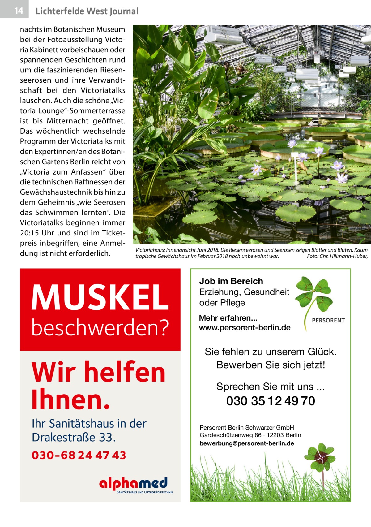 14  Lichterfelde West Journal  nachts im Botanischen Museum bei der Fotoausstellung Victoria Kabinett vorbeischauen oder spannenden Geschichten rund um die faszinierenden Riesenseerosen und ihre Verwandtschaft bei den Victoriatalks lauschen. Auch die schöne „Victoria Lounge“-Sommerterrasse ist bis Mitternacht geöffnet. Das wöchentlich wechselnde Programm der Victoriatalks mit den Expertinnen/en des Botanischen Gartens Berlin reicht von „Victoria zum Anfassen“ über die technischen Raffinessen der Gewächshaustechnik bis hin zu dem Geheimnis „wie Seerosen das Schwimmen lernten“. Die Victoriatalks beginnen immer 20:15  Uhr und sind im Ticketpreis inbegriffen, eine Anmeldung ist nicht erforderlich.  Victoriahaus: Innenansicht Juni 2018. Die Riesenseerosen und Seerosen zeigen Blätter und Blüten. Kaum     tropische Gewächshaus im Februar 2018 noch unbewohnt war.� Foto: Chr. Hillmann-Huber,     MUSKEL  beschwerden?  Wir helfen Ihnen. Ihr Sanitätshaus in der Drakestraße 33.  030-68 24 47 43  Job im Bereich Erziehung, Gesundheit oder Pflege Mehr erfahren... www.persorent-berlin.de  Sie fehlen zu unserem Glück. Bewerben Sie sich jetzt!  Sprechen Sie mit uns ...  030 35 12 49 70 Persorent Berlin Schwarzer GmbH Gardeschützenweg 86 · 12203 Berlin bewerbung@persorent-berlin.de