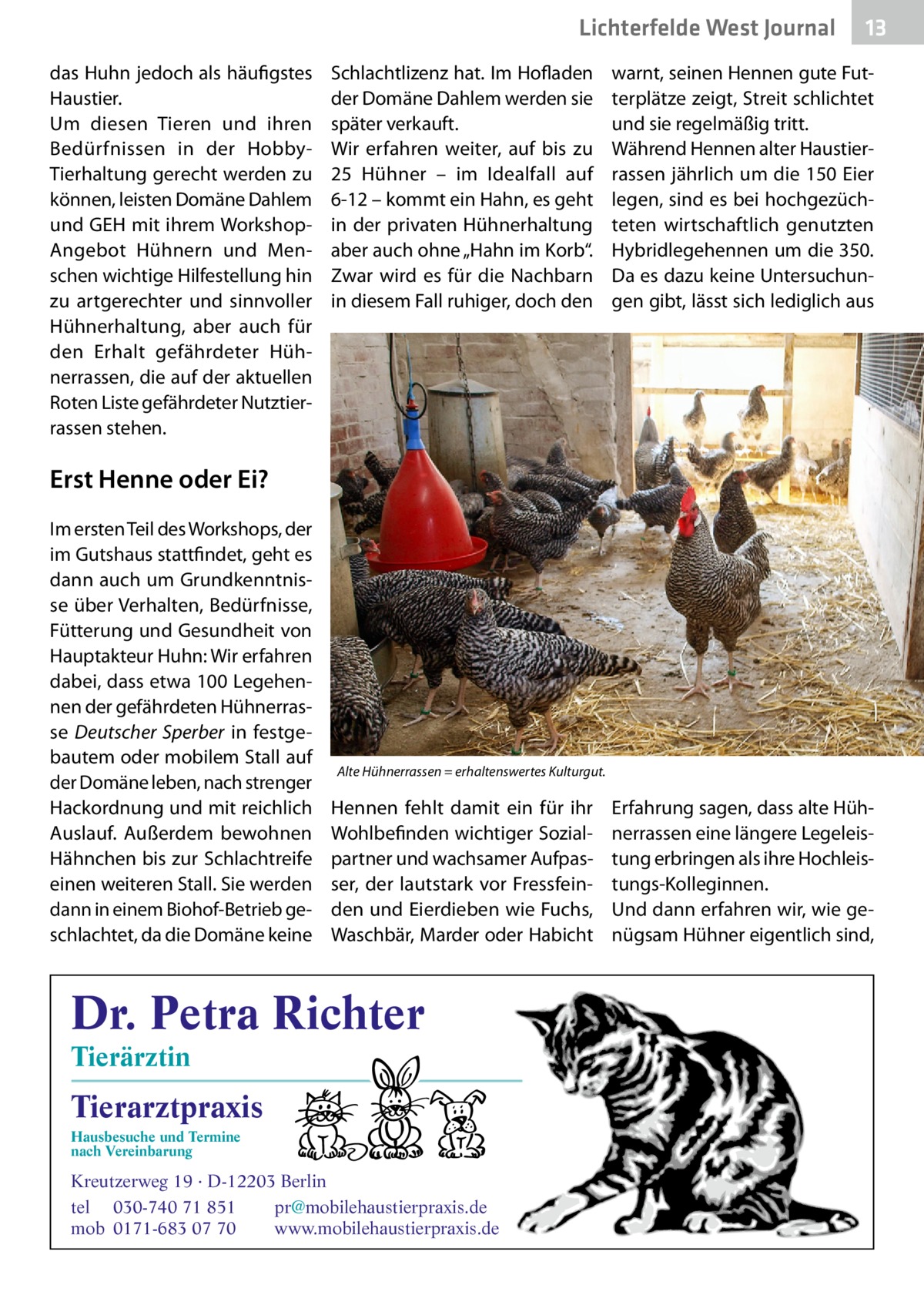 Lichterfelde West Journal das Huhn jedoch als häufigstes Haustier. Um diesen Tieren und ihren Bedürfnissen in der HobbyTierhaltung gerecht werden zu können, leisten Domäne Dahlem und GEH mit ihrem WorkshopAngebot Hühnern und Menschen wichtige Hilfestellung hin zu artgerechter und sinnvoller Hühnerhaltung, aber auch für den Erhalt gefährdeter Hühnerrassen, die auf der aktuellen Roten Liste gefährdeter Nutztierrassen stehen.  Schlachtlizenz hat. Im Hofladen der Domäne Dahlem werden sie später verkauft. Wir erfahren weiter, auf bis zu 25  Hühner – im Idealfall auf 6-12 – kommt ein Hahn, es geht in der privaten Hühnerhaltung aber auch ohne „Hahn im Korb“. Zwar wird es für die Nachbarn in diesem Fall ruhiger, doch den  13 13  warnt, seinen Hennen gute Futterplätze zeigt, Streit schlichtet und sie regelmäßig tritt. Während Hennen alter Haustierrassen jährlich um die 150 Eier legen, sind es bei hochgezüchteten wirtschaftlich genutzten Hybridlegehennen um die 350. Da es dazu keine Untersuchungen gibt, lässt sich lediglich aus  Erst Henne oder Ei? Im ersten Teil des Workshops, der im Gutshaus stattfindet, geht es dann auch um Grundkenntnisse über Verhalten, Bedürfnisse, Fütterung und Gesundheit von Hauptakteur Huhn: Wir erfahren dabei, dass etwa 100 Legehennen der gefährdeten Hühnerrasse Deutscher Sperber in festgebautem oder mobilem Stall auf der Domäne leben, nach strenger Hackordnung und mit reichlich Auslauf. Außerdem bewohnen Hähnchen bis zur Schlachtreife einen weiteren Stall. Sie werden dann in einem Biohof-Betrieb geschlachtet, da die Domäne keine  Alte Hühnerrassen = erhaltenswertes Kulturgut.  Hennen fehlt damit ein für ihr Wohlbefinden wichtiger Sozialpartner und wachsamer Aufpasser, der lautstark vor Fressfeinden und Eierdieben wie Fuchs, Waschbär, Marder oder Habicht  Dr. Petra Richter Tierärztin  Tierarztpraxis Hausbesuche und Termine nach Vereinbarung  ���  Kreutzerweg 19 · D-12203 Berlin tel 030-740 71 851 pr@mobilehaustierpraxis.de mob 0171-683 07 70 www.mobilehaustierpraxis.de  Erfahrung sagen, dass alte Hühnerrassen eine längere Legeleistung erbringen als ihre Hochleistungs-Kolleginnen. Und dann erfahren wir, wie genügsam Hühner eigentlich sind,