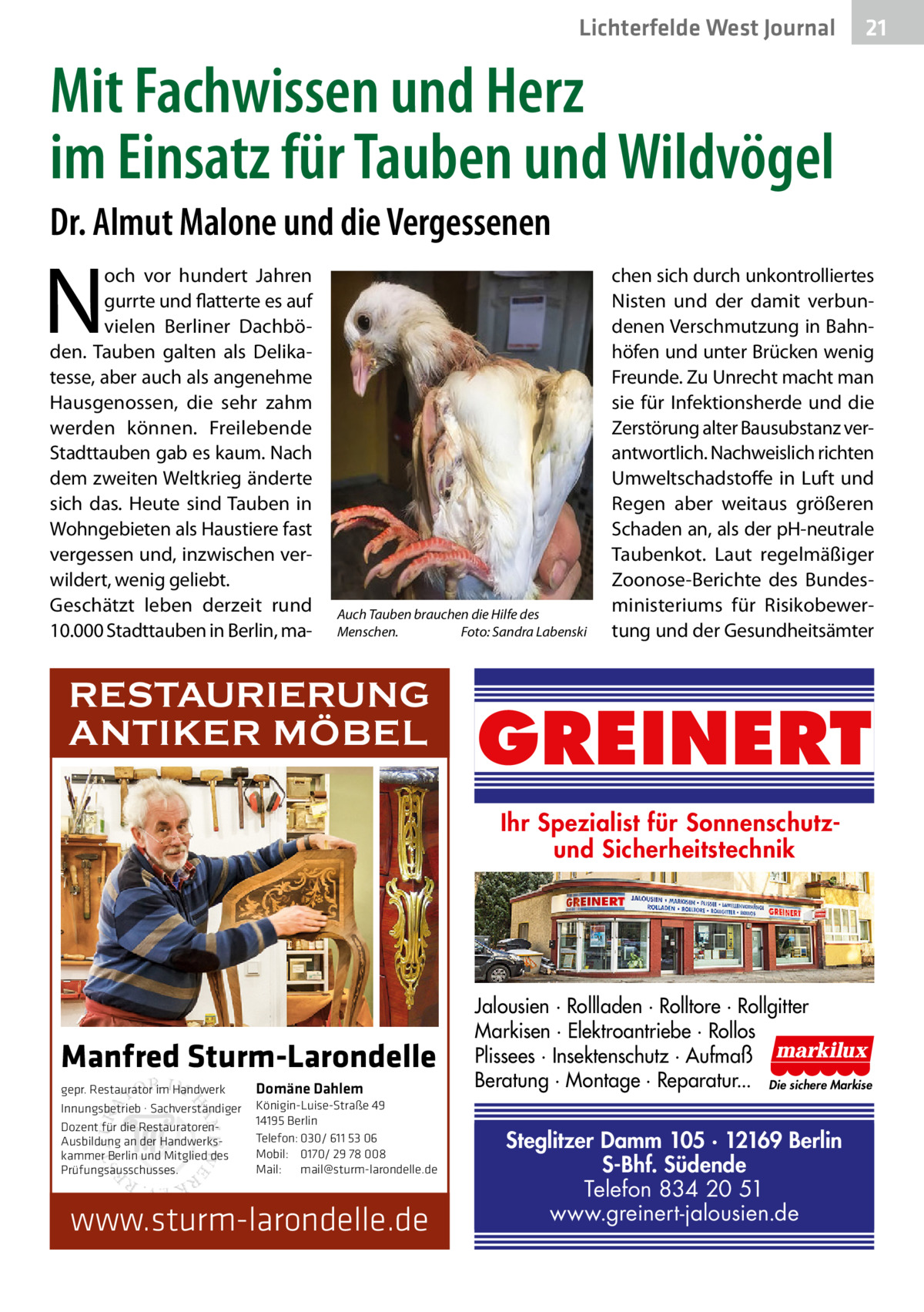 Lichterfelde West Journal  21 21  Mit Fachwissen und Herz im Einsatz für Tauben und Wildvögel Dr. Almut Malone und die Vergessenen  N  och vor hundert Jahren gurrte und flatterte es auf vielen Berliner Dachböden. Tauben galten als Delikatesse, aber auch als angenehme Hausgenossen, die sehr zahm werden können. Freilebende Stadttauben gab es kaum. Nach dem zweiten Weltkrieg änderte sich das. Heute sind Tauben in Wohngebieten als Haustiere fast vergessen und, inzwischen verwildert, wenig geliebt. Geschätzt leben derzeit rund 10.000 Stadttauben in Berlin, ma Auch Tauben brauchen die Hilfe des Menschen.� Foto: Sandra Labenski  RESTAURIERUNG ANTIKER MÖBEL  chen sich durch unkontrolliertes Nisten und der damit verbundenen Verschmutzung in Bahnhöfen und unter Brücken wenig Freunde. Zu Unrecht macht man sie für Infektionsherde und die Zerstörung alter Bausubstanz verantwortlich. Nachweislich richten Umweltschadstoffe in Luft und Regen aber weitaus größeren Schaden an, als der pH-neutrale Taubenkot. Laut regelmäßiger Zoonose-Berichte des Bundesministeriums für Risikobewertung und der Gesundheitsämter  GREINERT Ihr Spezialist für Sonnenschutzund Sicherheitstechnik  Manfred Sturm-Larondelle gepr. Restaurator im Handwerk Innungsbetrieb · Sachverständiger Dozent für die RestauratorenAusbildung an der Handwerkskammer Berlin und Mitglied des Prüfungsausschusses.  Domäne Dahlem Königin-Luise-Straße 49 14195 Berlin Telefon: 030/ 611 53 06 Mobil: 0170/ 29 78 008 Mail: mail@sturm-larondelle.de  www.sturm-larondelle.de  Jalousien · Rollladen · Rolltore · Rollgitter Markisen · Elektroantriebe · Rollos Plissees · Insektenschutz · Aufmaß Beratung · Montage · Reparatur... Die sichere Markise  Steglitzer Damm 105 · 12169 Berlin S-Bhf. Südende Telefon 834 20 51 www.greinert-jalousien.de