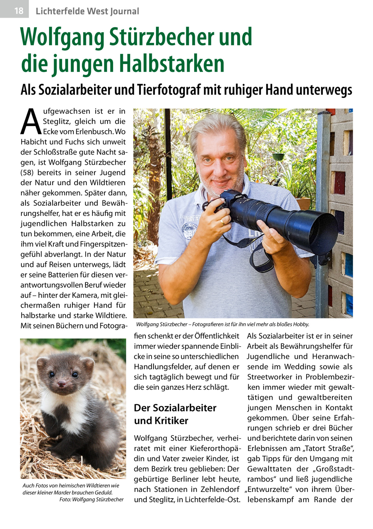 18  Lichterfelde West Journal  Wolfgang Stürzbecher und die jungen Halbstarken Als Sozialarbeiter und Tierfotograf mit ruhiger Hand unterwegs  A  ufgewachsen ist er in Steglitz, gleich um die Ecke vom Erlenbusch. Wo Habicht und Fuchs sich unweit der Schloßstraße gute Nacht sagen, ist Wolfgang Stürzbecher (58) bereits in seiner Jugend der Natur und den Wildtieren näher gekommen. Später dann, als Sozialarbeiter und Bewährungshelfer, hat er es häufig mit jugendlichen Halbstarken zu tun bekommen, eine Arbeit, die ihm viel Kraft und Fingerspitzengefühl abverlangt. In der Natur und auf Reisen unterwegs, lädt er seine Batterien für diesen verantwortungsvollen Beruf wieder auf – hinter der Kamera, mit gleichermaßen ruhiger Hand für halbstarke und starke Wildtiere. Mit seinen Büchern und Fotogra Wolfgang Stürzbecher – Fotografieren ist für ihn viel mehr als bloßes Hobby.  fien schenkt er der Öffentlichkeit immer wieder spannende Einblicke in seine so unterschiedlichen Handlungsfelder, auf denen er sich tagtäglich bewegt und für die sein ganzes Herz schlägt.  Der Sozialarbeiter und Kritiker  Auch Fotos von heimischen Wildtieren wie dieser kleiner Marder brauchen Geduld. � Foto: Wolfgang Stürzbecher  Wolfgang Stürzbecher, verheiratet mit einer Kieferorthopädin und Vater zweier Kinder, ist dem Bezirk treu geblieben: Der gebürtige Berliner lebt heute, nach Stationen in Zehlendorf und Steglitz, in Lichterfelde-Ost.  Als Sozialarbeiter ist er in seiner Arbeit als Bewährungshelfer für Jugendliche und Heranwachsende im Wedding sowie als Streetworker in Problembezirken immer wieder mit gewalttätigen und gewaltbereiten jungen Menschen in Kontakt gekommen. Über seine Erfahrungen schrieb er drei Bücher und berichtete darin von seinen Erlebnissen am „Tatort Straße“, gab Tipps für den Umgang mit Gewalttaten der „Großstadtrambos“ und ließ jugendliche „Entwurzelte“ von ihrem Überlebenskampf am Rande der