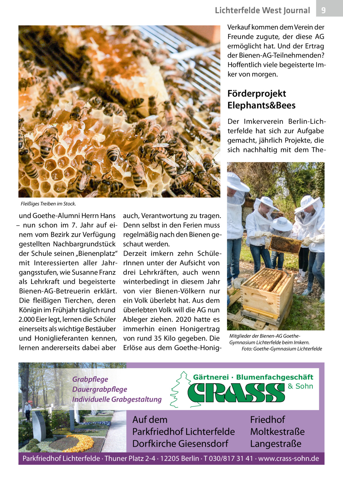 Lichterfelde West Journal  9  Verkauf kommen dem Verein der Freunde zugute, der diese AG ermöglicht hat. Und der Ertrag der Bienen-AG-Teilnehmenden? Hoffentlich viele begeisterte Imker von morgen.  Förderprojekt Elephants&Bees Der Imkerverein Berlin-Lichterfelde hat sich zur Aufgabe gemacht, jährlich Projekte, die sich nachhaltig mit dem The Fleißiges Treiben im Stock.  und Goethe-Alumni Herrn Hans – nun schon im 7. Jahr auf einem vom Bezirk zur Verfügung gestellten Nachbargrundstück der Schule seinen „Bienenplatz“ mit Interessierten aller Jahrgangsstufen, wie Susanne Franz als Lehrkraft und begeisterte Bienen-AG-Betreuerin erklärt. Die fleißigen Tierchen, deren Königin im Frühjahr täglich rund 2.000 Eier legt, lernen die Schüler einerseits als wichtige Bestäuber und Honiglieferanten kennen, lernen andererseits dabei aber  auch, Verantwortung zu tragen. Denn selbst in den Ferien muss regelmäßig nach den Bienen geschaut werden. Derzeit imkern zehn SchülerInnen unter der Aufsicht von drei Lehrkräften, auch wenn winterbedingt in diesem Jahr von vier Bienen-Völkern nur ein Volk überlebt hat. Aus dem überlebten Volk will die AG nun Ableger ziehen. 2020 hatte es immerhin einen Honigertrag von rund 35 Kilo gegeben. Die Erlöse aus dem Goethe-Honig Grabpflege Dauergrabpflege Individuelle Grabgestaltung  Mitglieder der Bienen-AG GoetheGymnasium Lichterfelde beim Imkern. Foto: Goethe-Gymnasium Lichterfelde  Gärtnerei · Blumenfachgeschäft & Sohn  Auf dem Parkfriedhof Lichterfelde Dorfkirche Giesensdorf  Friedhof Moltkestraße Langestraße  Parkfriedhof Lichterfelde · Thuner Platz 2-4 · 12205 Berlin · T 030/817 31 41 · www.crass-sohn.de