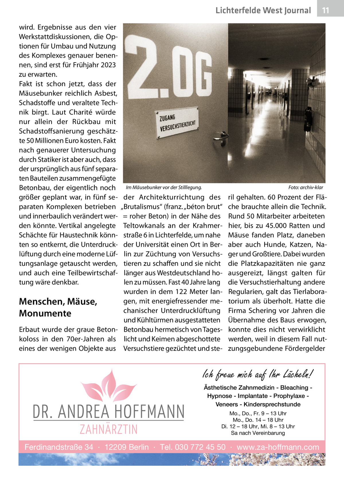 Lichterfelde West Journal wird. Ergebnisse aus den vier Werkstattdiskussionen, die Optionen für Umbau und Nutzung des Komplexes genauer benennen, sind erst für Frühjahr 2023 zu erwarten. Fakt ist schon jetzt, dass der Mäusebunker reichlich Asbest, Schadstoffe und veraltete Technik birgt. Laut Charité würde nur allein der Rückbau mit Schadstoffsanierung geschätzte 50 Millionen Euro kosten. Fakt nach genauerer Untersuchung durch Statiker ist aber auch, dass der ursprünglich aus fünf separaten Bauteilen zusammengefügte Betonbau, der eigentlich noch größer geplant war, in fünf separaten Komplexen betrieben und innerbaulich verändert werden könnte. Vertikal angelegte Schächte für Haustechnik könnten so entkernt, die Unterdrucklüftung durch eine moderne Lüftungsanlage getauscht werden, und auch eine Teilbewirtschaftung wäre denkbar.  Im Mäusebunker vor der Stilllegung.�  11 11  Foto: archiv-klar  der Architekturrichtung des „Brutalismus“ (franz. „béton brut“ = roher Beton) in der Nähe des Teltowkanals an der Krahmerstraße 6 in Lichterfelde, um nahe der Universität einen Ort in Berlin zur Züchtung von Versuchstieren zu schaffen und sie nicht länger aus Westdeutschland holen zu müssen. Fast 40 Jahre lang wurden in dem 122  Meter langen, mit energiefressender meMenschen, Mäuse, chanischer Unterdrucklüftung Monumente und Kühltürmen ausgestatteten Erbaut wurde der graue Beton- Betonbau hermetisch von Tageskoloss in den 70er-Jahren als licht und Keimen abgeschottete eines der wenigen Objekte aus Versuchstiere gezüchtet und ste ril gehalten. 60 Prozent der Fläche brauchte allein die Technik. Rund 50 Mitarbeiter arbeiteten hier, bis zu 45.000  Ratten und Mäuse fanden Platz, daneben aber auch Hunde, Katzen, Nager und Großtiere. Dabei wurden die Platzkapazitäten nie ganz ausgereizt, längst galten für die Versuchstierhaltung andere Regularien, galt das Tierlaboratorium als überholt. Hatte die Firma Schering vor Jahren die Übernahme des Baus erwogen, konnte dies nicht verwirklicht werden, weil in diesem Fall nutzungsgebundene Fördergelder  Ich freue mich auf Ihr Lächeln! Ästhetische Zahnmedizin - Bleaching Hypnose - Implantate - Prophylaxe Veneers - Kindersprechstunde Mo., Do., Fr. 9 – 13 Uhr Mo., Do. 14 – 18 Uhr Di. 12 – 18 Uhr, Mi. 8 – 13 Uhr Sa nach Vereinbarung  Ferdinandstraße 34 · 12209 Berlin · Tel. 030 772 45 50 · www.za-hoffmann.com