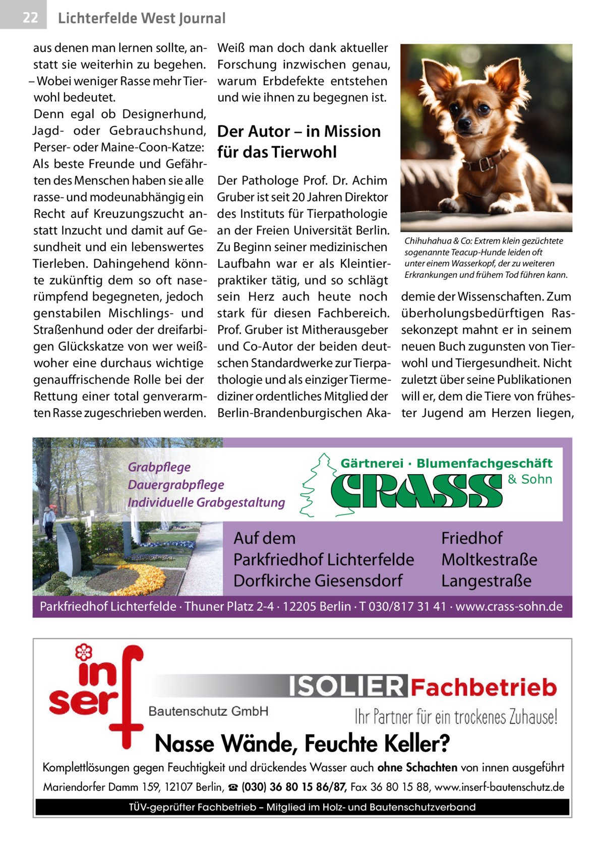 22  Gesundheit West Journal Lichterfelde  aus denen man lernen sollte, anstatt sie weiterhin zu begehen. – Wobei weniger Rasse mehr Tierwohl bedeutet. Denn egal ob Designerhund, Jagd- oder Gebrauchshund, Perser- oder Maine-Coon-Katze: Als beste Freunde und Gefährten des Menschen haben sie alle rasse- und modeunabhängig ein Recht auf Kreuzungszucht anstatt Inzucht und damit auf Gesundheit und ein lebenswertes Tierleben. Dahingehend könnte zukünftig dem so oft naserümpfend begegneten, jedoch genstabilen Mischlings- und Straßenhund oder der dreifarbigen Glückskatze von wer weißwoher eine durchaus wichtige genauffrischende Rolle bei der Rettung einer total genverarmten Rasse zugeschrieben werden.  Weiß man doch dank aktueller Forschung inzwischen genau, warum Erbdefekte entstehen und wie ihnen zu begegnen ist.  Der Autor – in Mission für das Tierwohl Der Pathologe Prof.  Dr.  Achim Gruber ist seit 20 Jahren Direktor des Instituts für Tierpathologie an der Freien Universität Berlin. Zu Beginn seiner medizinischen Laufbahn war er als Kleintierpraktiker tätig, und so schlägt sein Herz auch heute noch stark für diesen Fachbereich. Prof. Gruber ist Mitherausgeber und Co-Autor der beiden deutschen Standardwerke zur Tierpathologie und als einziger Tiermediziner ordentliches Mitglied der Berlin-Brandenburgischen Aka Grabpflege Dauergrabpflege Individuelle Grabgestaltung  Chihuhahua & Co: Extrem klein gezüchtete sogenannte Teacup-Hunde leiden oft unter einem Wasserkopf, der zu weiteren Erkrankungen und frühem Tod führen kann.  demie der Wissenschaften. Zum überholungsbedürftigen Rassekonzept mahnt er in seinem neuen Buch zugunsten von Tierwohl und Tiergesundheit. Nicht zuletzt über seine Publikationen will er, dem die Tiere von frühester Jugend am Herzen liegen,  Gärtnerei · Blumenfachgeschäft & Sohn  Auf dem Parkfriedhof Lichterfelde Dorfkirche Giesensdorf  Friedhof Moltkestraße Langestraße  Parkfriedhof Lichterfelde · Thuner Platz 2-4 · 12205 Berlin · T 030/817 31 41 · www.crass-sohn.de  Nasse Wände, Feuchte Keller? Komplettlösungen gegen Feuchtigkeit und drückendes Wasser auch ohne Schachten von innen ausgeführt Mariendorfer Damm 159, 12107 Berlin, ☎ (030) 36 80 15 86/87, Fax 36 80 15 88, www.inserf-bautenschutz.de TÜV-geprüfter Fachbetrieb – Mitglied im Holz- und Bautenschutzverband