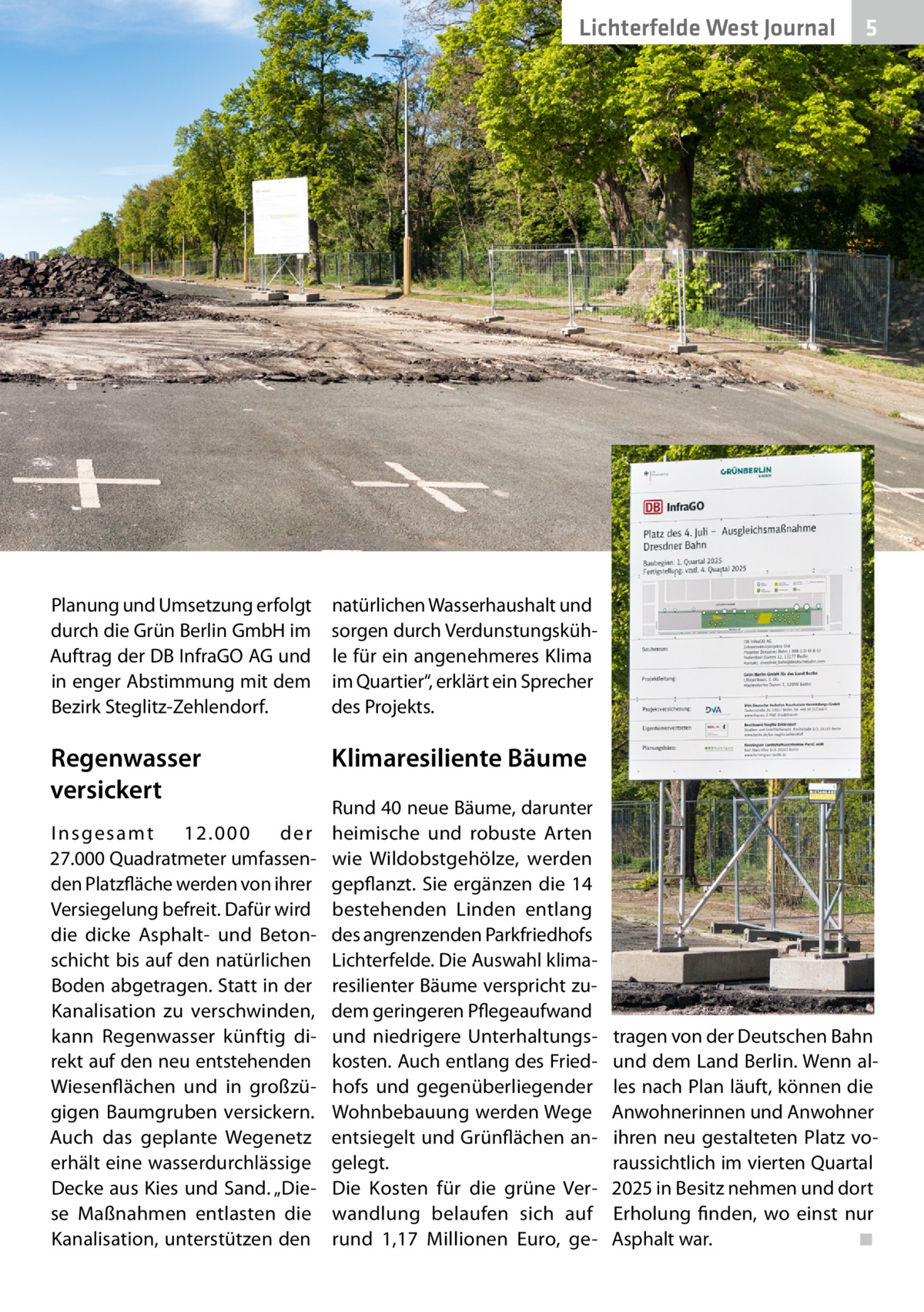 Lichterfelde West Journal  5  Planung und Umsetzung erfolgt natürlichen Wasserhaushalt und durch die Grün Berlin GmbH im sorgen durch VerdunstungskühAuftrag der DB InfraGO AG und le für ein angenehmeres Klima in enger Abstimmung mit dem im Quartier“, erklärt ein Sprecher des Projekts. Bezirk Steglitz-Zehlendorf.  Regenwasser versickert I n s g e s a mt 12.000 der 27.000 Quadratmeter umfassenden Platzfläche werden von ihrer Versiegelung befreit. Dafür wird die dicke Asphalt- und Betonschicht bis auf den natürlichen Boden abgetragen. Statt in der Kanalisation zu verschwinden, kann Regenwasser künftig direkt auf den neu entstehenden Wiesenflächen und in großzügigen Baumgruben versickern. Auch das geplante Wegenetz erhält eine wasserdurchlässige Decke aus Kies und Sand. „Diese Maßnahmen entlasten die Kanalisation, unterstützen den  Klimaresiliente Bäume Rund 40 neue Bäume, darunter heimische und robuste Arten wie Wildobstgehölze, werden gepflanzt. Sie ergänzen die 14 bestehenden Linden entlang des angrenzenden Parkfriedhofs Lichterfelde. Die Auswahl klimaresilienter Bäume verspricht zudem geringeren Pflegeaufwand und niedrigere Unterhaltungskosten. Auch entlang des Friedhofs und gegenüberliegender Wohnbebauung werden Wege entsiegelt und Grünflächen angelegt. Die Kosten für die grüne Verwandlung belaufen sich auf rund 1,17  Millionen Euro, ge tragen von der Deutschen Bahn und dem Land Berlin. Wenn alles nach Plan läuft, können die Anwohnerinnen und Anwohner ihren neu gestalteten Platz voraussichtlich im vierten Quartal 2025 in Besitz nehmen und dort Erholung finden, wo einst nur Asphalt war.� ◾