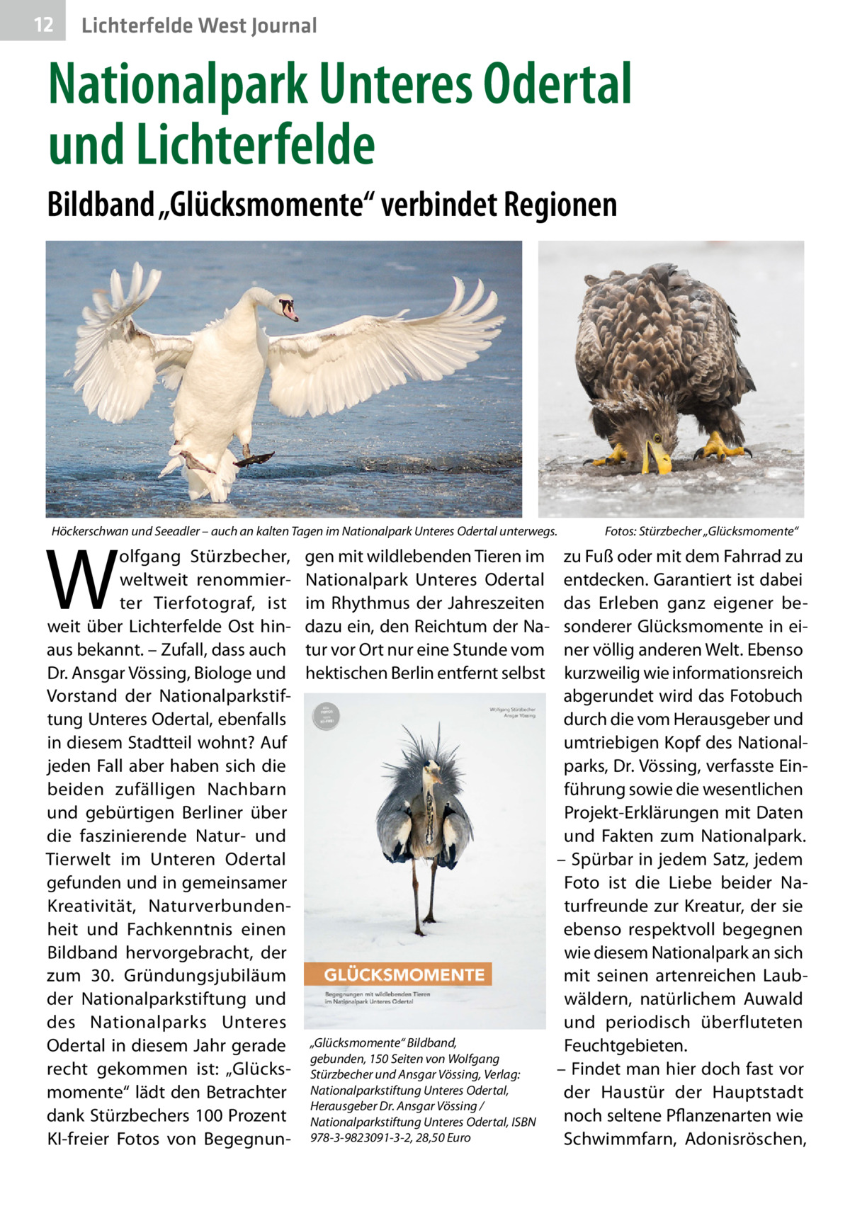 12  Lichterfelde West Journal  Nationalpark Unteres Odertal und Lichterfelde Bildband „Glücksmomente“ verbindet Regionen  Höckerschwan und Seeadler – auch an kalten Tagen im Nationalpark Unteres Odertal unterwegs.�  W  olfgang Stürzbecher, weltweit renommierter Tierfotograf, ist weit über Lichterfelde Ost hinaus bekannt. – Zufall, dass auch Dr. Ansgar Vössing, Biologe und Vorstand der Nationalparkstiftung Unteres Odertal, ebenfalls in diesem Stadtteil wohnt? Auf jeden Fall aber haben sich die beiden zufälligen Nachbarn und gebürtigen Berliner über die faszinierende Natur- und Tierwelt im Unteren Odertal gefunden und in gemeinsamer Kreativität, Naturverbundenheit und Fachkenntnis einen Bildband hervorgebracht, der zum 30. Gründungsjubiläum der Nationalparkstiftung und des Nationalparks Unteres Odertal in diesem Jahr gerade recht gekommen ist: „Glücksmomente“ lädt den Betrachter dank Stürzbechers 100 Prozent KI-freier Fotos von Begegnun gen mit wildlebenden Tieren im Nationalpark Unteres Odertal im Rhythmus der Jahreszeiten dazu ein, den Reichtum der Natur vor Ort nur eine Stunde vom hektischen Berlin entfernt selbst  „Glücksmomente“ Bildband, gebunden, 150 Seiten von Wolfgang Stürzbecher und Ansgar Vössing, Verlag: Nationalparkstiftung Unteres Odertal, Herausgeber Dr. Ansgar Vössing / Nationalparkstiftung Unteres Odertal, ISBN 978-3-9823091-3-2, 28,50 Euro  Fotos: Stürzbecher „Glücksmomente“  zu Fuß oder mit dem Fahrrad zu entdecken. Garantiert ist dabei das Erleben ganz eigener besonderer Glücksmomente in einer völlig anderen Welt. Ebenso kurzweilig wie informationsreich abgerundet wird das Fotobuch durch die vom Herausgeber und umtriebigen Kopf des Nationalparks, Dr. Vössing, verfasste Einführung sowie die wesentlichen Projekt-Erklärungen mit Daten und Fakten zum Nationalpark. – Spürbar in jedem Satz, jedem Foto ist die Liebe beider Naturfreunde zur Kreatur, der sie ebenso respektvoll begegnen wie diesem Nationalpark an sich mit seinen artenreichen Laubwäldern, natürlichem Auwald und periodisch überfluteten Feuchtgebieten. – Findet man hier doch fast vor der Haustür der Hauptstadt noch seltene Pflanzenarten wie Schwimmfarn, Adonisröschen,