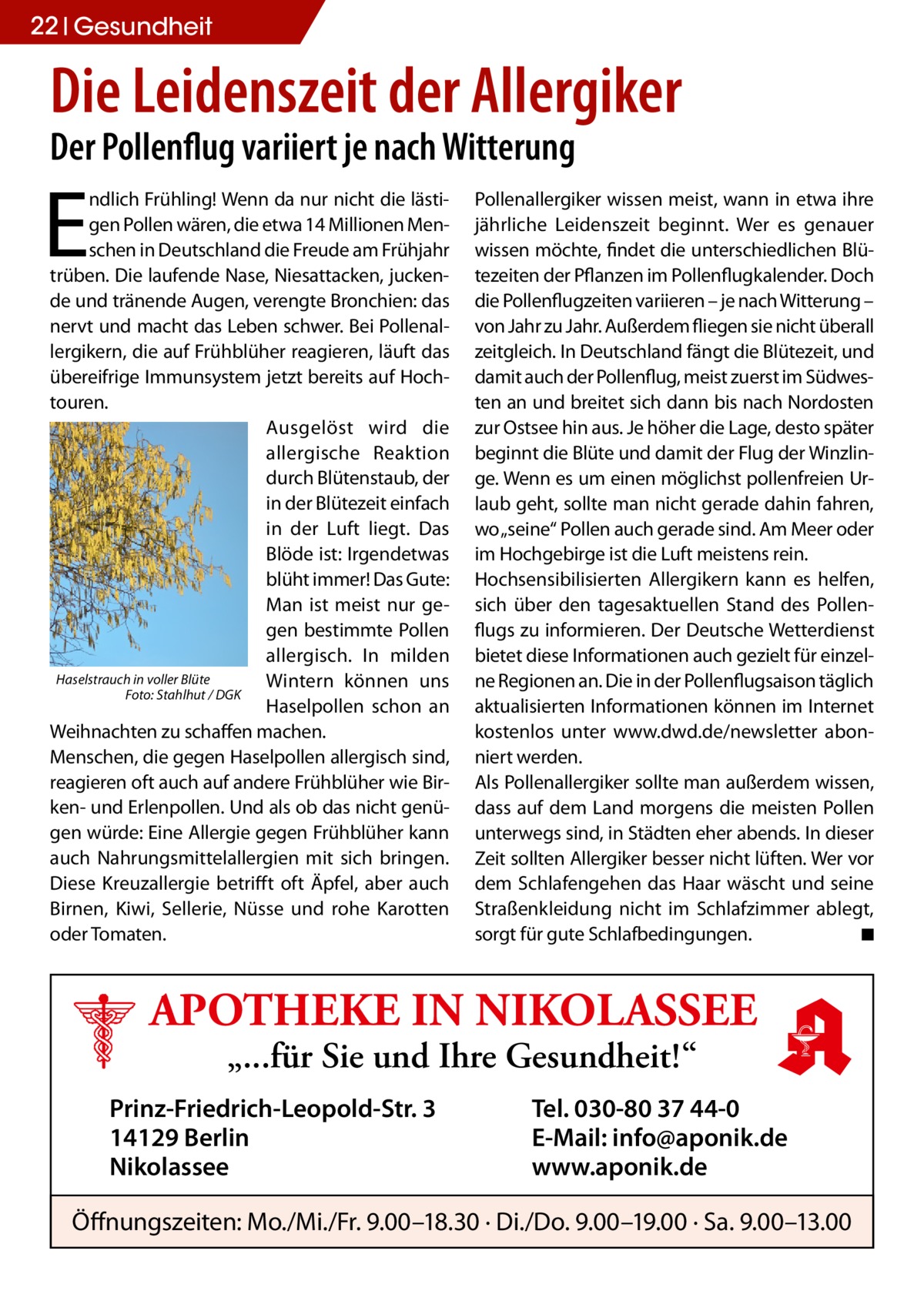 22 Gesundheit  Die Leidenszeit der Allergiker Der Pollenflug variiert je nach Witterung  E  ndlich Frühling! Wenn da nur nicht die lästigen Pollen wären, die etwa 14 Millionen Menschen in Deutschland die Freude am Frühjahr trüben. Die laufende Nase, Niesattacken, juckende und tränende Augen, verengte Bronchien: das nervt und macht das Leben schwer. Bei Pollenallergikern, die auf Frühblüher reagieren, läuft das übereifrige Immunsystem jetzt bereits auf Hochtouren. Ausgelöst wird die allergische Reaktion durch Blütenstaub, der in der Blütezeit einfach in der Luft liegt. Das Blöde ist: Irgendetwas blüht immer! Das Gute: Man ist meist nur gegen bestimmte Pollen allergisch. In milden Haselstrauch in voller Blüte Wintern können uns � Foto: Stahlhut / DGK Haselpollen schon an Weihnachten zu schaffen machen. Menschen, die gegen Haselpollen allergisch sind, reagieren oft auch auf andere Frühblüher wie Birken- und Erlenpollen. Und als ob das nicht genügen würde: Eine Allergie gegen Frühblüher kann auch Nahrungsmittelallergien mit sich bringen. Diese Kreuzallergie betrifft oft Äpfel, aber auch Birnen, Kiwi, Sellerie, Nüsse und rohe Karotten oder Tomaten.  Pollenallergiker wissen meist, wann in etwa ihre jährliche Leidenszeit beginnt. Wer es genauer wissen möchte, findet die unterschiedlichen Blütezeiten der Pflanzen im Pollenflugkalender. Doch die Pollenflugzeiten variieren – je nach Witterung – von Jahr zu Jahr. Außerdem fliegen sie nicht überall zeitgleich. In Deutschland fängt die Blütezeit, und damit auch der Pollenflug, meist zuerst im Südwesten an und breitet sich dann bis nach Nordosten zur Ostsee hin aus. Je höher die Lage, desto später beginnt die Blüte und damit der Flug der Winzlinge. Wenn es um einen möglichst pollenfreien Urlaub geht, sollte man nicht gerade dahin fahren, wo „seine“ Pollen auch gerade sind. Am Meer oder im Hochgebirge ist die Luft meistens rein. Hochsensibilisierten Allergikern kann es helfen, sich über den tagesaktuellen Stand des Pollenflugs zu informieren. Der Deutsche Wetterdienst bietet diese Informationen auch gezielt für einzelne Regionen an. Die in der Pollenflugsaison täglich aktualisierten Informationen können im Internet kostenlos unter www.dwd.de/newsletter abonniert werden. Als Pollenallergiker sollte man außerdem wissen, dass auf dem Land morgens die meisten Pollen unterwegs sind, in Städten eher abends. In dieser Zeit sollten Allergiker besser nicht lüften. Wer vor dem Schlafengehen das Haar wäscht und seine Straßenkleidung nicht im Schlafzimmer ablegt, sorgt für gute Schlafbedingungen. � ◾  APOTHEKE IN NIKOLASSEE „...für Sie und Ihre Gesundheit!“  Prinz-Friedrich-Leopold-Str. 3 14129 Berlin Nikolassee  Tel. 030-80 37 44-0 E-Mail: info@aponik.de www.aponik.de  Öffnungszeiten: Mo./Mi./Fr. 9.00–18.30 · Di./Do. 9.00–19.00 · Sa. 9.00–13.00