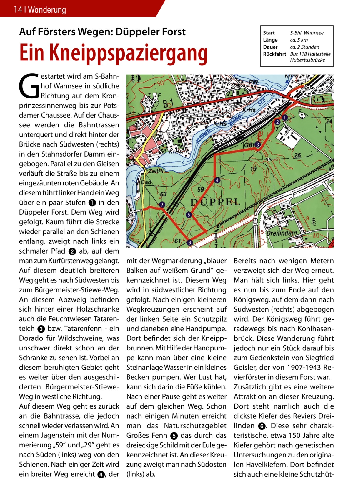 14 Wanderung  Auf Försters Wegen: Düppeler Forst  Ein Kneippspaziergang  Start	 S-Bhf. Wannsee Länge	 ca. 5 km Dauer	 ca. 2 Stunden Rückfahrt	 Bus 118 Haltestelle 	Hubertusbrücke  G  estartet wird am S-Bahnhof Wannsee in südliche Richtung auf dem Kronprinzessinnenweg bis zur Potsdamer Chaussee. Auf der Chaussee werden die Bahntrassen unterquert und direkt hinter der Brücke nach Südwesten (rechts) in den Stahnsdorfer Damm eingebogen. Parallel zu den Gleisen verläuft die Straße bis zu einem eingezäunten roten Gebäude. An diesem führt linker Hand ein Weg über ein paar Stufen ❶ in den Düppeler Forst. Dem Weg wird gefolgt. Kaum führt die Strecke wieder parallel an den Schienen entlang, zweigt nach links ein schmaler Pfad 2 ab, auf dem man zum Kurfürstenweg gelangt. Auf diesem deutlich breiteren Weg geht es nach Südwesten bis zum Bürgermeister-Stiewe-Weg. An diesem Abzweig befinden sich hinter einer Holzschranke auch die Feuchtwiesen Tatarenteich 3 bzw. Tatarenfenn - ein Dorado für Wildschweine, was unschwer direkt schon an der Schranke zu sehen ist. Vorbei an diesem beruhigten Gebiet geht es weiter über den ausgeschilderten Bürgermeister-StieweWeg in westliche Richtung. Auf diesem Weg geht es zurück an die Bahntrasse, die jedoch schnell wieder verlassen wird. An einem Jagenstein mit der Nummerierung „59“ und „29“ geht es nach Süden (links) weg von den Schienen. Nach einiger Zeit wird ein breiter Weg erreicht 4, der  mit der Wegmarkierung „blauer Balken auf weißem Grund“ gekennzeichnet ist. Diesem Weg wird in südwestlicher Richtung gefolgt. Nach einigen kleineren Wegkreuzungen erscheint auf der linken Seite ein Schutzpilz und daneben eine Handpumpe. Dort befindet sich der Kneippbrunnen. Mit Hilfe der Handpumpe kann man über eine kleine Steinanlage Wasser in ein kleines Becken pumpen. Wer Lust hat, kann sich darin die Füße kühlen. Nach einer Pause geht es weiter auf dem gleichen Weg. Schon nach einigen Minuten erreicht man das Naturschutzgebiet Großes Fenn 5 das durch das dreieckige Schild mit der Eule gekennzeichnet ist. An dieser Kreuzung zweigt man nach Südosten (links) ab.  Bereits nach wenigen Metern verzweigt sich der Weg erneut. Man hält sich links. Hier geht es nun bis zum Ende auf den Königsweg, auf dem dann nach Südwesten (rechts) abgebogen wird. Der Königsweg führt geradewegs bis nach Kohlhasenbrück. Diese Wanderung führt jedoch nur ein Stück darauf bis zum Gedenkstein von Siegfried Geisler, der von 1907-1943 Revierförster in diesem Forst war. Zusätzlich gibt es eine weitere Attraktion an dieser Kreuzung. Dort steht nämlich auch die dickste Kiefer des Reviers Dreilinden 6. Diese sehr charakteristische, etwa 150 Jahre alte Kiefer gehört nach genetischen Untersuchungen zu den originalen Havelkiefern. Dort befindet sich auch eine kleine Schutzhü