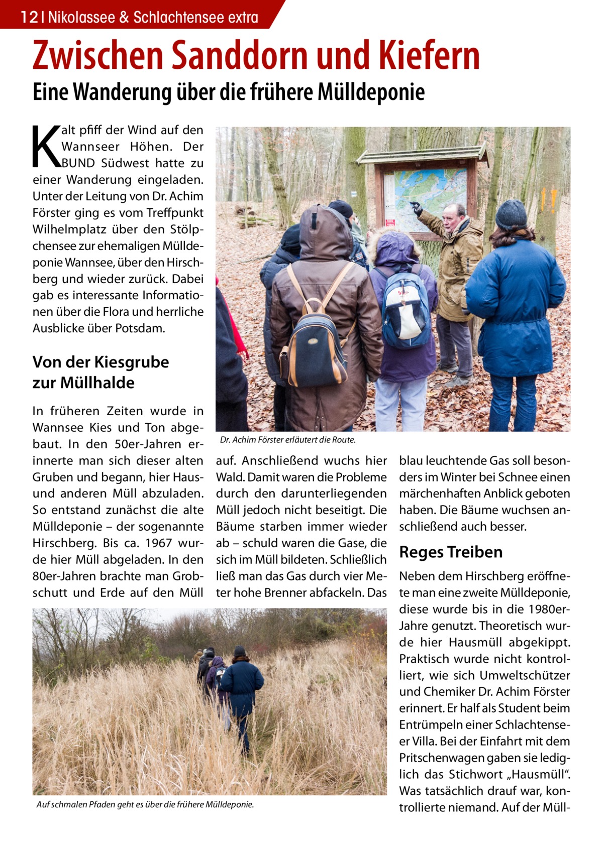 12 Nikolassee & Schlachtensee extra  Zwischen Sanddorn und Kiefern Eine Wanderung über die frühere Mülldeponie  K  alt pfiff der Wind auf den Wannseer Höhen. Der BUND Südwest hatte zu einer Wanderung eingeladen. Unter der Leitung von Dr. Achim Förster ging es vom Treffpunkt Wilhelmplatz über den Stölpchensee zur ehemaligen Mülldeponie Wannsee, über den Hirschberg und wieder zurück. Dabei gab es interessante Informationen über die Flora und herrliche Ausblicke über Potsdam.  Von der Kiesgrube zur Müllhalde In früheren Zeiten wurde in Wannsee Kies und Ton abgebaut. In den 50er-Jahren erinnerte man sich dieser alten Gruben und begann, hier Hausund anderen Müll abzuladen. So entstand zunächst die alte Mülldeponie – der sogenannte Hirschberg. Bis ca. 1967 wurde hier Müll abgeladen. In den 80er-Jahren brachte man Grobschutt und Erde auf den Müll  Dr. Achim Förster erläutert die Route.  auf. Anschließend wuchs hier Wald. Damit waren die Probleme durch den darunterliegenden Müll jedoch nicht beseitigt. Die Bäume starben immer wieder ab – schuld waren die Gase, die sich im Müll bildeten. Schließlich ließ man das Gas durch vier Meter hohe Brenner abfackeln. Das  Auf schmalen Pfaden geht es über die frühere Mülldeponie.  blau leuchtende Gas soll besonders im Winter bei Schnee einen märchenhaften Anblick geboten haben. Die Bäume wuchsen anschließend auch besser.  Reges Treiben Neben dem Hirschberg eröffnete man eine zweite Mülldeponie, diese wurde bis in die 1980erJahre genutzt. Theoretisch wurde hier Hausmüll abgekippt. Praktisch wurde nicht kontrolliert, wie sich Umweltschützer und Chemiker Dr. Achim Förster erinnert. Er half als Student beim Entrümpeln einer Schlachtenseer Villa. Bei der Einfahrt mit dem Pritschenwagen gaben sie lediglich das Stichwort „Hausmüll“. Was tatsächlich drauf war, kontrollierte niemand. Auf der Mül