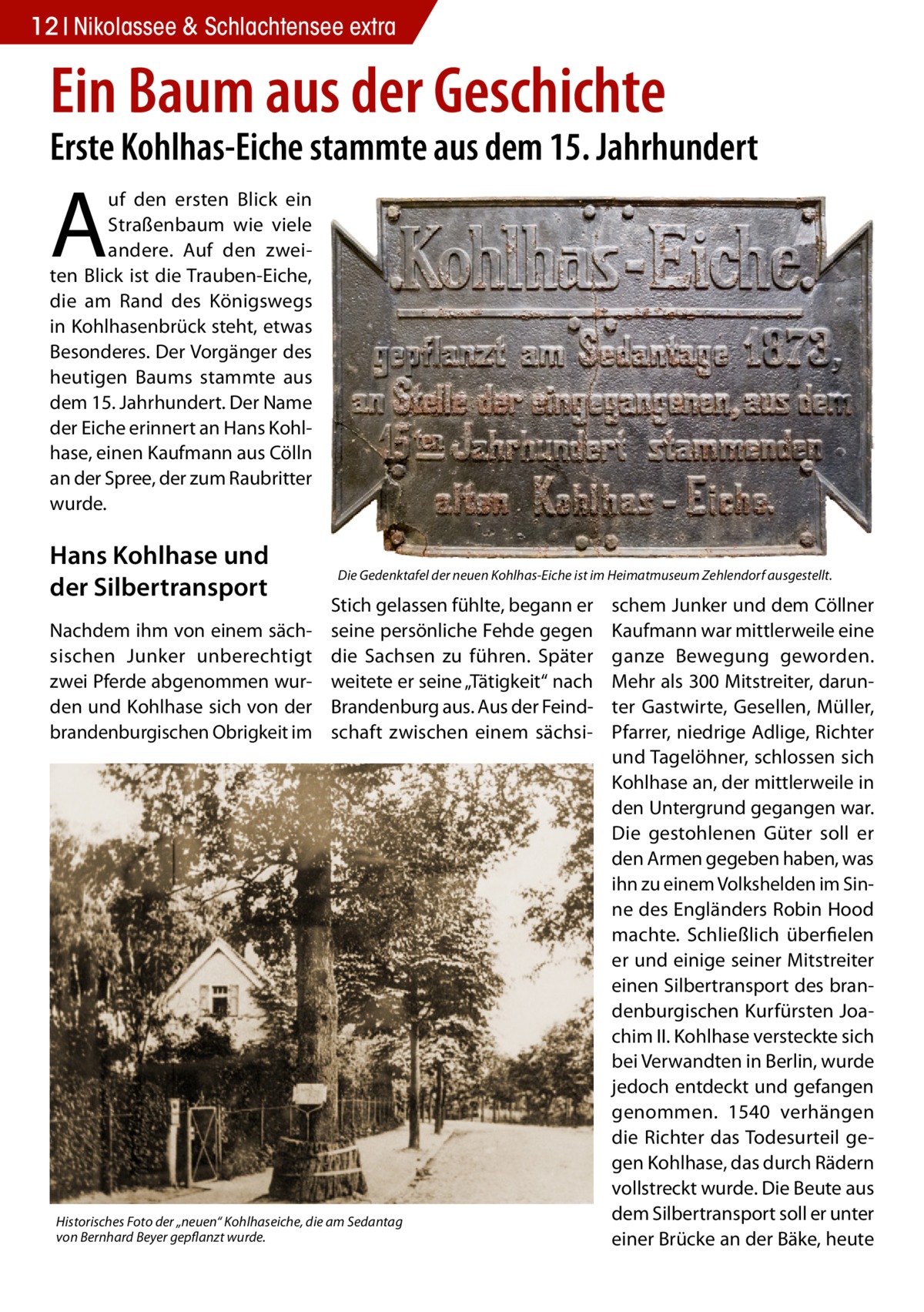 12 Nikolassee & Schlachtensee extra  Ein Baum aus der Geschichte  Erste Kohlhas-Eiche stammte aus dem 15. Jahrhundert  A  uf den ersten Blick ein Straßenbaum wie viele andere. Auf den zweiten Blick ist die Trauben-Eiche, die am Rand des Königswegs in Kohlhasenbrück steht, etwas Besonderes. Der Vorgänger des heutigen Baums stammte aus dem 15. Jahrhundert. Der Name der Eiche erinnert an Hans Kohlhase, einen Kaufmann aus Cölln an der Spree, der zum Raubritter wurde.  Hans Kohlhase und der Silbertransport Nachdem ihm von einem sächsischen Junker unberechtigt zwei Pferde abgenommen wurden und Kohlhase sich von der brandenburgischen Obrigkeit im  Die Gedenktafel der neuen Kohlhas-Eiche ist im Heimatmuseum Zehlendorf ausgestellt.  Stich gelassen fühlte, begann er seine persönliche Fehde gegen die Sachsen zu führen. Später weitete er seine „Tätigkeit“ nach Brandenburg aus. Aus der Feindschaft zwischen einem sächsi Historisches Foto der „neuen“ Kohlhaseiche, die am Sedantag von Bernhard Beyer gepflanzt wurde.  schem Junker und dem Cöllner Kaufmann war mittlerweile eine ganze Bewegung geworden. Mehr als 300 Mitstreiter, darunter Gastwirte, Gesellen, Müller, Pfarrer, niedrige Adlige, Richter und Tagelöhner, schlossen sich Kohlhase an, der mittlerweile in den Untergrund gegangen war. Die gestohlenen Güter soll er den Armen gegeben haben, was ihn zu einem Volkshelden im Sinne des Engländers Robin Hood machte. Schließlich überfielen er und einige seiner Mitstreiter einen Silbertransport des brandenburgischen Kurfürsten Joachim II. Kohlhase versteckte sich bei Verwandten in Berlin, wurde jedoch entdeckt und gefangen genommen. 1540 verhängen die Richter das Todesurteil gegen Kohlhase, das durch Rädern vollstreckt wurde. Die Beute aus dem Silbertransport soll er unter einer Brücke an der Bäke, heute