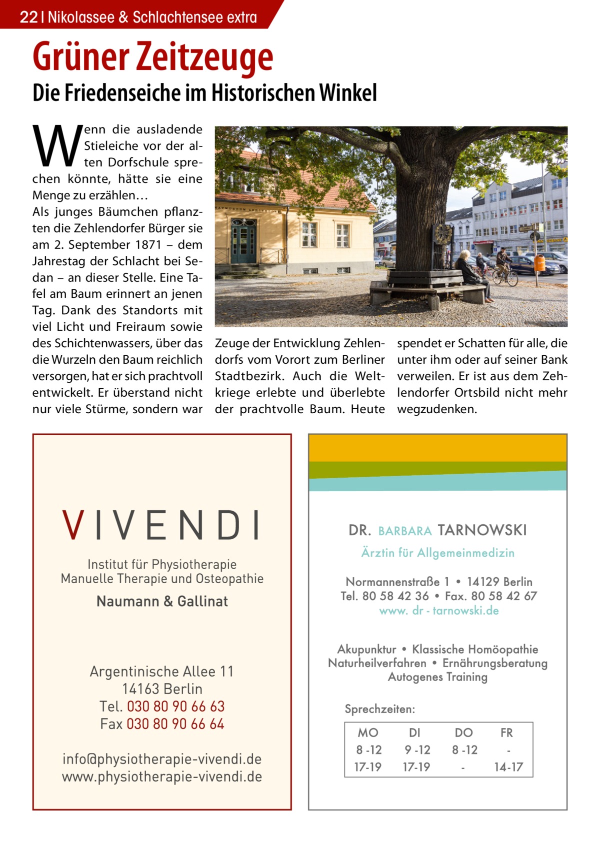 22 Nikolassee & Schlachtensee extra  Grüner Zeitzeuge  Die Friedenseiche im Historischen Winkel  W  enn die ausladende Stieleiche vor der alten Dorfschule sprechen könnte, hätte sie eine Menge zu erzählen… Als junges Bäumchen pflanzten die Zehlendorfer Bürger sie am 2.  September 1871 – dem Jahrestag der Schlacht bei Sedan – an dieser Stelle. Eine Tafel am Baum erinnert an jenen Tag. Dank des Standorts mit viel Licht und Freiraum sowie des Schichtenwassers, über das die Wurzeln den Baum reichlich versorgen, hat er sich prachtvoll entwickelt. Er überstand nicht nur viele Stürme, sondern war  Zeuge der Entwicklung Zehlendorfs vom Vorort zum Berliner Stadtbezirk. Auch die Weltkriege erlebte und überlebte der prachtvolle Baum. Heute  spendet er Schatten für alle, die unter ihm oder auf seiner Bank verweilen. Er ist aus dem Zehlendorfer Ortsbild nicht mehr wegzudenken.