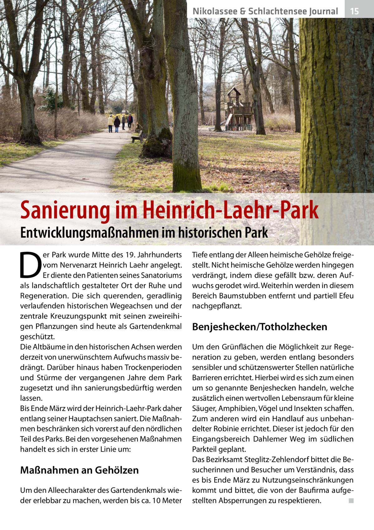 Nikolassee & Schlachtensee Journal  15  Sanierung im Heinrich-Laehr-Park Entwicklungsmaßnahmen im historischen Park  D  er Park wurde Mitte des 19. Jahrhunderts vom Nervenarzt Heinrich Laehr angelegt. Er diente den Patienten seines Sanatoriums als landschaftlich gestalteter Ort der Ruhe und Regeneration. Die sich querenden, geradlinig verlaufenden historischen Wegeachsen und der zentrale Kreuzungspunkt mit seinen zweireihigen Pflanzungen sind heute als Gartendenkmal geschützt. Die Altbäume in den historischen Achsen werden derzeit von unerwünschtem Aufwuchs massiv bedrängt. Darüber hinaus haben Trockenperioden und Stürme der vergangenen Jahre dem Park zugesetzt und ihn sanierungsbedürftig werden lassen. Bis Ende März wird der Heinrich-Laehr-Park daher entlang seiner Hauptachsen saniert. Die Maßnahmen beschränken sich vorerst auf den nördlichen Teil des Parks. Bei den vorgesehenen Maßnahmen handelt es sich in erster Linie um:  Maßnahmen an Gehölzen Um den Alleecharakter des Gartendenkmals wieder erlebbar zu machen, werden bis ca. 10 Meter  Tiefe entlang der Alleen heimische Gehölze freigestellt. Nicht heimische Gehölze werden hingegen verdrängt, indem diese gefällt bzw. deren Aufwuchs gerodet wird. Weiterhin werden in diesem Bereich Baumstubben entfernt und partiell Efeu nachgepflanzt.  Benjeshecken/Totholzhecken Um den Grünflächen die Möglichkeit zur Regeneration zu geben, werden entlang besonders sensibler und schützenswerter Stellen natürliche Barrieren errichtet. Hierbei wird es sich zum einen um so genannte Benjeshecken handeln, welche zusätzlich einen wertvollen Lebensraum für kleine Säuger, Amphibien, Vögel und Insekten schaffen. Zum anderen wird ein Handlauf aus unbehandelter Robinie errichtet. Dieser ist jedoch für den Eingangsbereich Dahlemer Weg im südlichen Parkteil geplant. Das Bezirksamt Steglitz-Zehlendorf bittet die Besucherinnen und Besucher um Verständnis, dass es bis Ende März zu Nutzungseinschränkungen kommt und bittet, die von der Baufirma aufgestellten Absperrungen zu respektieren. ◾