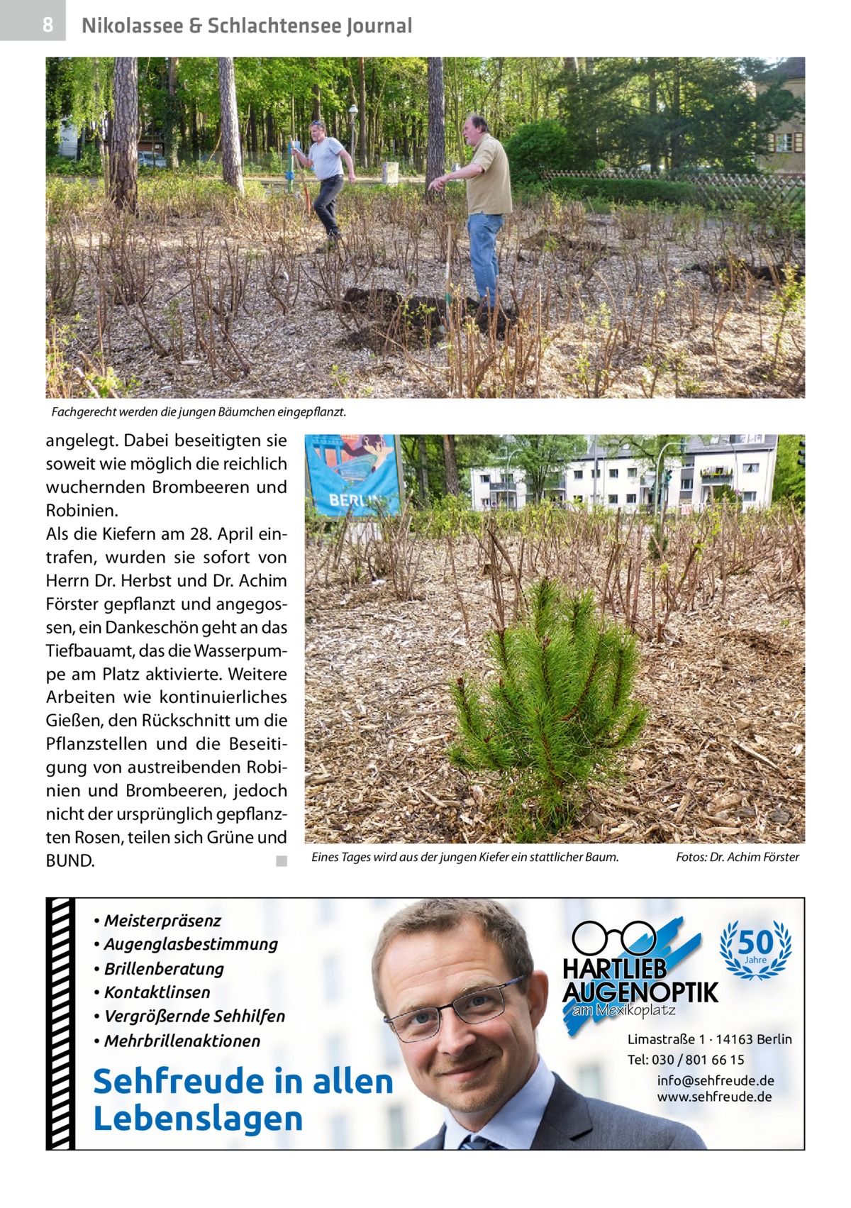 8  Nikolassee & Schlachtensee Journal  Fachgerecht werden die jungen Bäumchen eingepflanzt.  angelegt. Dabei beseitigten sie soweit wie möglich die reichlich wuchernden Brombeeren und Robinien. Als die Kiefern am 28. April eintrafen, wurden sie sofort von Herrn Dr. Herbst und Dr. Achim Förster gepflanzt und angegossen, ein Dankeschön geht an das Tiefbauamt, das die Wasserpumpe am Platz aktivierte. Weitere Arbeiten wie kontinuierliches Gießen, den Rückschnitt um die Pflanzstellen und die Beseitigung von austreibenden Robinien und Brombeeren, jedoch nicht der ursprünglich gepflanzten Rosen, teilen sich Grüne und BUND. ◾  Eines Tages wird aus der jungen Kiefer ein stattlicher Baum.  • Meisterpräsenz • Augenglasbestimmung • Brillenberatung • Kontaktlinsen • Vergrößernde Sehhilfen • Mehrbrillenaktionen  Sehfreude in allen Lebenslagen  Fotos: Dr. Achim Förster  50 Jahre  am Mexikoplatz Limastraße 1 · 14163 Berlin Tel: 030 / 801 66 15 info@sehfreude.de www.sehfreude.de