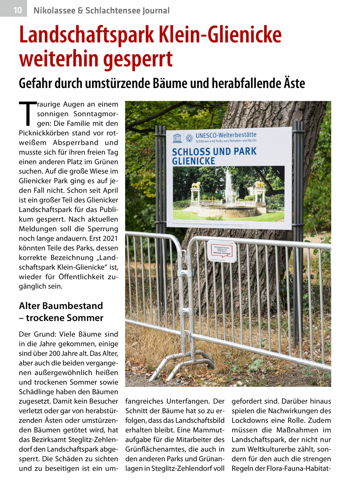 10  Nikolassee & Schlachtensee Journal  Landschaftspark Klein-Glienicke weiterhin gesperrt Gefahr durch umstürzende Bäume und herabfallende Äste  T  raurige Augen an einem sonnigen Sonntagmorgen: Die Familie mit den Picknickkörben stand vor rotweißem Absperrband und musste sich für ihren freien Tag einen anderen Platz im Grünen suchen. Auf die große Wiese im Glienicker Park ging es auf jeden Fall nicht. Schon seit April ist ein großer Teil des Glienicker Landschaftspark für das Publikum gesperrt. Nach aktuellen Meldungen soll die Sperrung noch lange andauern. Erst 2021 könnten Teile des Parks, dessen korrekte Bezeichnung „Landschaftspark Klein-Glienicke“ ist, wieder für Öffentlichkeit zugänglich sein.  Alter Baumbestand – trockene Sommer Der Grund: Viele Bäume sind in die Jahre gekommen, einige sind über 200 Jahre alt. Das Alter, aber auch die beiden vergangenen außergewöhnlich heißen und trockenen Sommer sowie Schädlinge haben den Bäumen zugesetzt. Damit kein Besucher verletzt oder gar von herabstürzenden Ästen oder umstürzenden Bäumen getötet wird, hat das Bezirksamt Steglitz-Zehlendorf den Landschaftspark abgesperrt. Die Schäden zu sichten und zu beseitigen ist ein um fangreiches Unterfangen. Der Schnitt der Bäume hat so zu erfolgen, dass das Landschaftsbild erhalten bleibt. Eine Mammutaufgabe für die Mitarbeiter des Grünflächenamtes, die auch in den anderen Parks und Grünanlagen in Steglitz-Zehlendorf voll  gefordert sind. Darüber hinaus spielen die Nachwirkungen des Lockdowns eine Rolle. Zudem müssen die Maßnahmen im Landschaftspark, der nicht nur zum Weltkulturerbe zählt, sondern für den auch die strengen Regeln der Flora-Fauna-Habita