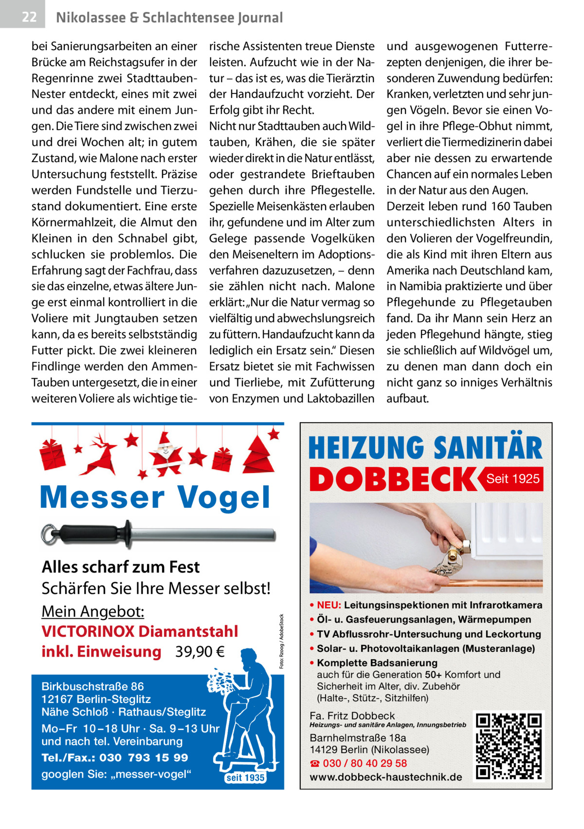 22  Nikolassee & Schlachtensee Journal  bei Sanierungsarbeiten an einer Brücke am Reichstagsufer in der Regenrinne zwei StadttaubenNester entdeckt, eines mit zwei und das andere mit einem Jungen. Die Tiere sind zwischen zwei und drei Wochen alt; in gutem Zustand, wie Malone nach erster Untersuchung feststellt. Präzise werden Fundstelle und Tierzustand dokumentiert. Eine erste Körnermahlzeit, die Almut den Kleinen in den Schnabel gibt, schlucken sie problemlos. Die Erfahrung sagt der Fachfrau, dass sie das einzelne, etwas ältere Junge erst einmal kontrolliert in die Voliere mit Jungtauben setzen kann, da es bereits selbstständig Futter pickt. Die zwei kleineren Findlinge werden den AmmenTauben untergesetzt, die in einer weiteren Voliere als wichtige tie rische Assistenten treue Dienste leisten. Aufzucht wie in der Natur – das ist es, was die Tierärztin der Handaufzucht vorzieht. Der Erfolg gibt ihr Recht. Nicht nur Stadttauben auch Wildtauben, Krähen, die sie später wieder direkt in die Natur entlässt, oder gestrandete Brieftauben gehen durch ihre Pflegestelle. Spezielle Meisenkästen erlauben ihr, gefundene und im Alter zum Gelege passende Vogelküken den Meiseneltern im Adoptionsverfahren dazuzusetzen, – denn sie zählen nicht nach. Malone erklärt: „Nur die Natur vermag so vielfältig und abwechslungsreich zu füttern. Handaufzucht kann da lediglich ein Ersatz sein.“ Diesen Ersatz bietet sie mit Fachwissen und Tierliebe, mit Zufütterung von Enzymen und Laktobazillen  und ausgewogenen Futterrezepten denjenigen, die ihrer besonderen Zuwendung bedürfen: Kranken, verletzten und sehr jungen Vögeln. Bevor sie einen Vogel in ihre Pflege-Obhut nimmt, verliert die Tiermedizinerin dabei aber nie dessen zu erwartende Chancen auf ein normales Leben in der Natur aus den Augen. Derzeit leben rund 160 Tauben unterschiedlichsten Alters in den Volieren der Vogelfreundin, die als Kind mit ihren Eltern aus Amerika nach Deutschland kam, in Namibia praktizierte und über Pflegehunde zu Pflegetauben fand. Da ihr Mann sein Herz an jeden Pflegehund hängte, stieg sie schließlich auf Wildvögel um, zu denen man dann doch ein nicht ganz so inniges Verhältnis aufbaut.  HEIZUNG SANITÄR  Messer Vogel  DOBBECK  Seit 1925  Alles scharf zum Fest Schärfen Sie Ihre Messer selbst! Mein Angebot: VICTORINOX Diamantstahl inkl. Einweisung 39,90 € Birkbuschstraße 86 12167 Berlin-Steglitz Nähe Schloß · Rathaus/Steglitz Mo – Fr 10 – 18 Uhr · Sa. 9 – 13 Uhr und nach tel. Vereinbarung Tel./Fax.: 030 793 15 99 googlen Sie: „messer-vogel“ seit 1935  • NEU: Leitungsinspektionen mit Infrarotkamera • Öl- u. Gasfeuerungsanlagen, Wärmepumpen • TV Abflussrohr-Untersuchung und Leckortung • Solar- u. Photovoltaikanlagen (Musteranlage) • Komplette Badsanierung auch für die Generation 50+ Komfort und Sicherheit im Alter, div. Zubehör (Halte-, Stütz-, Sitzhilfen)  Fa. Fritz Dobbeck  Heizungs- und sanitäre Anlagen, Innungsbetrieb  Barnhelmstraße 18a 14129 Berlin (Nikolassee) ☎ 030 / 80 40 29 58 www.dobbeck-haustechnik.de