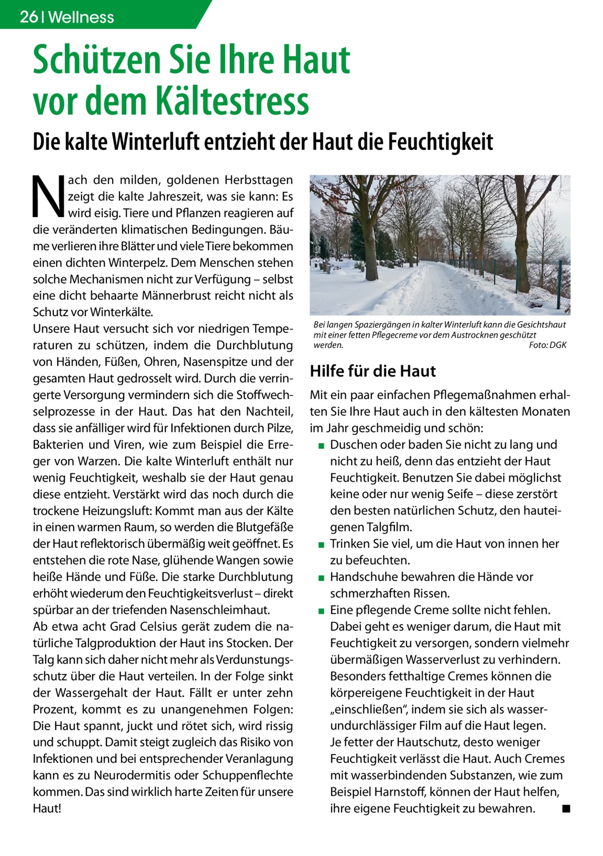 26 Wellness  Schützen Sie Ihre Haut vor dem Kältestress  Die kalte Winterluft entzieht der Haut die Feuchtigkeit  N  ach den milden, goldenen Herbsttagen zeigt die kalte Jahreszeit, was sie kann: Es wird eisig. Tiere und Pflanzen reagieren auf die veränderten klimatischen Bedingungen. Bäume verlieren ihre Blätter und viele Tiere bekommen einen dichten Winterpelz. Dem Menschen stehen solche Mechanismen nicht zur Verfügung – selbst eine dicht behaarte Männerbrust reicht nicht als Schutz vor Winterkälte. Unsere Haut versucht sich vor niedrigen Temperaturen zu schützen, indem die Durchblutung von Händen, Füßen, Ohren, Nasenspitze und der gesamten Haut gedrosselt wird. Durch die verringerte Versorgung vermindern sich die Stoffwechselprozesse in der Haut. Das hat den Nachteil, dass sie anfälliger wird für Infektionen durch Pilze, Bakterien und Viren, wie zum Beispiel die Erreger von Warzen. Die kalte Winterluft enthält nur wenig Feuchtigkeit, weshalb sie der Haut genau diese entzieht. Verstärkt wird das noch durch die trockene Heizungsluft: Kommt man aus der Kälte in einen warmen Raum, so werden die Blutgefäße der Haut reflektorisch übermäßig weit geöffnet. Es entstehen die rote Nase, glühende Wangen sowie heiße Hände und Füße. Die starke Durchblutung erhöht wiederum den Feuchtigkeitsverlust – direkt spürbar an der triefenden Nasenschleimhaut. Ab etwa acht Grad Celsius gerät zudem die natürliche Talgproduktion der Haut ins Stocken. Der Talg kann sich daher nicht mehr als Verdunstungsschutz über die Haut verteilen. In der Folge sinkt der Wassergehalt der Haut. Fällt er unter zehn Prozent, kommt es zu unangenehmen Folgen: Die Haut spannt, juckt und rötet sich, wird rissig und schuppt. Damit steigt zugleich das Risiko von Infektionen und bei entsprechender Veranlagung kann es zu Neurodermitis oder Schuppenflechte kommen. Das sind wirklich harte Zeiten für unsere Haut!  Bei langen Spaziergängen in kalter Winterluft kann die Gesichtshaut mit einer fetten Pflegecreme vor dem Austrocknen geschützt werden.� Foto: DGK  Hilfe für die Haut Mit ein paar einfachen Pflegemaßnahmen erhalten Sie Ihre Haut auch in den kältesten Monaten im Jahr geschmeidig und schön: ▪▪ Duschen oder baden Sie nicht zu lang und nicht zu heiß, denn das entzieht der Haut Feuchtigkeit. Benutzen Sie dabei möglichst keine oder nur wenig Seife – diese zerstört den besten natürlichen Schutz, den hauteigenen Talgfilm. ▪▪ Trinken Sie viel, um die Haut von innen her zu befeuchten. ▪▪ Handschuhe bewahren die Hände vor schmerzhaften Rissen. ▪▪ Eine pflegende Creme sollte nicht fehlen. Dabei geht es weniger darum, die Haut mit Feuchtigkeit zu versorgen, sondern vielmehr übermäßigen Wasserverlust zu verhindern. Besonders fetthaltige Cremes können die körpereigene Feuchtigkeit in der Haut „einschließen“, indem sie sich als wasserundurchlässiger Film auf die Haut legen. Je fetter der Hautschutz, desto weniger Feuchtigkeit verlässt die Haut. Auch Cremes mit wasserbindenden Substanzen, wie zum Beispiel Harnstoff, können der Haut helfen, ihre eigene Feuchtigkeit zu bewahren. � ◾