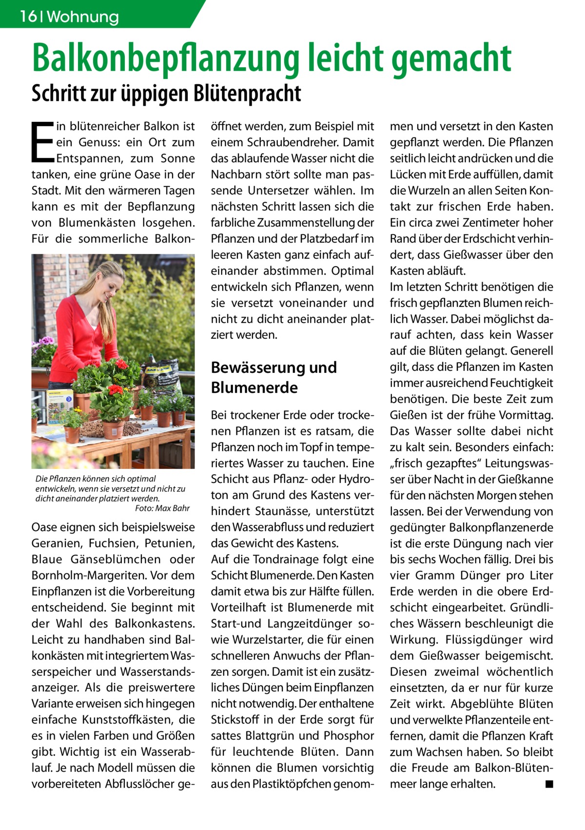16 Wohnung  Balkonbepflanzung leicht gemacht Schritt zur üppigen Blütenpracht  E  in blütenreicher Balkon ist ein Genuss: ein Ort zum Entspannen, zum Sonne tanken, eine grüne Oase in der Stadt. Mit den wärmeren Tagen kann es mit der Bepflanzung von Blumenkästen losgehen. Für die sommerliche Balkon öffnet werden, zum Beispiel mit einem Schraubendreher. Damit das ablaufende Wasser nicht die Nachbarn stört sollte man passende Untersetzer wählen. Im nächsten Schritt lassen sich die farbliche Zusammenstellung der Pflanzen und der Platzbedarf im leeren Kasten ganz einfach aufeinander abstimmen. Optimal entwickeln sich Pflanzen, wenn sie versetzt voneinander und nicht zu dicht aneinander platziert werden.  Bewässerung und Blumenerde  Die Pflanzen können sich optimal entwickeln, wenn sie versetzt und nicht zu dicht aneinander platziert werden. � Foto: Max Bahr  Oase eignen sich beispielsweise Geranien, Fuchsien, Petunien, Blaue Gänseblümchen oder Bornholm-Margeriten. Vor dem Einpflanzen ist die Vorbereitung entscheidend. Sie beginnt mit der Wahl des Balkonkastens. Leicht zu handhaben sind Balkonkästen mit integriertem Wasserspeicher und Wasserstandsanzeiger. Als die preiswertere Variante erweisen sich hingegen einfache Kunststoffkästen, die es in vielen Farben und Größen gibt. Wichtig ist ein Wasserablauf. Je nach Modell müssen die vorbereiteten Abflusslöcher ge Bei trockener Erde oder trockenen Pflanzen ist es ratsam, die Pflanzen noch im Topf in temperiertes Wasser zu tauchen. Eine Schicht aus Pflanz- oder Hydroton am Grund des Kastens verhindert Staunässe, unterstützt den Wasserabfluss und reduziert das Gewicht des Kastens. Auf die Tondrainage folgt eine Schicht Blumenerde. Den Kasten damit etwa bis zur Hälfte füllen. Vorteilhaft ist Blumenerde mit Start-und Langzeitdünger sowie Wurzelstarter, die für einen schnelleren Anwuchs der Pflanzen sorgen. Damit ist ein zusätzliches Düngen beim Einpflanzen nicht notwendig. Der enthaltene Stickstoff in der Erde sorgt für sattes Blattgrün und Phosphor für leuchtende Blüten. Dann können die Blumen vorsichtig aus den Plastiktöpfchen genom men und versetzt in den Kasten gepflanzt werden. Die Pflanzen seitlich leicht andrücken und die Lücken mit Erde auffüllen, damit die Wurzeln an allen Seiten Kontakt zur frischen Erde haben. Ein circa zwei Zentimeter hoher Rand über der Erdschicht verhindert, dass Gießwasser über den Kasten abläuft. Im letzten Schritt benötigen die frisch gepflanzten Blumen reichlich Wasser. Dabei möglichst darauf achten, dass kein Wasser auf die Blüten gelangt. Generell gilt, dass die Pflanzen im Kasten immer ausreichend Feuchtigkeit benötigen. Die beste Zeit zum Gießen ist der frühe Vormittag. Das Wasser sollte dabei nicht zu kalt sein. Besonders einfach: „frisch gezapftes“ Leitungswasser über Nacht in der Gießkanne für den nächsten Morgen stehen lassen. Bei der Verwendung von gedüngter Balkonpflanzenerde ist die erste Düngung nach vier bis sechs Wochen fällig. Drei bis vier Gramm Dünger pro Liter Erde werden in die obere Erdschicht eingearbeitet. Gründliches Wässern beschleunigt die Wirkung. Flüssigdünger wird dem Gießwasser beigemischt. Diesen zweimal wöchentlich einsetzten, da er nur für kurze Zeit wirkt. Abgeblühte Blüten und verwelkte Pflanzenteile entfernen, damit die Pflanzen Kraft zum Wachsen haben. So bleibt die Freude am Balkon-Blütenmeer lange erhalten. � ◾