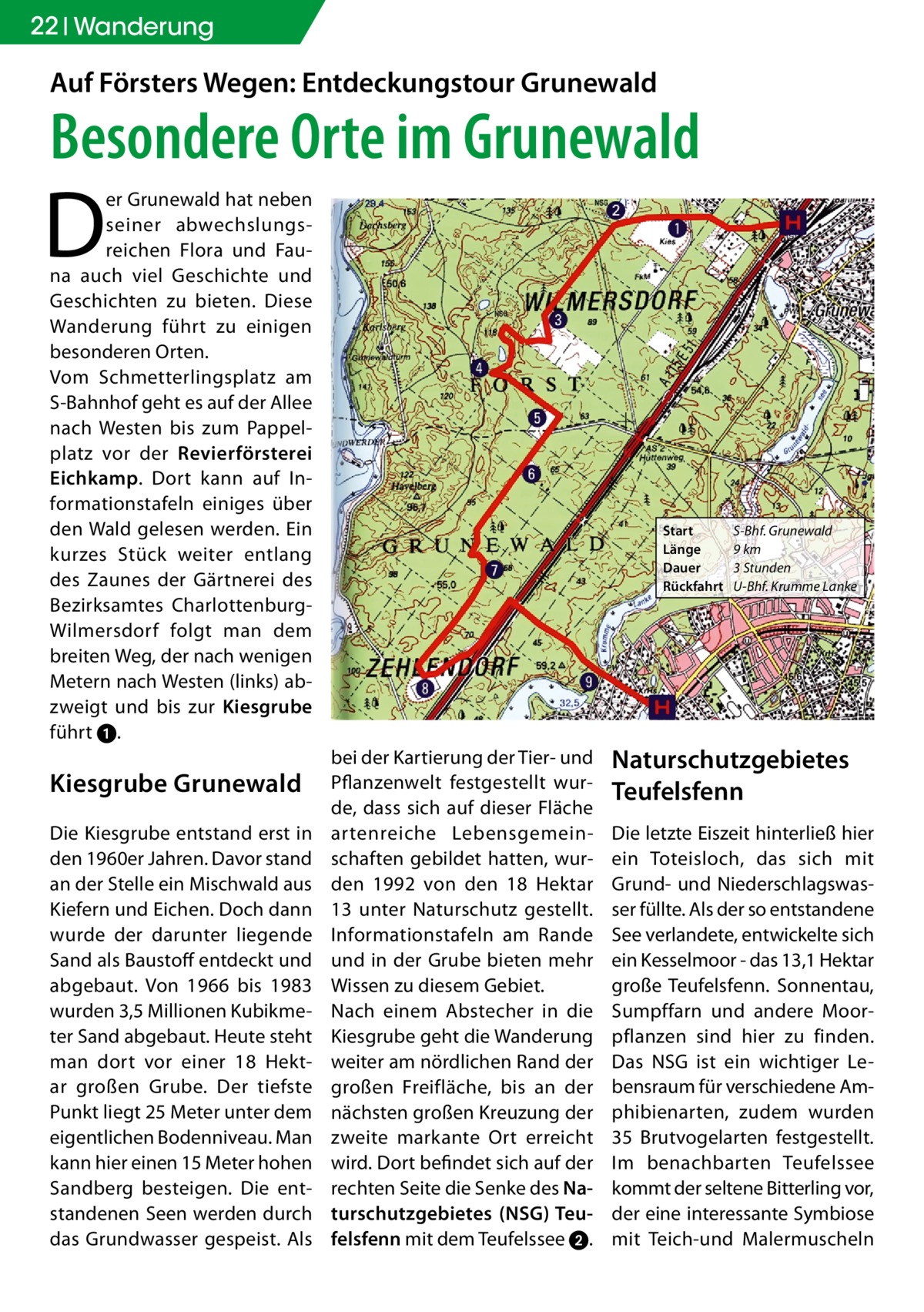 22 Wanderung  Auf Försters Wegen: Entdeckungstour Grunewald  Besondere Orte im Grunewald  D  er Grunewald hat neben seiner abwechslungsreichen Flora und Fauna auch viel Geschichte und Geschichten zu bieten. Diese Wanderung führt zu einigen besonderen Orten. Vom Schmetterlingsplatz am S-Bahnhof geht es auf der Allee nach Westen bis zum Pappelplatz vor der Revierförsterei Eichkamp. Dort kann auf Informationstafeln einiges über den Wald gelesen werden. Ein kurzes Stück weiter entlang des Zaunes der Gärtnerei des Bezirksamtes CharlottenburgWilmersdorf folgt man dem breiten Weg, der nach wenigen Metern nach Westen (links) abzweigt und bis zur Kiesgrube führt ➊.  Kiesgrube Grunewald Die Kiesgrube entstand erst in den 1960er Jahren. Davor stand an der Stelle ein Mischwald aus Kiefern und Eichen. Doch dann wurde der darunter liegende Sand als Baustoff entdeckt und abgebaut. Von 1966 bis 1983 wurden 3,5 Millionen Kubikmeter Sand abgebaut. Heute steht man dort vor einer 18 Hektar großen Grube. Der tiefste Punkt liegt 25 Meter unter dem eigentlichen Bodenniveau. Man kann hier einen 15 Meter hohen Sandberg besteigen. Die entstandenen Seen werden durch das Grundwasser gespeist. Als  Start Länge Dauer Rückfahrt  bei der Kartierung der Tier- und Pflanzenwelt festgestellt wurde, dass sich auf dieser Fläche artenreiche Lebensgemeinschaften gebildet hatten, wurden 1992 von den 18 Hektar 13 unter Naturschutz gestellt. Informationstafeln am Rande und in der Grube bieten mehr Wissen zu diesem Gebiet. Nach einem Abstecher in die Kiesgrube geht die Wanderung weiter am nördlichen Rand der großen Freifläche, bis an der nächsten großen Kreuzung der zweite markante Ort erreicht wird. Dort befindet sich auf der rechten Seite die Senke des Naturschutzgebietes (NSG) Teufelsfenn mit dem Teufelssee ➋.  S-Bhf. Grunewald 9 km 3 Stunden U-Bhf. Krumme Lanke  Naturschutzgebietes Teufelsfenn Die letzte Eiszeit hinterließ hier ein Toteisloch, das sich mit Grund- und Niederschlagswasser füllte. Als der so entstandene See verlandete, entwickelte sich ein Kesselmoor - das 13,1 Hektar große Teufelsfenn. Sonnentau, Sumpffarn und andere Moorpflanzen sind hier zu finden. Das NSG ist ein wichtiger Lebensraum für verschiedene Amphibienarten, zudem wurden 35 Brutvogelarten festgestellt. Im benachbarten Teufelssee kommt der seltene Bitterling vor, der eine interessante Symbiose mit Teich-und Malermuscheln