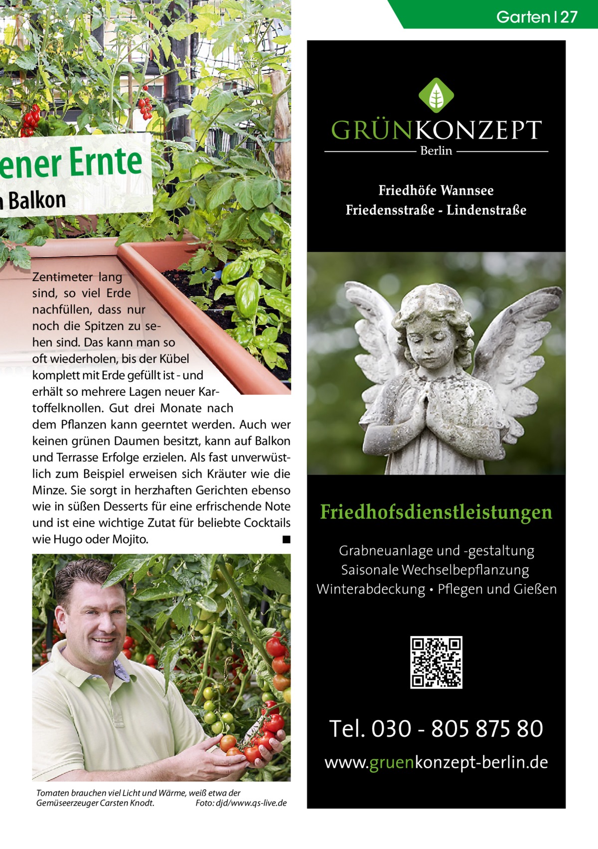 Garten 27  ener Ernte  n Balkon  Zentimeter lang sind, so viel Erde nachfüllen, dass nur noch die Spitzen zu sehen sind. Das kann man so oft wiederholen, bis der Kübel komplett mit Erde gefüllt ist - und erhält so mehrere Lagen neuer Kartoffelknollen. Gut drei Monate nach dem Pflanzen kann geerntet werden. Auch wer keinen grünen Daumen besitzt, kann auf Balkon und Terrasse Erfolge erzielen. Als fast unverwüstlich zum Beispiel erweisen sich Kräuter wie die Minze. Sie sorgt in herzhaften Gerichten ebenso wie in süßen Desserts für eine erfrischende Note und ist eine wichtige Zutat für beliebte Cocktails wie Hugo oder Mojito. ◾  Tomaten brauchen viel Licht und Wärme, weiß etwa der Gemüseerzeuger Carsten Knodt. Foto: djd/www.qs-live.de