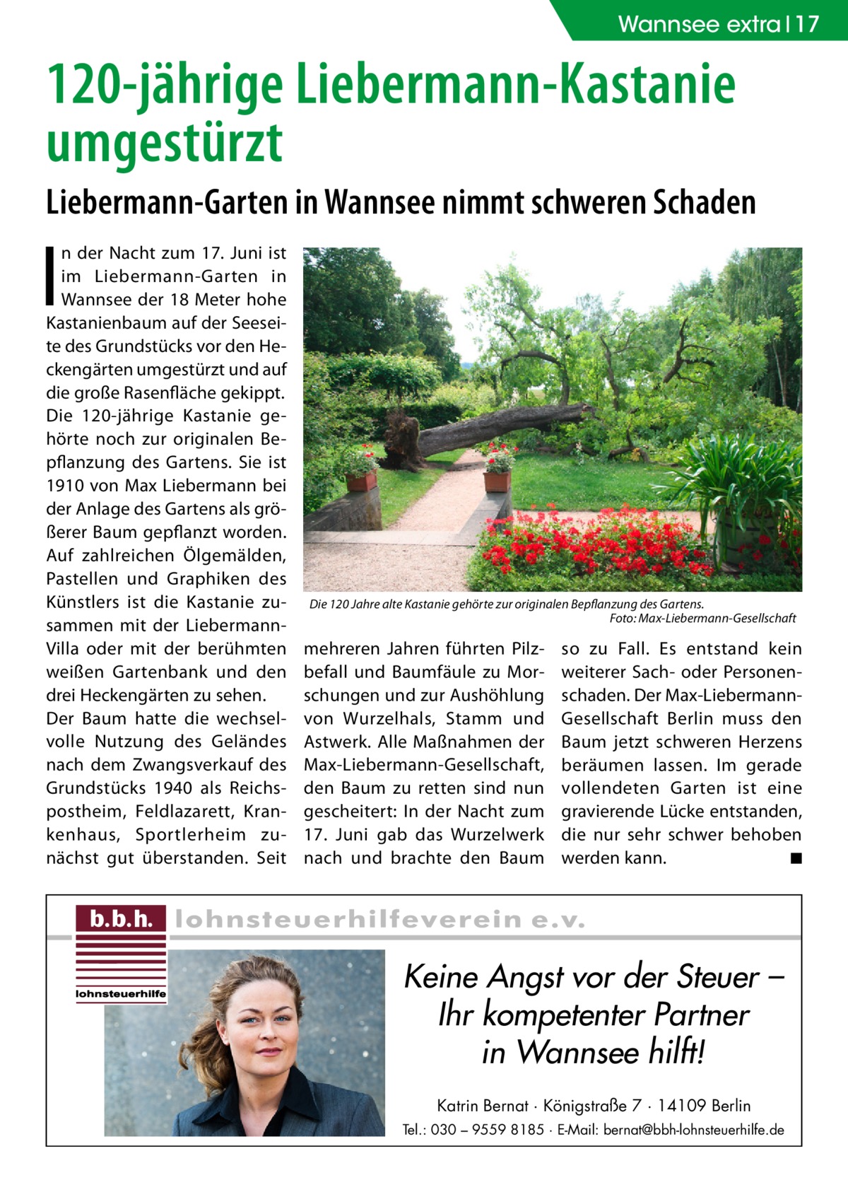 Wannsee extra 17  120-jährige Liebermann-Kastanie umgestürzt Liebermann-Garten in Wannsee nimmt schweren Schaden  I  n der Nacht zum 17. Juni ist im Liebermann-Garten in Wannsee der 18 Meter hohe Kastanienbaum auf der Seeseite des Grundstücks vor den Heckengärten umgestürzt und auf die große Rasenfläche gekippt. Die 120-jährige Kastanie gehörte noch zur originalen Bepflanzung des Gartens. Sie ist 1910 von Max Liebermann bei der Anlage des Gartens als größerer Baum gepflanzt worden. Auf zahlreichen Ölgemälden, Pastellen und Graphiken des Künstlers ist die Kastanie zusammen mit der LiebermannVilla oder mit der berühmten weißen Gartenbank und den drei Heckengärten zu sehen. Der Baum hatte die wechselvolle Nutzung des Geländes nach dem Zwangsverkauf des Grundstücks 1940 als Reichspostheim, Feldlazarett, Krankenhaus, Sportlerheim zunächst gut überstanden. Seit  Die 120 Jahre alte Kastanie gehörte zur originalen Bepflanzung des Gartens. � Foto: Max-Liebermann-Gesellschaft  mehreren Jahren führten Pilzbefall und Baumfäule zu Morschungen und zur Aushöhlung von Wurzelhals, Stamm und Astwerk. Alle Maßnahmen der Max-Liebermann-Gesellschaft, den Baum zu retten sind nun gescheitert: In der Nacht zum 17.  Juni gab das Wurzelwerk nach und brachte den Baum  so zu Fall. Es entstand kein weiterer Sach- oder Personenschaden. Der Max-LiebermannGesellschaft Berlin muss den Baum jetzt schweren Herzens beräumen lassen. Im gerade vollendeten Garten ist eine gravierende Lücke entstanden, die nur sehr schwer behoben werden kann. � ◾  Keine Angst vor der Steuer – Ihr kompetenter Partner in Wannsee hilft! Katrin Bernat · Königstraße 7 · 14109 Berlin Tel.: 030 – 9559 8185 · E-Mail: bernat@bbh-lohnsteuerhilfe.de