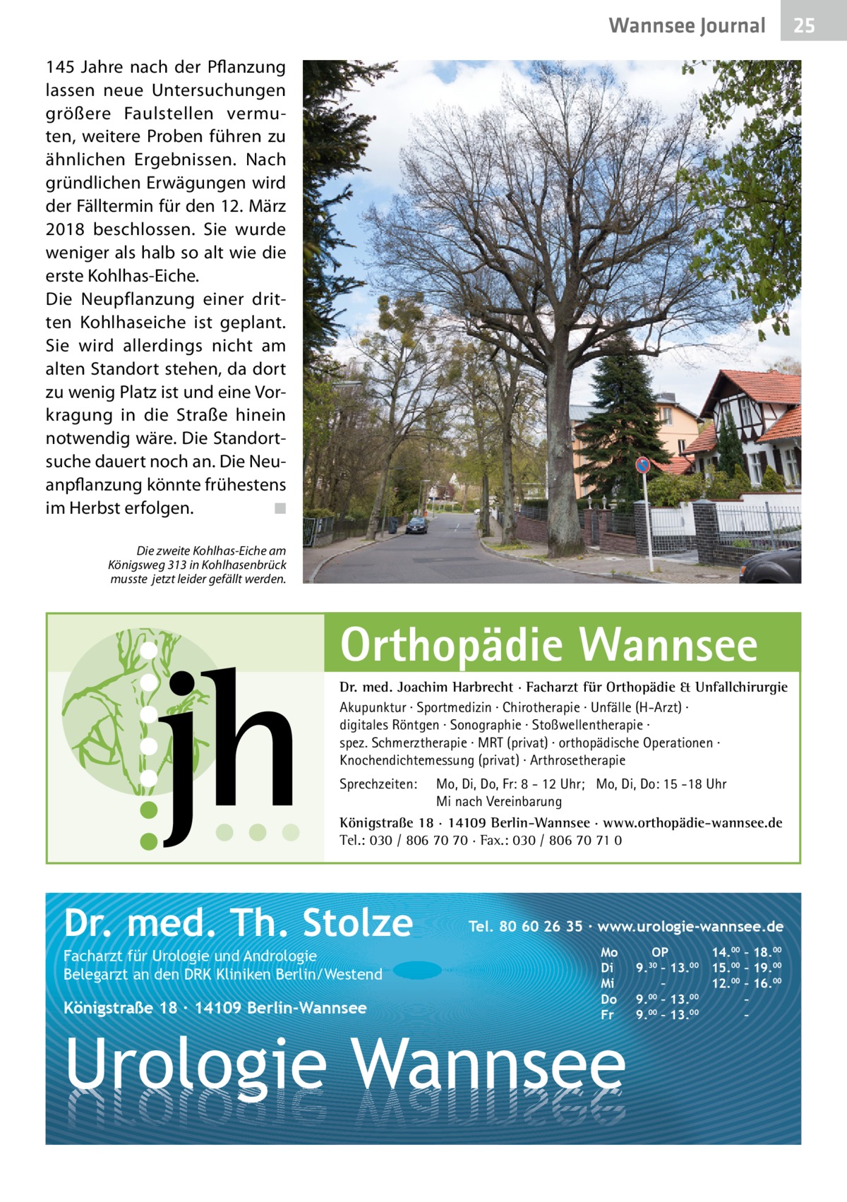 Wannsee Journal 145  Jahre nach der Pflanzung lassen neue Untersuchungen größere Faulstellen vermuten, weitere Proben führen zu ähnlichen Ergebnissen. Nach gründlichen Erwägungen wird der Fälltermin für den 12. März 2018 beschlossen. Sie wurde weniger als halb so alt wie die erste Kohlhas-Eiche. Die Neupflanzung einer dritten Kohlhaseiche ist geplant. Sie wird allerdings nicht am alten Standort stehen, da dort zu wenig Platz ist und eine Vorkragung in die Straße hinein notwendig wäre. Die Standortsuche dauert noch an. Die Neuanpflanzung könnte frühestens im Herbst erfolgen. � ◾ Die zweite Kohlhas-Eiche am Königsweg 313 in Kohlhasenbrück musste jetzt leider gefällt werden.  Orthopädie Wannsee Dr. med. Joachim Harbrecht · Facharzt für Orthopädie & Unfallchirurgie Akupunktur · Sportmedizin · Chirotherapie · Unfälle (H-Arzt) · digitales Röntgen · Sonographie · Stoßwellentherapie · spez. Schmerztherapie · MRT (privat) · orthopädische Operationen · Knochendichtemessung (privat) · Arthrosetherapie Sprechzeiten:  Mo, Di, Do, Fr: 8 - 12 Uhr; Mo, Di, Do: 15 -18 Uhr Mi nach Vereinbarung Königstraße 18 · 14109 Berlin-Wannsee · www.orthopädie-wannsee.de Tel.: 030 / 806 70 70 · Fax.: 030 / 806 70 71 0  Dr. med. Th. Stolze Facharzt für Urologie und Andrologie Belegarzt an den DRK Kliniken Berlin/Westend  Königstraße 18 ∙ 14109 Berlin-Wannsee  Tel. 80 60 26 35 ∙ www.urologie-wannsee.de Mo Di Mi Do Fr  Urologie Wannsee  OP 14.00 – 18.00 9.30 – 13.00 15.00 – 19.00 – 12.00 – 16.00 9.00 – 13.00 – 9.00 – 13.00 – –  25