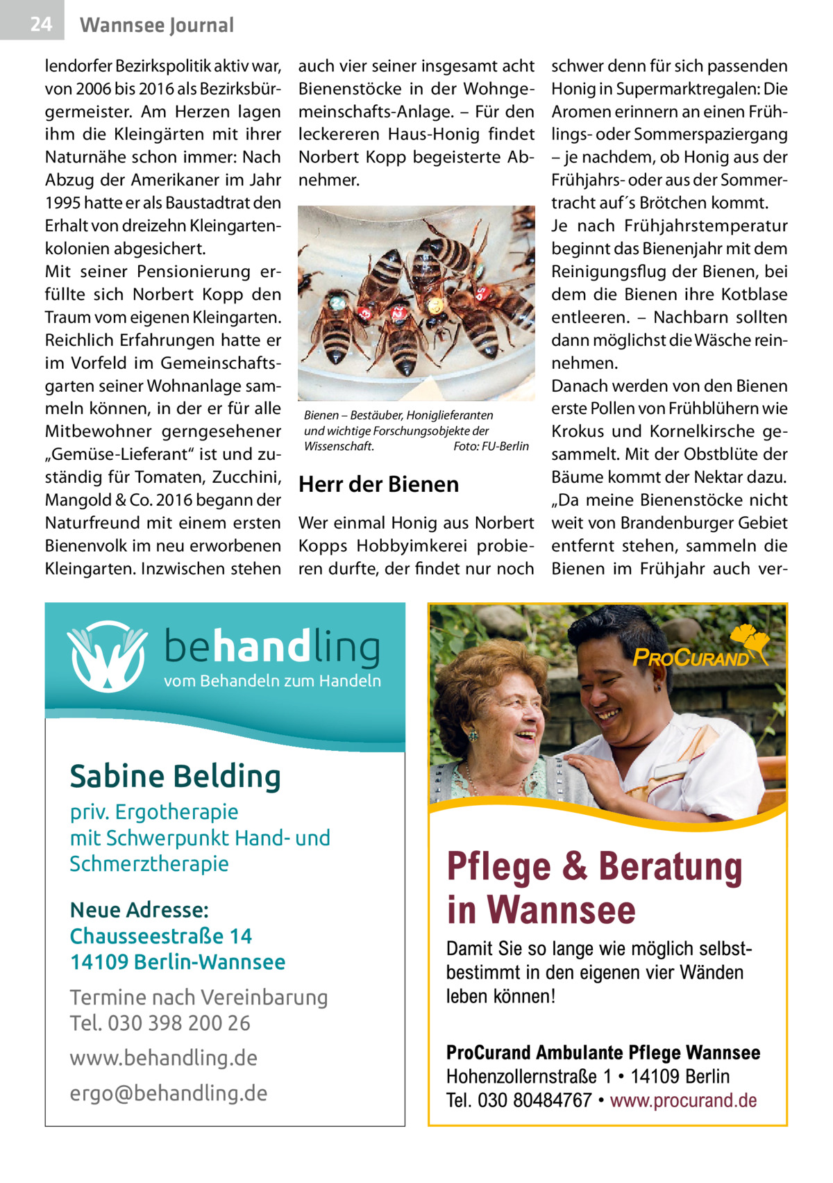 24  Wannsee Journal  lendorfer Bezirkspolitik aktiv war, von 2006 bis 2016 als Bezirksbürgermeister. Am Herzen lagen ihm die Kleingärten mit ihrer Naturnähe schon immer: Nach Abzug der Amerikaner im Jahr 1995 hatte er als Baustadtrat den Erhalt von dreizehn Kleingartenkolonien abgesichert. Mit seiner Pensionierung erfüllte sich Norbert Kopp den Traum vom eigenen Kleingarten. Reichlich Erfahrungen hatte er im Vorfeld im Gemeinschaftsgarten seiner Wohnanlage sammeln können, in der er für alle Mitbewohner gerngesehener „Gemüse-Lieferant“ ist und zuständig für Tomaten, Zucchini, Mangold & Co. 2016 begann der Naturfreund mit einem ersten Bienenvolk im neu erworbenen Kleingarten. Inzwischen stehen  auch vier seiner insgesamt acht Bienenstöcke in der Wohngemeinschafts-Anlage. – Für den leckereren Haus-Honig findet Norbert Kopp begeisterte Abnehmer.  schwer denn für sich passenden Honig in Supermarktregalen: Die Aromen erinnern an einen Frühlings- oder Sommerspaziergang – je nachdem, ob Honig aus der Frühjahrs- oder aus der Sommertracht auf´s Brötchen kommt. Je nach Frühjahrstemperatur beginnt das Bienenjahr mit dem Reinigungsflug der Bienen, bei dem die Bienen ihre Kotblase entleeren. – Nachbarn sollten dann möglichst die Wäsche reinnehmen. Danach werden von den Bienen erste Pollen von Frühblühern wie Bienen – Bestäuber, Honiglieferanten und wichtige Forschungsobjekte der Krokus und Kornelkirsche geWissenschaft. Foto: FU-Berlin sammelt. Mit der Obstblüte der Bäume kommt der Nektar dazu. Herr der Bienen „Da meine Bienenstöcke nicht Wer einmal Honig aus Norbert weit von Brandenburger Gebiet Kopps Hobbyimkerei probie- entfernt stehen, sammeln die ren durfte, der findet nur noch Bienen im Frühjahr auch ver behandling vom Behandeln zum Handeln  Sabine Belding priv. Ergotherapie mit Schwerpunkt Hand- und Schmerztherapie Neue Adresse: Chausseestraße 14 14109 Berlin-Wannsee Termine nach Vereinbarung Tel. 030 398 200 26 www.behandling.de ergo@behandling.de