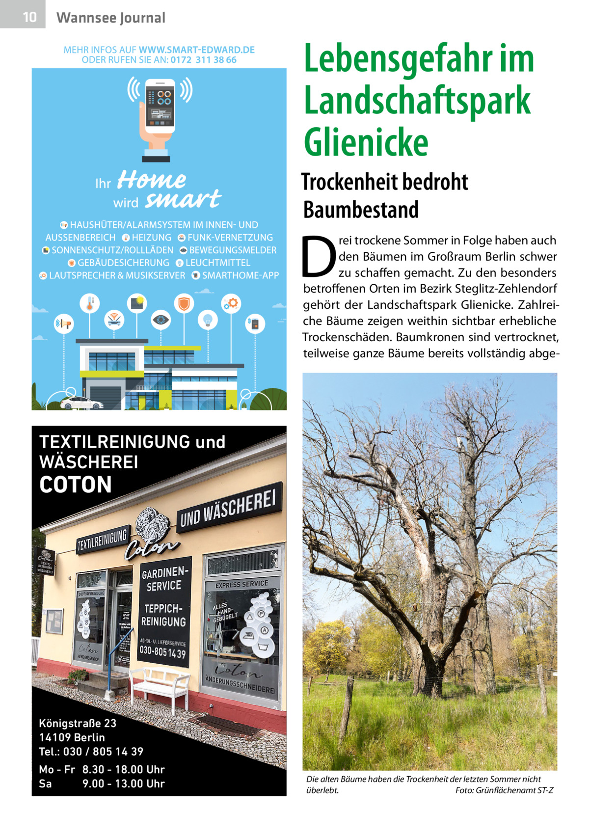 10  Wannsee Journal  Lebensgefahr im Landschaftspark Glienicke  Trockenheit bedroht Baumbestand  D  rei trockene Sommer in Folge haben auch den Bäumen im Großraum Berlin schwer zu schaffen gemacht. Zu den besonders betroffenen Orten im Bezirk Steglitz-Zehlendorf gehört der Landschaftspark Glienicke. Zahlreiche Bäume zeigen weithin sichtbar erhebliche Trockenschäden. Baumkronen sind vertrocknet, teilweise ganze Bäume bereits vollständig abge TEXTILREINIGUNG und WÄSCHEREI  COTON  Königstraße 23 14109 Berlin Tel.: 030 / 805 14 39 Mo - Fr 8.30 - 18.00 Uhr Sa 9.00 - 13.00 Uhr  Die alten Bäume haben die Trockenheit der letzten Sommer nicht überlebt. Foto: Grünflächenamt ST-Z