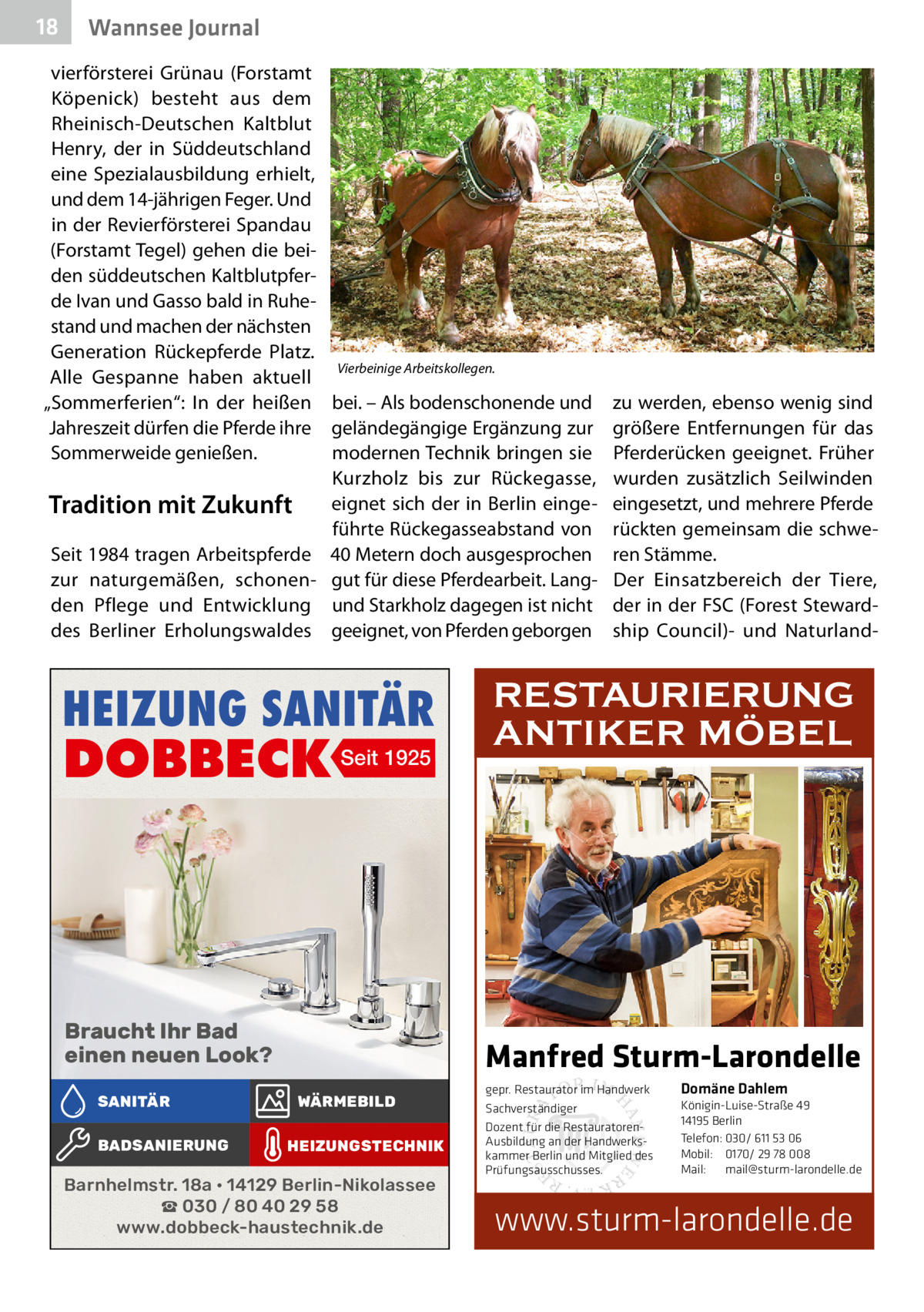18  Wannsee Journal  vierförsterei Grünau (Forstamt Köpenick) besteht aus dem Rheinisch-Deutschen Kaltblut Henry, der in Süddeutschland eine Spezialausbildung erhielt, und dem 14-jährigen Feger. Und in der Revierförsterei Spandau (Forstamt Tegel) gehen die beiden süddeutschen Kaltblutpferde Ivan und Gasso bald in Ruhestand und machen der nächsten Generation Rückepferde Platz. Vierbeinige Arbeitskollegen. Alle Gespanne haben aktuell „Sommerferien“: In der heißen bei. – Als bodenschonende und Jahreszeit dürfen die Pferde ihre geländegängige Ergänzung zur modernen Technik bringen sie Sommerweide genießen. Kurzholz bis zur Rückegasse, Tradition mit Zukunft eignet sich der in Berlin eingeführte Rückegasseabstand von Seit 1984 tragen Arbeitspferde 40 Metern doch ausgesprochen zur naturgemäßen, schonen- gut für diese Pferdearbeit. Langden Pflege und Entwicklung und Starkholz dagegen ist nicht des Berliner Erholungswaldes geeignet, von Pferden geborgen  HEIZUNG SANITÄR  DOBBECK Seit 1925  Braucht Ihr Bad einen neuen Look? SANITÄR BADSANIERUNG  zu werden, ebenso wenig sind größere Entfernungen für das Pferderücken geeignet. Früher wurden zusätzlich Seilwinden eingesetzt, und mehrere Pferde rückten gemeinsam die schweren Stämme. Der Einsatzbereich der Tiere, der in der FSC (Forest Stewardship Council)- und Naturland RESTAURIERUNG ANTIKER MÖBEL  Manfred Sturm-Larondelle WÄRMEBILD HEIZUNGSTECHNIK  Barnhelmstr. 18a • 14129 Berlin-Nikolassee ☎ 030 / 80 40 29 58 www.dobbeck-haustechnik.de  gepr. Restaurator im Handwerk Sachverständiger Dozent für die RestauratorenAusbildung an der Handwerkskammer Berlin und Mitglied des Prüfungsausschusses.  Domäne Dahlem Königin-Luise-Straße 49 14195 Berlin Telefon: 030/ 611 53 06 Mobil: 0170/ 29 78 008 Mail: mail@sturm-larondelle.de  www.sturm-larondelle.de