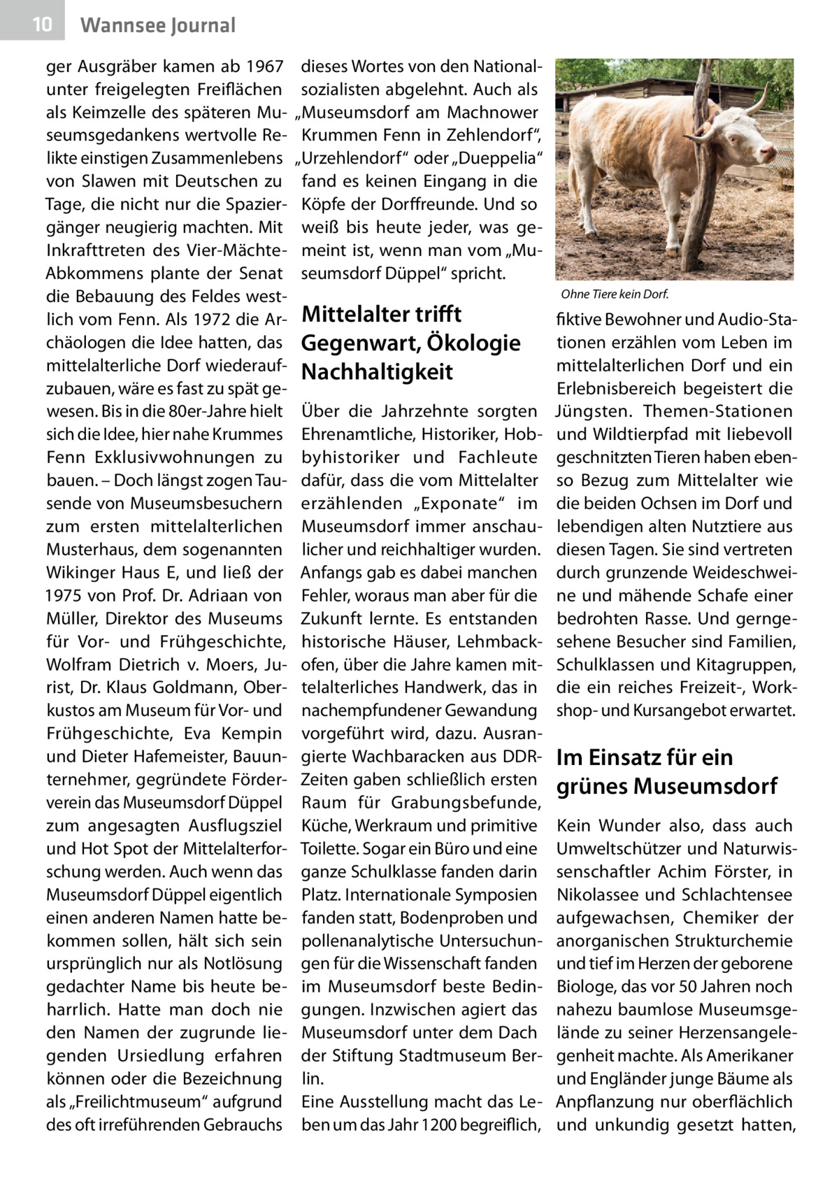 10  Gesundheit Wannsee Journal  ger Ausgräber kamen ab 1967 unter freigelegten Freiflächen als Keimzelle des späteren Museumsgedankens wertvolle Relikte einstigen Zusammenlebens von Slawen mit Deutschen zu Tage, die nicht nur die Spaziergänger neugierig machten. Mit Inkrafttreten des Vier-MächteAbkommens plante der Senat die Bebauung des Feldes westlich vom Fenn. Als 1972 die Archäologen die Idee hatten, das mittelalterliche Dorf wiederaufzubauen, wäre es fast zu spät gewesen. Bis in die 80er-Jahre hielt sich die Idee, hier nahe Krummes Fenn Exklusivwohnungen zu bauen. – Doch längst zogen Tausende von Museumsbesuchern zum ersten mittelalterlichen Musterhaus, dem sogenannten Wikinger Haus E, und ließ der 1975 von Prof. Dr. Adriaan von Müller, Direktor des Museums für Vor- und Frühgeschichte, Wolfram Dietrich v. Moers, Jurist, Dr. Klaus Goldmann, Oberkustos am Museum für Vor- und Frühgeschichte, Eva Kempin und Dieter Hafemeister, Bauunternehmer, gegründete Förderverein das Museumsdorf Düppel zum angesagten Ausflugsziel und Hot Spot der Mittelalterforschung werden. Auch wenn das Museumsdorf Düppel eigentlich einen anderen Namen hatte bekommen sollen, hält sich sein ursprünglich nur als Notlösung gedachter Name bis heute beharrlich. Hatte man doch nie den Namen der zugrunde liegenden Ursiedlung erfahren können oder die Bezeichnung als „Freilichtmuseum“ aufgrund des oft irreführenden Gebrauchs  dieses Wortes von den Nationalsozialisten abgelehnt. Auch als „Museumsdorf am Machnower Krummen Fenn in Zehlendorf“, „Urzehlendorf“ oder „Dueppelia“ fand es keinen Eingang in die Köpfe der Dorffreunde. Und so weiß bis heute jeder, was gemeint ist, wenn man vom „Museumsdorf Düppel“ spricht.  Mittelalter trifft Gegenwart, Ökologie Nachhaltigkeit Über die Jahrzehnte sorgten Ehrenamtliche, Historiker, Hobbyhistoriker und Fachleute dafür, dass die vom Mittelalter erzählenden „Exponate“ im Museumsdorf immer anschaulicher und reichhaltiger wurden. Anfangs gab es dabei manchen Fehler, woraus man aber für die Zukunft lernte. Es entstanden historische Häuser, Lehmbackofen, über die Jahre kamen mittelalterliches Handwerk, das in nachempfundener Gewandung vorgeführt wird, dazu. Ausrangierte Wachbaracken aus DDRZeiten gaben schließlich ersten Raum für Grabungsbefunde, Küche, Werkraum und primitive Toilette. Sogar ein Büro und eine ganze Schulklasse fanden darin Platz. Internationale Symposien fanden statt, Bodenproben und pollenanalytische Untersuchungen für die Wissenschaft fanden im Museumsdorf beste Bedingungen. Inzwischen agiert das Museumsdorf unter dem Dach der Stiftung Stadtmuseum Berlin. Eine Ausstellung macht das Leben um das Jahr 1200 begreiflich,  Ohne Tiere kein Dorf.  fiktive Bewohner und Audio-Stationen erzählen vom Leben im mittelalterlichen Dorf und ein Erlebnisbereich begeistert die Jüngsten. Themen-Stationen und Wildtierpfad mit liebevoll geschnitzten Tieren haben ebenso Bezug zum Mittelalter wie die beiden Ochsen im Dorf und lebendigen alten Nutztiere aus diesen Tagen. Sie sind vertreten durch grunzende Weideschweine und mähende Schafe einer bedrohten Rasse. Und gerngesehene Besucher sind Familien, Schulklassen und Kitagruppen, die ein reiches Freizeit-, Workshop- und Kursangebot erwartet.  Im Einsatz für ein grünes Museumsdorf Kein Wunder also, dass auch Umweltschützer und Naturwissenschaftler Achim Förster, in Nikolassee und Schlachtensee aufgewachsen, Chemiker der anorganischen Strukturchemie und tief im Herzen der geborene Biologe, das vor 50 Jahren noch nahezu baumlose Museumsgelände zu seiner Herzensangelegenheit machte. Als Amerikaner und Engländer junge Bäume als Anpflanzung nur oberflächlich und unkundig gesetzt hatten,