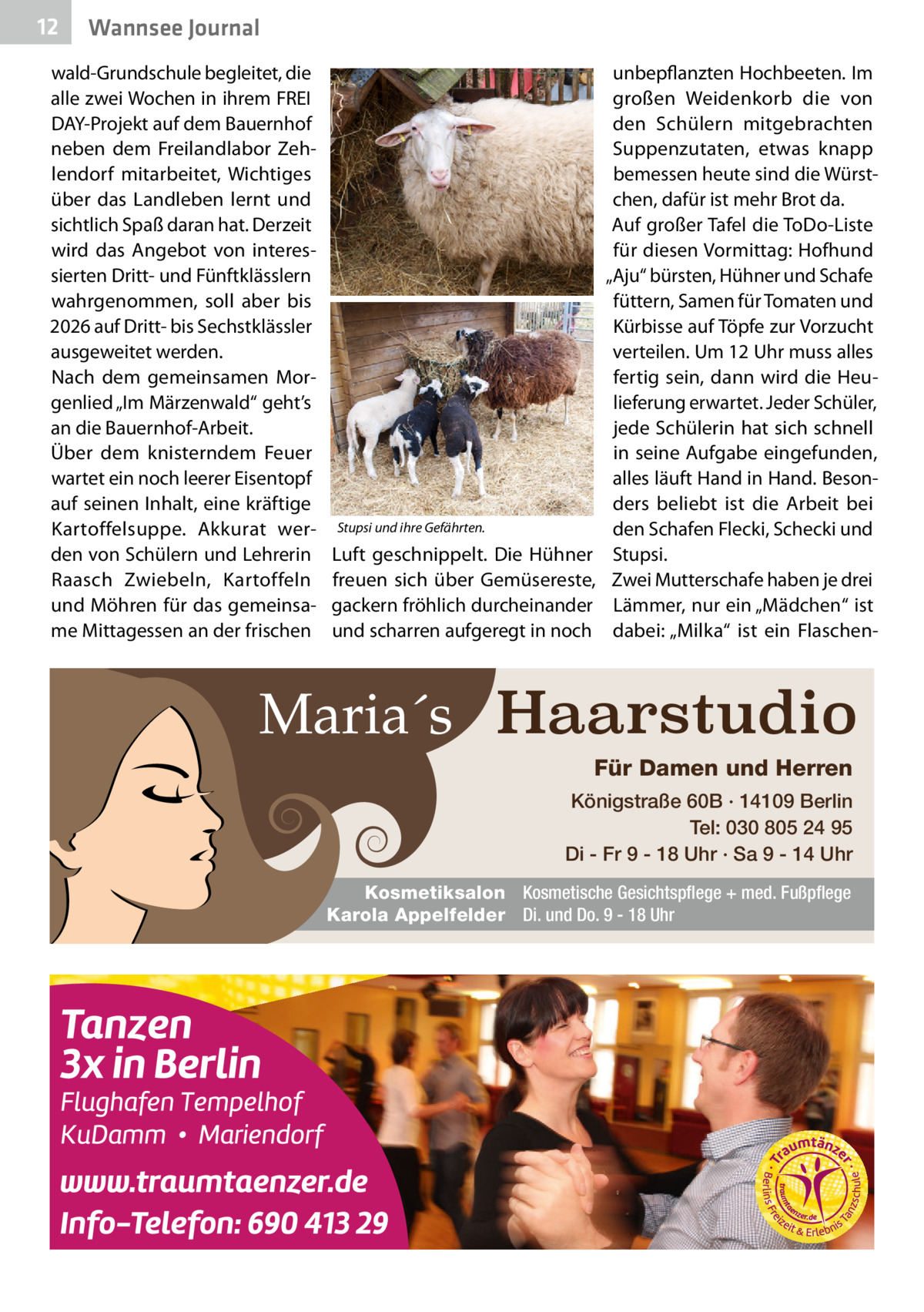 12  Wannsee Journal  wald-Grundschule begleitet, die alle zwei Wochen in ihrem FREI DAY-Projekt auf dem Bauernhof neben dem Freilandlabor Zehlendorf mitarbeitet, Wichtiges über das Landleben lernt und sichtlich Spaß daran hat. Derzeit wird das Angebot von interessierten Dritt- und Fünftklässlern wahrgenommen, soll aber bis 2026 auf Dritt- bis Sechstklässler ausgeweitet werden. Nach dem gemeinsamen Morgenlied „Im Märzenwald“ geht’s an die Bauernhof-Arbeit. Über dem knisterndem Feuer wartet ein noch leerer Eisentopf auf seinen Inhalt, eine kräftige Kartoffelsuppe. Akkurat werden von Schülern und Lehrerin Raasch Zwiebeln, Kartoffeln und Möhren für das gemeinsame Mittagessen an der frischen  Stupsi und ihre Gefährten.  Luft geschnippelt. Die Hühner freuen sich über Gemüsereste, gackern fröhlich durcheinander und scharren aufgeregt in noch  unbepflanzten Hochbeeten. Im großen Weidenkorb die von den Schülern mitgebrachten Suppenzutaten, etwas knapp bemessen heute sind die Würstchen, dafür ist mehr Brot da. Auf großer Tafel die ToDo-Liste für diesen Vormittag: Hofhund „Aju“ bürsten, Hühner und Schafe füttern, Samen für Tomaten und Kürbisse auf Töpfe zur Vorzucht verteilen. Um 12 Uhr muss alles fertig sein, dann wird die Heulieferung erwartet. Jeder Schüler, jede Schülerin hat sich schnell in seine Aufgabe eingefunden, alles läuft Hand in Hand. Besonders beliebt ist die Arbeit bei den Schafen Flecki, Schecki und Stupsi. Zwei Mutterschafe haben je drei Lämmer, nur ein „Mädchen“ ist dabei: „Milka“ ist ein Flaschen Maria´s Haarstudio Für Damen und Herren Königstraße 60B · 14109 Berlin Tel: 030 805 24 95 Di - Fr 9 - 18 Uhr · Sa 9 - 14 Uhr Kosmetiksalon Kosmetische Gesichtspflege + med. Fußpflege Karola Appelfelder Di. und Do. 9 - 18 Uhr