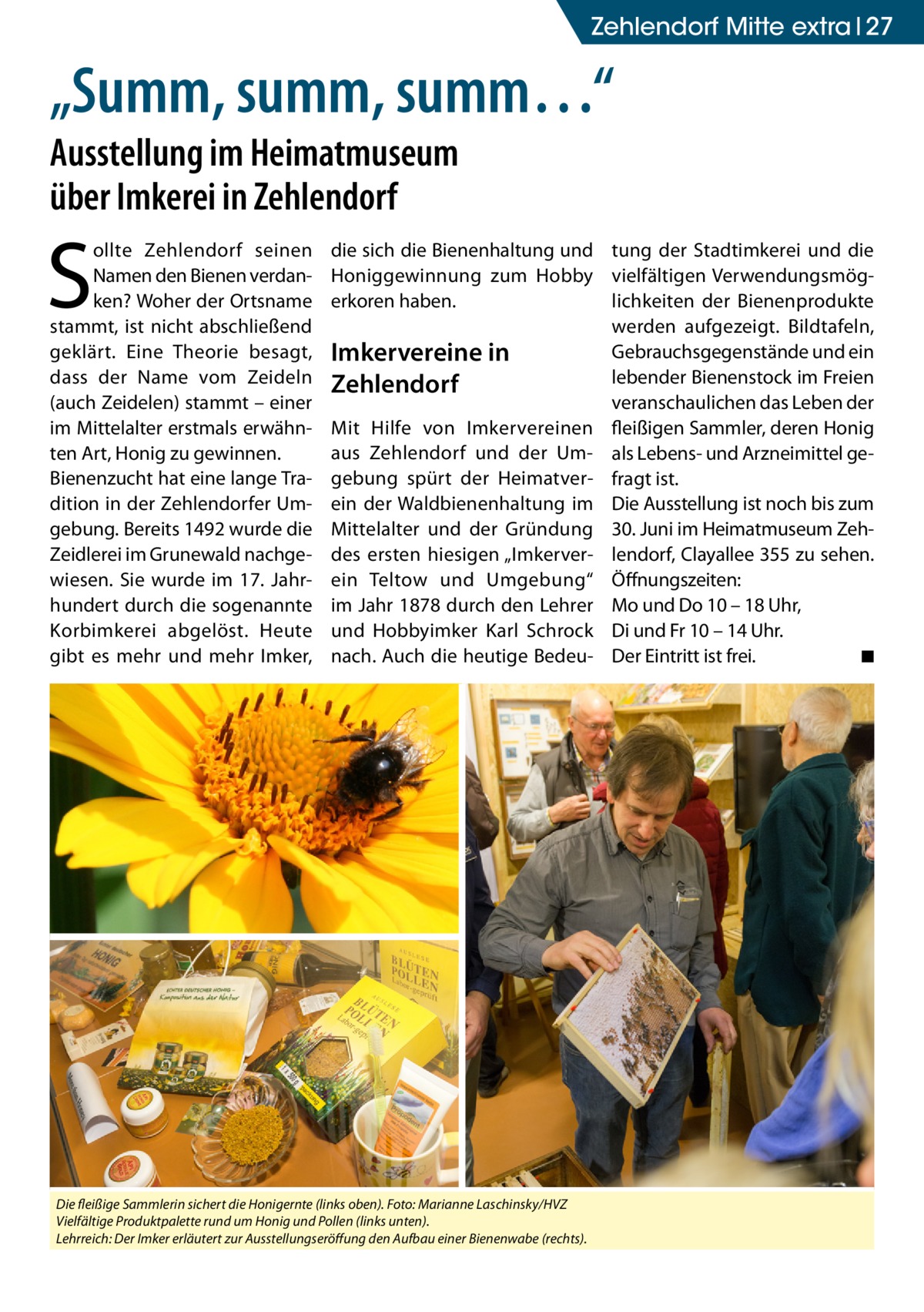 Zehlendorf Mitte extra 27  „Summ, summ, summ…“ Ausstellung im Heimatmuseum über Imkerei in Zehlendorf  S  ollte Zehlendorf seinen Namen den Bienen verdanken? Woher der Ortsname stammt, ist nicht abschließend geklärt. Eine Theorie besagt, dass der Name vom Zeideln (auch Zeidelen) stammt – einer im Mittelalter erstmals erwähnten Art, Honig zu gewinnen. Bienenzucht hat eine lange Tradition in der Zehlendorfer Umgebung. Bereits 1492 wurde die Zeidlerei im Grunewald nachgewiesen. Sie wurde im 17. Jahrhundert durch die sogenannte Korbimkerei abgelöst. Heute gibt es mehr und mehr Imker,  die sich die Bienenhaltung und tung der Stadtimkerei und die Honiggewinnung zum Hobby vielfältigen Verwendungsmöglichkeiten der Bienenprodukte erkoren haben. werden aufgezeigt. Bildtafeln, Gebrauchsgegenstände und ein Imkervereine in lebender Bienenstock im Freien Zehlendorf veranschaulichen das Leben der Mit Hilfe von Imkervereinen fleißigen Sammler, deren Honig aus Zehlendorf und der Um- als Lebens- und Arzneimittel gegebung spürt der Heimatver- fragt ist. ein der Waldbienenhaltung im Die Ausstellung ist noch bis zum Mittelalter und der Gründung 30. Juni im Heimatmuseum Zehdes ersten hiesigen „Imkerver- lendorf, Clayallee 355 zu sehen. ein Teltow und Umgebung“ Öffnungszeiten: im Jahr 1878 durch den Lehrer Mo und Do 10 – 18 Uhr, und Hobbyimker Karl Schrock Di und Fr 10 – 14 Uhr. nach. Auch die heutige Bedeu- Der Eintritt ist frei. � ◾  Die fleißige Sammlerin sichert die Honigernte (links oben). Foto: Marianne Laschinsky/HVZ Vielfältige Produktpalette rund um Honig und Pollen (links unten). Lehrreich: Der Imker erläutert zur Ausstellungseröffung den Aufbau einer Bienenwabe (rechts).