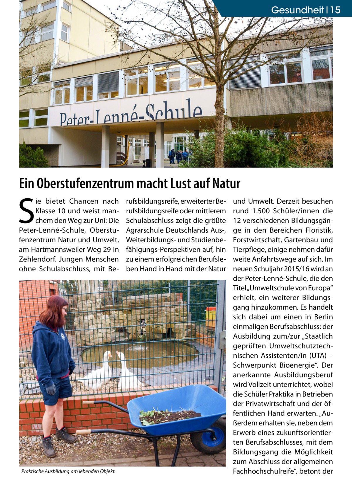 Gesundheit 15  Ein Oberstufenzentrum macht Lust auf Natur  S  ie bietet Chancen nach Klasse 10 und weist manchem den Weg zur Uni: Die Peter-Lenné-Schule, Oberstufenzentrum Natur und Umwelt, am Hartmannsweiler Weg 29 in Zehlendorf. Jungen Menschen ohne Schulabschluss, mit Be Praktische Ausbildung am lebenden Objekt.  rufsbildungsreife, erweiterter Berufsbildungsreife oder mittlerem Schulabschluss zeigt die größte Agrarschule Deutschlands Aus-, Weiterbildungs- und Studienbefähigungs-Perspektiven auf, hin zu einem erfolgreichen Berufsleben Hand in Hand mit der Natur  und Umwelt. Derzeit besuchen rund 1.500 Schüler/innen die 12 verschiedenen Bildungsgänge in den Bereichen Floristik, Forstwirtschaft, Gartenbau und Tierpflege, einige nehmen dafür weite Anfahrtswege auf sich. Im neuen Schuljahr 2015/16 wird an der Peter-Lenné-Schule, die den Titel „Umweltschule von Europa“ erhielt, ein weiterer Bildungsgang hinzukommen. Es handelt sich dabei um einen in Berlin einmaligen Berufsabschluss: der Ausbildung zum/zur „Staatlich geprüften Umweltschutztechnischen Assistenten/in (UTA) – Schwerpunkt Bioenergie“. Der anerkannte Ausbildungsberuf wird Vollzeit unterrichtet, wobei die Schüler Praktika in Betrieben der Privatwirtschaft und der öffentlichen Hand erwarten. „Außerdem erhalten sie, neben dem Erwerb eines zukunftsorientierten Berufsabschlusses, mit dem Bildungsgang die Möglichkeit zum Abschluss der allgemeinen Fachhochschulreife“, betont der