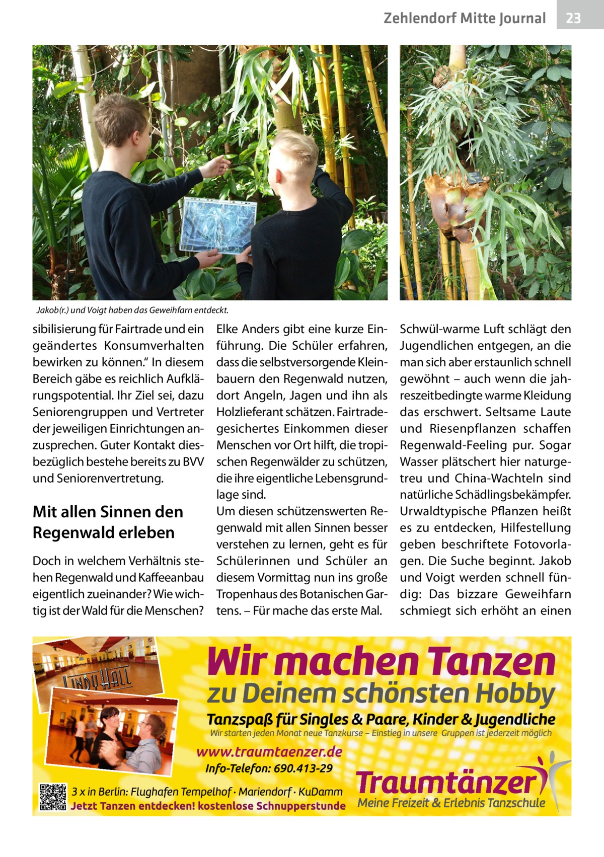 Ratgeber Zehlendorf Mitte Journal 23  Jakob(r.) und Voigt haben das Geweihfarn entdeckt.  sibilisierung für Fairtrade und ein geändertes Konsumverhalten bewirken zu können.“ In diesem Bereich gäbe es reichlich Aufklärungspotential. Ihr Ziel sei, dazu Seniorengruppen und Vertreter der jeweiligen Einrichtungen anzusprechen. Guter Kontakt diesbezüglich bestehe bereits zu BVV und Seniorenvertretung.  Mit allen Sinnen den Regenwald erleben Doch in welchem Verhältnis stehen Regenwald und Kaffeeanbau eigentlich zueinander? Wie wichtig ist der Wald für die Menschen?  Elke Anders gibt eine kurze Einführung. Die Schüler erfahren, dass die selbstversorgende Kleinbauern den Regenwald nutzen, dort Angeln, Jagen und ihn als Holzlieferant schätzen. Fairtradegesichertes Einkommen dieser Menschen vor Ort hilft, die tropischen Regenwälder zu schützen, die ihre eigentliche Lebensgrundlage sind. Um diesen schützenswerten Regenwald mit allen Sinnen besser verstehen zu lernen, geht es für Schülerinnen und Schüler an diesem Vormittag nun ins große Tropenhaus des Botanischen Gartens. – Für mache das erste Mal.  Schwül-warme Luft schlägt den Jugendlichen entgegen, an die man sich aber erstaunlich schnell gewöhnt – auch wenn die jahreszeitbedingte warme Kleidung das erschwert. Seltsame Laute und Riesenpflanzen schaffen Regenwald-Feeling pur. Sogar Wasser plätschert hier naturgetreu und China-Wachteln sind natürliche Schädlingsbekämpfer. Urwaldtypische Pflanzen heißt es zu entdecken, Hilfestellung geben beschriftete Fotovorlagen. Die Suche beginnt. Jakob und Voigt werden schnell fündig: Das bizzare Geweihfarn schmiegt sich erhöht an einen