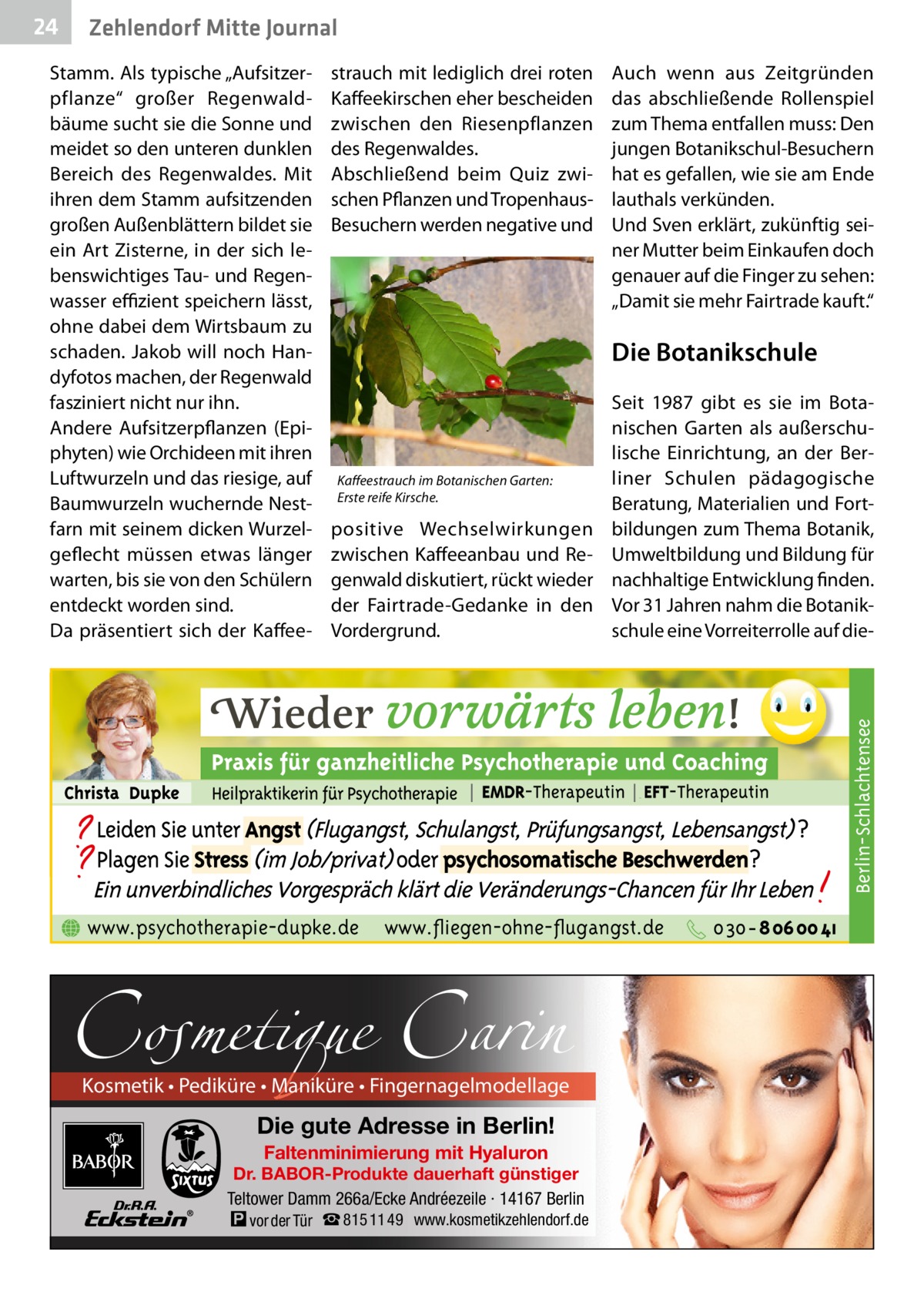 24  Zehlendorf Mitte Journal strauch mit lediglich drei roten Kaffeekirschen eher bescheiden zwischen den Riesenpflanzen des Regenwaldes. Abschließend beim Quiz zwischen Pflanzen und TropenhausBesuchern werden negative und  Auch wenn aus Zeitgründen das abschließende Rollenspiel zum Thema entfallen muss: Den jungen Botanikschul-Besuchern hat es gefallen, wie sie am Ende lauthals verkünden. Und Sven erklärt, zukünftig seiner Mutter beim Einkaufen doch genauer auf die Finger zu sehen: „Damit sie mehr Fairtrade kauft.“  Die Botanikschule  Kaffeestrauch im Botanischen Garten: Erste reife Kirsche.  positive Wechselwirkungen zwischen Kaffeeanbau und Regenwald diskutiert, rückt wieder der Fairtrade-Gedanke in den Vordergrund.  Seit 1987 gibt es sie im Botanischen Garten als außerschulische Einrichtung, an der Berliner Schulen pädagogische Beratung, Materialien und Fortbildungen zum Thema Botanik, Umweltbildung und Bildung für nachhaltige Entwicklung finden. Vor 31 Jahren nahm die Botanikschule eine Vorreiterrolle auf die Berlin-Schlachtensee  Stamm. Als typische „Aufsitzerpflanze“ großer Regenwaldbäume sucht sie die Sonne und meidet so den unteren dunklen Bereich des Regenwaldes. Mit ihren dem Stamm aufsitzenden großen Außenblättern bildet sie ein Art Zisterne, in der sich lebenswichtiges Tau- und Regenwasser effizient speichern lässt, ohne dabei dem Wirtsbaum zu schaden. Jakob will noch Handyfotos machen, der Regenwald fasziniert nicht nur ihn. Andere Aufsitzerpflanzen (Epiphyten) wie Orchideen mit ihren Luftwurzeln und das riesige, auf Baumwurzeln wuchernde Nestfarn mit seinem dicken Wurzelgeflecht müssen etwas länger warten, bis sie von den Schülern entdeckt worden sind. Da präsentiert sich der Kaffee www.psychotherapie-dupke.de  www.fliegen-ohne-flugangst.de  Cosmetique Carin  Kosmetik • Pediküre • Maniküre • Fingernagelmodellage  Die gute Adresse in Berlin! Faltenminimierung mit Hyaluron  Dr. BABOR-Produkte dauerhaft günstiger Teltower Damm 266a/Ecke Andréezeile · 14167 Berlin  � vor der Tür ☎ 815 11 49  www.kosmetikzehlendorf.de