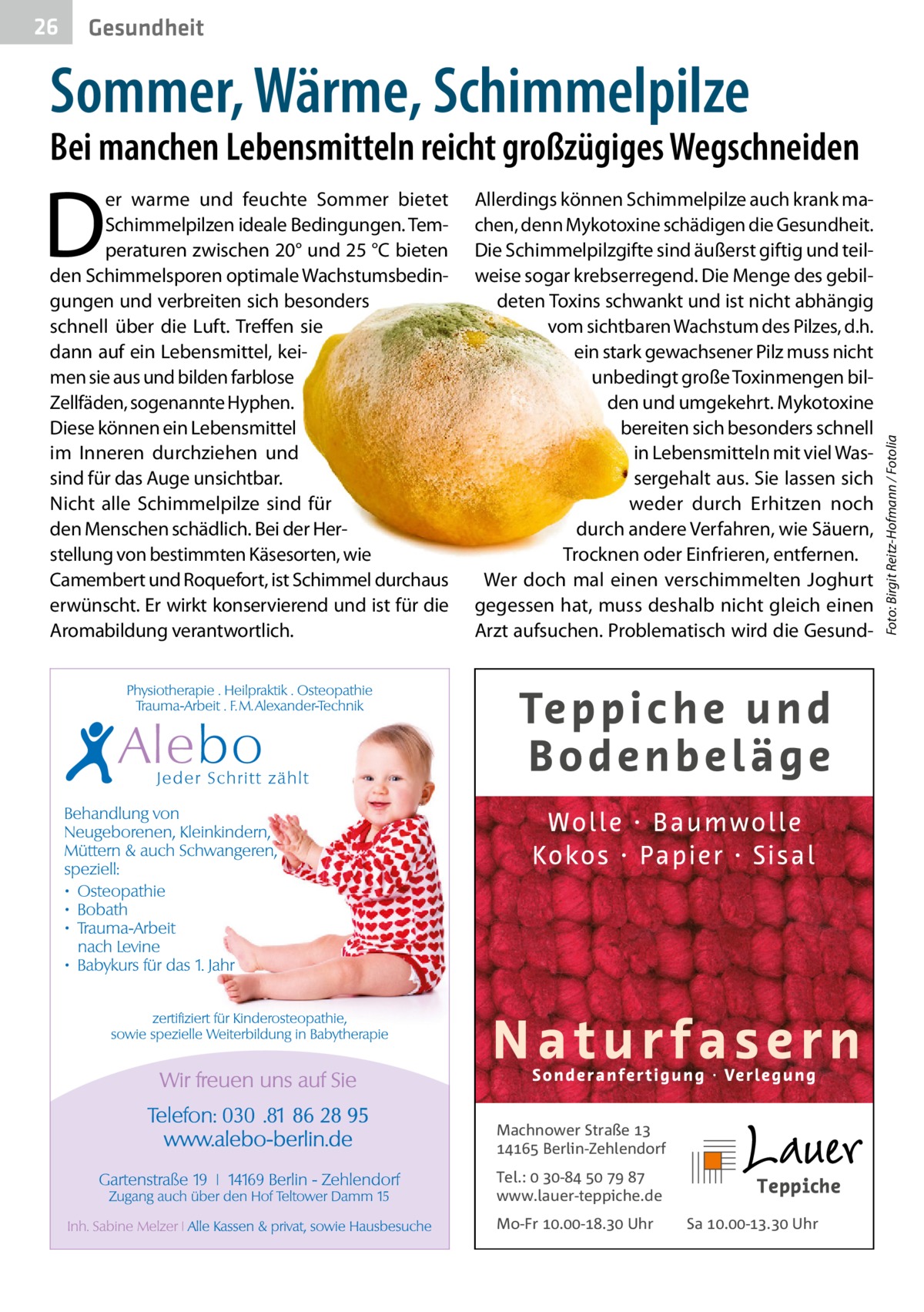 26  Gesundheit  Sommer, Wärme, Schimmelpilze  D  er warme und feuchte Sommer bietet Schimmelpilzen ideale Bedingungen. Temperaturen zwischen 20° und 25 °C bieten den Schimmelsporen optimale Wachstumsbedingungen und verbreiten sich besonders schnell über die Luft. Treffen sie dann auf ein Lebensmittel, keimen sie aus und bilden farblose Zellfäden, sogenannte Hyphen. Diese können ein Lebensmittel im Inneren durchziehen und sind für das Auge unsichtbar. Nicht alle Schimmelpilze sind für den Menschen schädlich. Bei der Herstellung von bestimmten Käsesorten, wie Camembert und Roquefort, ist Schimmel durchaus erwünscht. Er wirkt konservierend und ist für die Aromabildung verantwortlich.  Allerdings können Schimmelpilze auch krank machen, denn Mykotoxine schädigen die Gesundheit. Die Schimmelpilzgifte sind äußerst giftig und teilweise sogar krebserregend. Die Menge des gebildeten Toxins schwankt und ist nicht abhängig vom sichtbaren Wachstum des Pilzes, d.h. ein stark gewachsener Pilz muss nicht unbedingt große Toxinmengen bilden und umgekehrt. Mykotoxine bereiten sich besonders schnell in Lebensmitteln mit viel Wassergehalt aus. Sie lassen sich weder durch Erhitzen noch durch andere Verfahren, wie Säuern, Trocknen oder Einfrieren, entfernen. Wer doch mal einen verschimmelten Joghurt gegessen hat, muss deshalb nicht gleich einen Arzt aufsuchen. Problematisch wird die Gesund Machnower Straße   Berlin-Zehlendorf Tel.:  -    www.lauer-teppiche.de Mo-Fr .-. Uhr  Sa .-. Uhr  Foto: Birgit Reitz-Hofmann / Fotolia  Bei manchen Lebensmitteln reicht großzügiges Wegschneiden