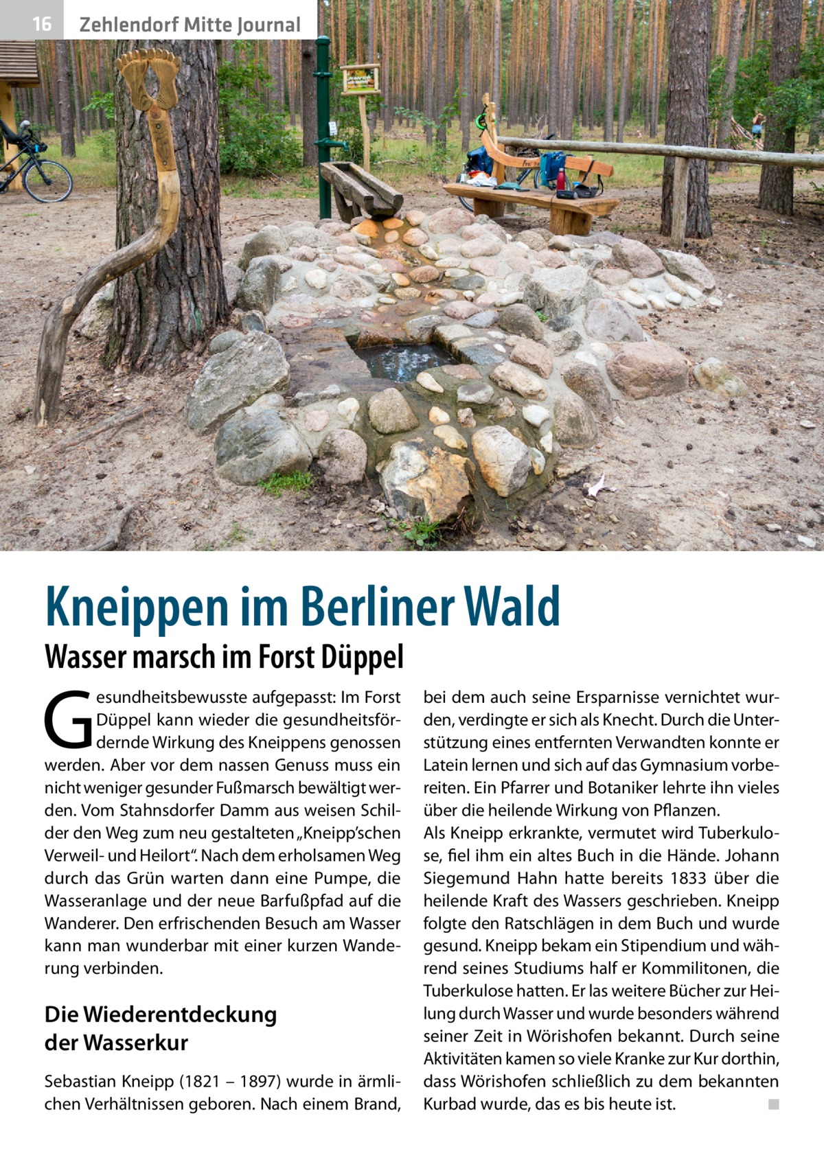 16  Zehlendorf Mitte Journal  Kneippen im Berliner Wald Wasser marsch im Forst Düppel  G  esundheitsbewusste aufgepasst: Im Forst Düppel kann wieder die gesundheitsfördernde Wirkung des Kneippens genossen werden. Aber vor dem nassen Genuss muss ein nicht weniger gesunder Fußmarsch bewältigt werden. Vom Stahnsdorfer Damm aus weisen Schilder den Weg zum neu gestalteten „Kneipp’schen Verweil- und Heilort“. Nach dem erholsamen Weg durch das Grün warten dann eine Pumpe, die Wasseranlage und der neue Barfußpfad auf die Wanderer. Den erfrischenden Besuch am Wasser kann man wunderbar mit einer kurzen Wanderung verbinden.  Die Wiederentdeckung der Wasserkur Sebastian Kneipp (1821 – 1897) wurde in ärmlichen Verhältnissen geboren. Nach einem Brand,  bei dem auch seine Ersparnisse vernichtet wurden, verdingte er sich als Knecht. Durch die Unterstützung eines entfernten Verwandten konnte er Latein lernen und sich auf das Gymnasium vorbereiten. Ein Pfarrer und Botaniker lehrte ihn vieles über die heilende Wirkung von Pflanzen. Als Kneipp erkrankte, vermutet wird Tuberkulose, fiel ihm ein altes Buch in die Hände. Johann Siegemund Hahn hatte bereits 1833 über die heilende Kraft des Wassers geschrieben. Kneipp folgte den Ratschlägen in dem Buch und wurde gesund. Kneipp bekam ein Stipendium und während seines Studiums half er Kommilitonen, die Tuberkulose hatten. Er las weitere Bücher zur Heilung durch Wasser und wurde besonders während seiner Zeit in Wörishofen bekannt. Durch seine Aktivitäten kamen so viele Kranke zur Kur dorthin, dass Wörishofen schließlich zu dem bekannten Kurbad wurde, das es bis heute ist. � ◾