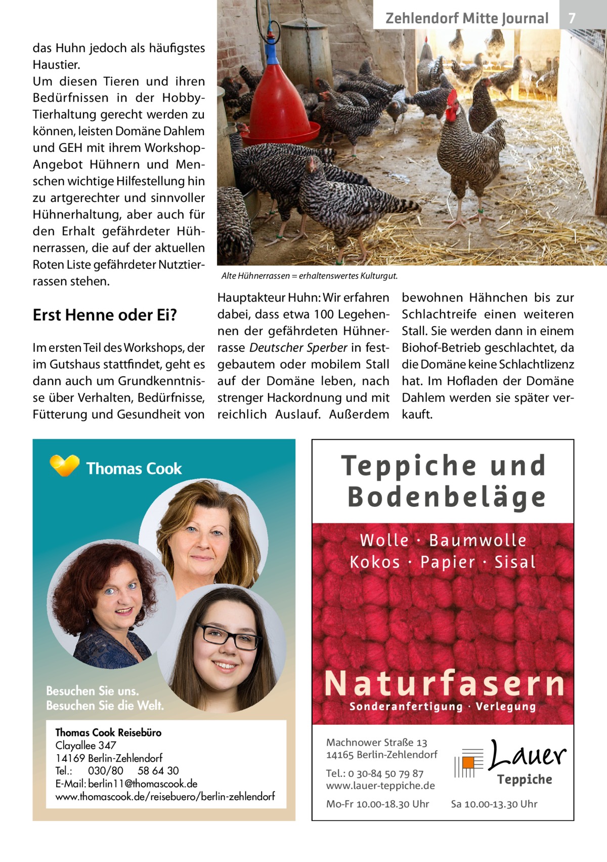 Zehlendorf Mitte Journal das Huhn jedoch als häufigstes Haustier. Um diesen Tieren und ihren Bedürfnissen in der HobbyTierhaltung gerecht werden zu können, leisten Domäne Dahlem und GEH mit ihrem WorkshopAngebot Hühnern und Menschen wichtige Hilfestellung hin zu artgerechter und sinnvoller Hühnerhaltung, aber auch für den Erhalt gefährdeter Hühnerrassen, die auf der aktuellen Roten Liste gefährdeter Nutztierrassen stehen.  Erst Henne oder Ei? Im ersten Teil des Workshops, der im Gutshaus stattfindet, geht es dann auch um Grundkenntnisse über Verhalten, Bedürfnisse, Fütterung und Gesundheit von  7  Alte Hühnerrassen = erhaltenswertes Kulturgut.  Hauptakteur Huhn: Wir erfahren dabei, dass etwa 100 Legehennen der gefährdeten Hühnerrasse Deutscher Sperber in festgebautem oder mobilem Stall auf der Domäne leben, nach strenger Hackordnung und mit reichlich Auslauf. Außerdem  bewohnen Hähnchen bis zur Schlachtreife einen weiteren Stall. Sie werden dann in einem Biohof-Betrieb geschlachtet, da die Domäne keine Schlachtlizenz hat. Im Hofladen der Domäne Dahlem werden sie später verkauft.  Besuchen Sie uns. Besuchen Sie die Welt. Thomas Cook Reisebüro Clayallee 347 14169 Berlin-Zehlendorf Tel.: 030/80 58 64 30 E-Mail: berlin11@thomascook.de www.thomascook.de/reisebuero/berlin-zehlendorf  Machnower Straße   Berlin-Zehlendorf Tel.:  -    www.lauer-teppiche.de Mo-Fr .-. Uhr  Sa .-. Uhr