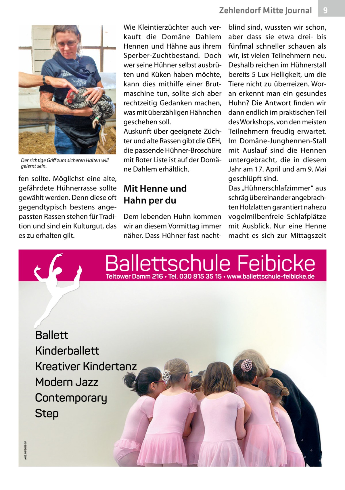 Zehlendorf Mitte Journal  Der richtige Griff zum sicheren Halten will gelernt sein.  fen sollte. Möglichst eine alte, gefährdete Hühnerrasse sollte gewählt werden. Denn diese oft gegendtypisch bestens angepassten Rassen stehen für Tradition und sind ein Kulturgut, das es zu erhalten gilt.  Wie Kleintierzüchter auch verkauft die Domäne Dahlem Hennen und Hähne aus ihrem Sperber-Zuchtbestand. Doch wer seine Hühner selbst ausbrüten und Küken haben möchte, kann dies mithilfe einer Brutmaschine tun, sollte sich aber rechtzeitig Gedanken machen, was mit überzähligen Hähnchen geschehen soll. Auskunft über geeignete Züchter und alte Rassen gibt die GEH, die passende Hühner-Broschüre mit Roter Liste ist auf der Domäne Dahlem erhältlich.  9  blind sind, wussten wir schon, aber dass sie etwa drei- bis fünfmal schneller schauen als wir, ist vielen Teilnehmern neu. Deshalb reichen im Hühnerstall bereits 5 Lux Helligkeit, um die Tiere nicht zu überreizen. Woran erkennt man ein gesundes Huhn? Die Antwort finden wir dann endlich im praktischen Teil des Workshops, von den meisten Teilnehmern freudig erwartet. Im Domäne-Junghennen-Stall mit Auslauf sind die Hennen untergebracht, die in diesem Jahr am 17. April und am 9. Mai geschlüpft sind. Das „Hühnerschlafzimmer“ aus Mit Henne und schräg übereinander angebrachHahn per du ten Holzlatten garantiert nahezu Dem lebenden Huhn kommen vogelmilbenfreie Schlafplätze wir an diesem Vormittag immer mit Ausblick. Nur eine Henne näher. Dass Hühner fast nacht- macht es sich zur Mittagszeit