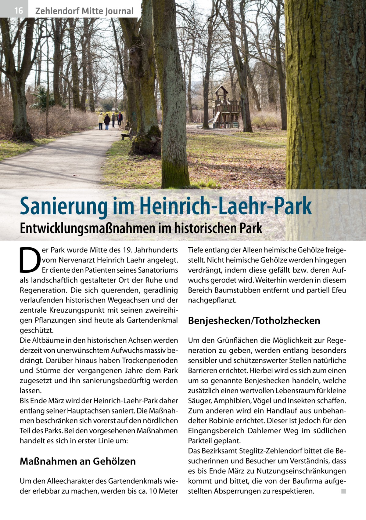 16  Zehlendorf Mitte Journal  Sanierung im Heinrich-Laehr-Park Entwicklungsmaßnahmen im historischen Park  D  er Park wurde Mitte des 19. Jahrhunderts vom Nervenarzt Heinrich Laehr angelegt. Er diente den Patienten seines Sanatoriums als landschaftlich gestalteter Ort der Ruhe und Regeneration. Die sich querenden, geradlinig verlaufenden historischen Wegeachsen und der zentrale Kreuzungspunkt mit seinen zweireihigen Pflanzungen sind heute als Gartendenkmal geschützt. Die Altbäume in den historischen Achsen werden derzeit von unerwünschtem Aufwuchs massiv bedrängt. Darüber hinaus haben Trockenperioden und Stürme der vergangenen Jahre dem Park zugesetzt und ihn sanierungsbedürftig werden lassen. Bis Ende März wird der Heinrich-Laehr-Park daher entlang seiner Hauptachsen saniert. Die Maßnahmen beschränken sich vorerst auf den nördlichen Teil des Parks. Bei den vorgesehenen Maßnahmen handelt es sich in erster Linie um:  Maßnahmen an Gehölzen Um den Alleecharakter des Gartendenkmals wieder erlebbar zu machen, werden bis ca. 10 Meter  Tiefe entlang der Alleen heimische Gehölze freigestellt. Nicht heimische Gehölze werden hingegen verdrängt, indem diese gefällt bzw. deren Aufwuchs gerodet wird. Weiterhin werden in diesem Bereich Baumstubben entfernt und partiell Efeu nachgepflanzt.  Benjeshecken/Totholzhecken Um den Grünflächen die Möglichkeit zur Regeneration zu geben, werden entlang besonders sensibler und schützenswerter Stellen natürliche Barrieren errichtet. Hierbei wird es sich zum einen um so genannte Benjeshecken handeln, welche zusätzlich einen wertvollen Lebensraum für kleine Säuger, Amphibien, Vögel und Insekten schaffen. Zum anderen wird ein Handlauf aus unbehandelter Robinie errichtet. Dieser ist jedoch für den Eingangsbereich Dahlemer Weg im südlichen Parkteil geplant. Das Bezirksamt Steglitz-Zehlendorf bittet die Besucherinnen und Besucher um Verständnis, dass es bis Ende März zu Nutzungseinschränkungen kommt und bittet, die von der Baufirma aufgestellten Absperrungen zu respektieren. ◾