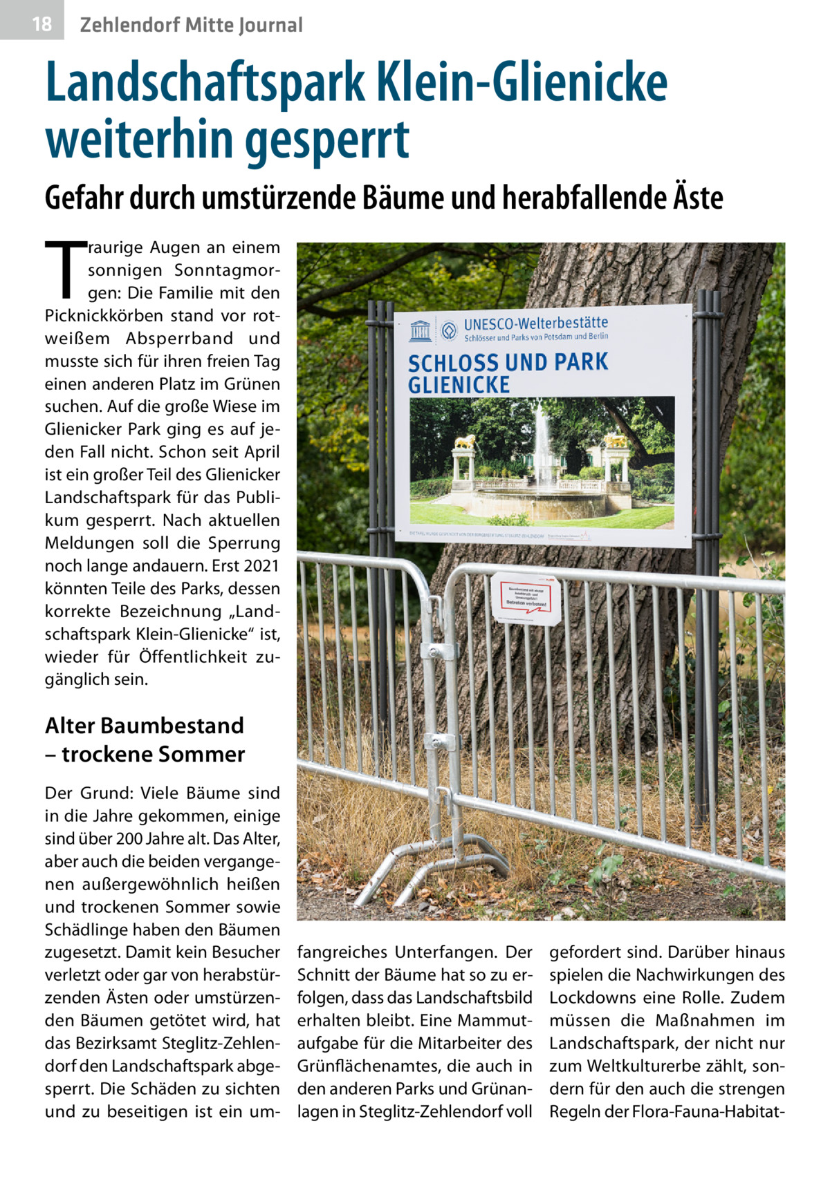 18  Zehlendorf Mitte Journal  Landschaftspark Klein-Glienicke weiterhin gesperrt Gefahr durch umstürzende Bäume und herabfallende Äste  T  raurige Augen an einem sonnigen Sonntagmorgen: Die Familie mit den Picknickkörben stand vor rotweißem Absperrband und musste sich für ihren freien Tag einen anderen Platz im Grünen suchen. Auf die große Wiese im Glienicker Park ging es auf jeden Fall nicht. Schon seit April ist ein großer Teil des Glienicker Landschaftspark für das Publikum gesperrt. Nach aktuellen Meldungen soll die Sperrung noch lange andauern. Erst 2021 könnten Teile des Parks, dessen korrekte Bezeichnung „Landschaftspark Klein-Glienicke“ ist, wieder für Öffentlichkeit zugänglich sein.  Alter Baumbestand – trockene Sommer Der Grund: Viele Bäume sind in die Jahre gekommen, einige sind über 200 Jahre alt. Das Alter, aber auch die beiden vergangenen außergewöhnlich heißen und trockenen Sommer sowie Schädlinge haben den Bäumen zugesetzt. Damit kein Besucher verletzt oder gar von herabstürzenden Ästen oder umstürzenden Bäumen getötet wird, hat das Bezirksamt Steglitz-Zehlendorf den Landschaftspark abgesperrt. Die Schäden zu sichten und zu beseitigen ist ein um fangreiches Unterfangen. Der Schnitt der Bäume hat so zu erfolgen, dass das Landschaftsbild erhalten bleibt. Eine Mammutaufgabe für die Mitarbeiter des Grünflächenamtes, die auch in den anderen Parks und Grünanlagen in Steglitz-Zehlendorf voll  gefordert sind. Darüber hinaus spielen die Nachwirkungen des Lockdowns eine Rolle. Zudem müssen die Maßnahmen im Landschaftspark, der nicht nur zum Weltkulturerbe zählt, sondern für den auch die strengen Regeln der Flora-Fauna-Habita