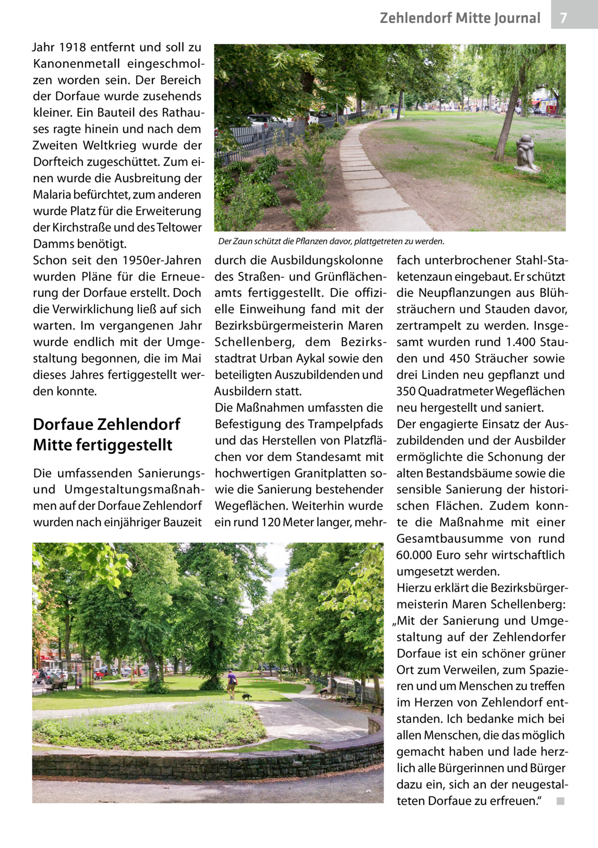 Zehlendorf Mitte Journal Jahr 1918 entfernt und soll zu Kanonenmetall eingeschmolzen worden sein. Der Bereich der Dorfaue wurde zusehends kleiner. Ein Bauteil des Rathauses ragte hinein und nach dem Zweiten Weltkrieg wurde der Dorfteich zugeschüttet. Zum einen wurde die Ausbreitung der Malaria befürchtet, zum anderen wurde Platz für die Erweiterung der Kirchstraße und des Teltower Damms benötigt. Schon seit den 1950er-Jahren wurden Pläne für die Erneuerung der Dorfaue erstellt. Doch die Verwirklichung ließ auf sich warten. Im vergangenen Jahr wurde endlich mit der Umgestaltung begonnen, die im Mai dieses Jahres fertiggestellt werden konnte.  Dorfaue Zehlendorf Mitte fertiggestellt Die umfassenden Sanierungsund Umgestaltungsmaßnahmen auf der Dorfaue Zehlendorf wurden nach einjähriger Bauzeit  7  Der Zaun schützt die Pflanzen davor, plattgetreten zu werden.  durch die Ausbildungskolonne des Straßen- und Grünflächenamts fertiggestellt. Die offizielle Einweihung fand mit der Bezirksbürgermeisterin Maren Schellenberg, dem Bezirksstadtrat Urban Aykal sowie den beteiligten Auszubildenden und Ausbildern statt. Die Maßnahmen umfassten die Befestigung des Trampelpfads und das Herstellen von Platzflächen vor dem Standesamt mit hochwertigen Granitplatten sowie die Sanierung bestehender Wegeflächen. Weiterhin wurde ein rund 120 Meter langer, mehr fach unterbrochener Stahl-Staketenzaun eingebaut. Er schützt die Neupflanzungen aus Blühsträuchern und Stauden davor, zertrampelt zu werden. Insgesamt wurden rund 1.400  Stauden und 450  Sträucher sowie drei Linden neu gepflanzt und 350 Quadratmeter Wegeflächen neu hergestellt und saniert. Der engagierte Einsatz der Auszubildenden und der Ausbilder ermöglichte die Schonung der alten Bestandsbäume sowie die sensible Sanierung der historischen Flächen. Zudem konnte die Maßnahme mit einer Gesamtbausumme von rund 60.000 Euro sehr wirtschaftlich umgesetzt werden. Hierzu erklärt die Bezirksbürgermeisterin Maren Schellenberg: „Mit der Sanierung und Umgestaltung auf der Zehlendorfer Dorfaue ist ein schöner grüner Ort zum Verweilen, zum Spazieren und um Menschen zu treffen im Herzen von Zehlendorf entstanden. Ich bedanke mich bei allen Menschen, die das möglich gemacht haben und lade herzlich alle Bürgerinnen und Bürger dazu ein, sich an der neugestalteten Dorfaue zu erfreuen.“ � ◾