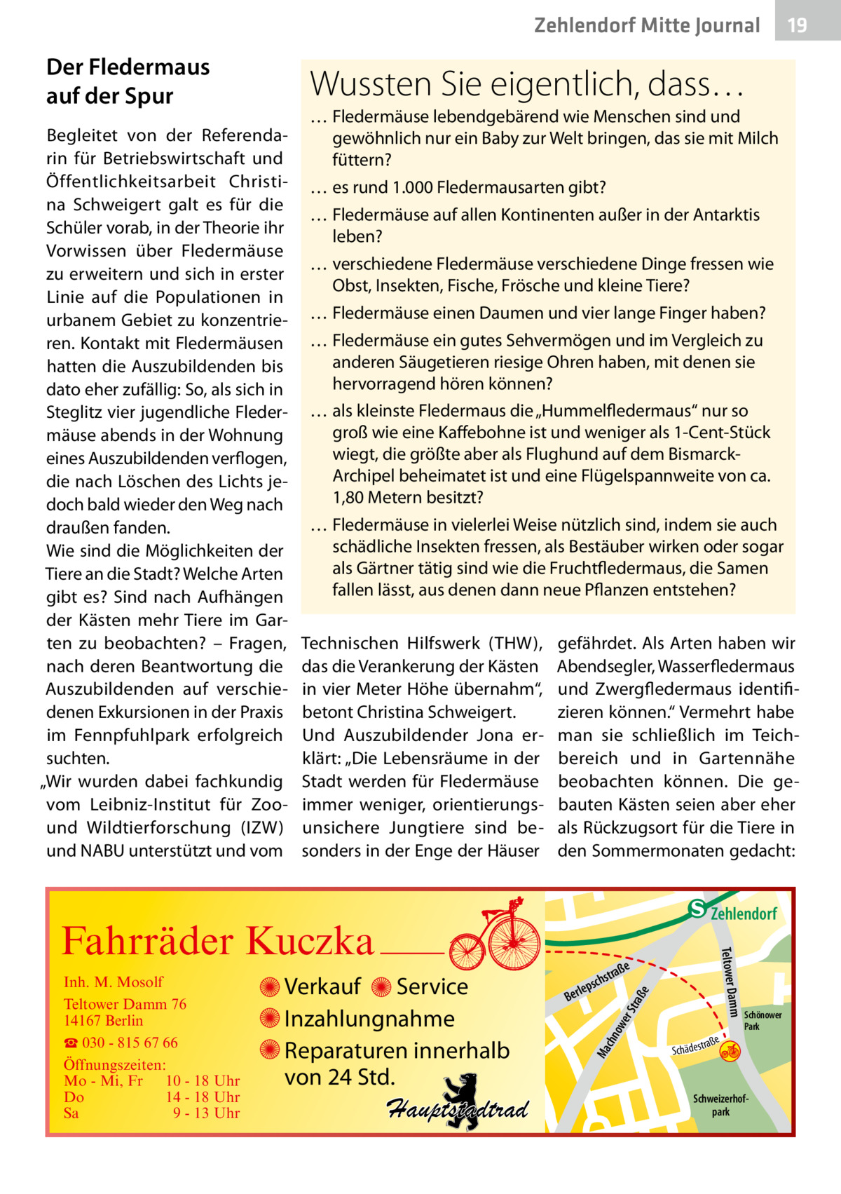 Zehlendorf Mitte Journal  Der Fledermaus auf der Spur  19  Wussten Sie eigentlich, dass…  Begleitet von der Referendarin für Betriebswirtschaft und Öffentlichkeitsarbeit Christina Schweigert galt es für die Schüler vorab, in der Theorie ihr Vorwissen über Fledermäuse zu erweitern und sich in erster Linie auf die Populationen in urbanem Gebiet zu konzentrieren. Kontakt mit Fledermäusen hatten die Auszubildenden bis dato eher zufällig: So, als sich in Steglitz vier jugendliche Fledermäuse abends in der Wohnung eines Auszubildenden verflogen, die nach Löschen des Lichts jedoch bald wieder den Weg nach draußen fanden. Wie sind die Möglichkeiten der Tiere an die Stadt? Welche Arten gibt es? Sind nach Aufhängen der Kästen mehr Tiere im Garten zu beobachten? – Fragen, nach deren Beantwortung die Auszubildenden auf verschiedenen Exkursionen in der Praxis im Fennpfuhlpark erfolgreich suchten. „Wir wurden dabei fachkundig vom Leibniz-Institut für Zoound Wildtierforschung (IZW) und NABU unterstützt und vom  …	Fledermäuse lebendgebärend wie Menschen sind und gewöhnlich nur ein Baby zur Welt bringen, das sie mit Milch füttern? …	es rund 1.000 Fledermausarten gibt? …	Fledermäuse auf allen Kontinenten außer in der Antarktis leben? …	verschiedene Fledermäuse verschiedene Dinge fressen wie Obst, Insekten, Fische, Frösche und kleine Tiere? …	Fledermäuse einen Daumen und vier lange Finger haben? …	Fledermäuse ein gutes Sehvermögen und im Vergleich zu anderen Säugetieren riesige Ohren haben, mit denen sie hervorragend hören können? …	als kleinste Fledermaus die „Hummelfledermaus“ nur so groß wie eine Kaffebohne ist und weniger als 1-Cent-Stück wiegt, die größte aber als Flughund auf dem BismarckArchipel beheimatet ist und eine Flügelspannweite von ca. 1,80 Metern besitzt? …	Fledermäuse in vielerlei Weise nützlich sind, indem sie auch schädliche Insekten fressen, als Bestäuber wirken oder sogar als Gärtner tätig sind wie die Fruchtfledermaus, die Samen fallen lässt, aus denen dann neue Pflanzen entstehen? Technischen Hilfswerk (THW), das die Verankerung der Kästen in vier Meter Höhe übernahm“, betont Christina Schweigert. Und Auszubildender Jona erklärt: „Die Lebensräume in der Stadt werden für Fledermäuse immer weniger, orientierungsunsichere Jungtiere sind besonders in der Enge der Häuser  gefährdet. Als Arten haben wir Abendsegler, Wasserfledermaus und Zwergfledermaus identifizieren können.“ Vermehrt habe man sie schließlich im Teichbereich und in Gartennähe beobachten können. Die gebauten Kästen seien aber eher als Rückzugsort für die Tiere in den Sommermonaten gedacht:  e  ow er S traß chn  Ma  Schönower Park  Schweizerhofpark  Str.  jery str.  str.  andd  ra ße  h rauc  Hauptstadtrad  S c hä d e s t  Mühlenstr -H Prinz  e raß  chst  leps  Ber  mm  Verkauf Service Inzahlungnahme Reparaturen innerhalb von 24 Std.  udstr.  Gertra  Inh. M. Mosolf Teltower Damm 76 14167 Berlin ☎ 030 - 815 67 66 Öffnungszeiten: Mo - Mi, Fr 10 - 18 Uhr Do 14 - 18 Uhr Sa 9 - 13 Uhr  Teltower Da  Fahrräder Kuczka  n e Stub  Zehlendorf