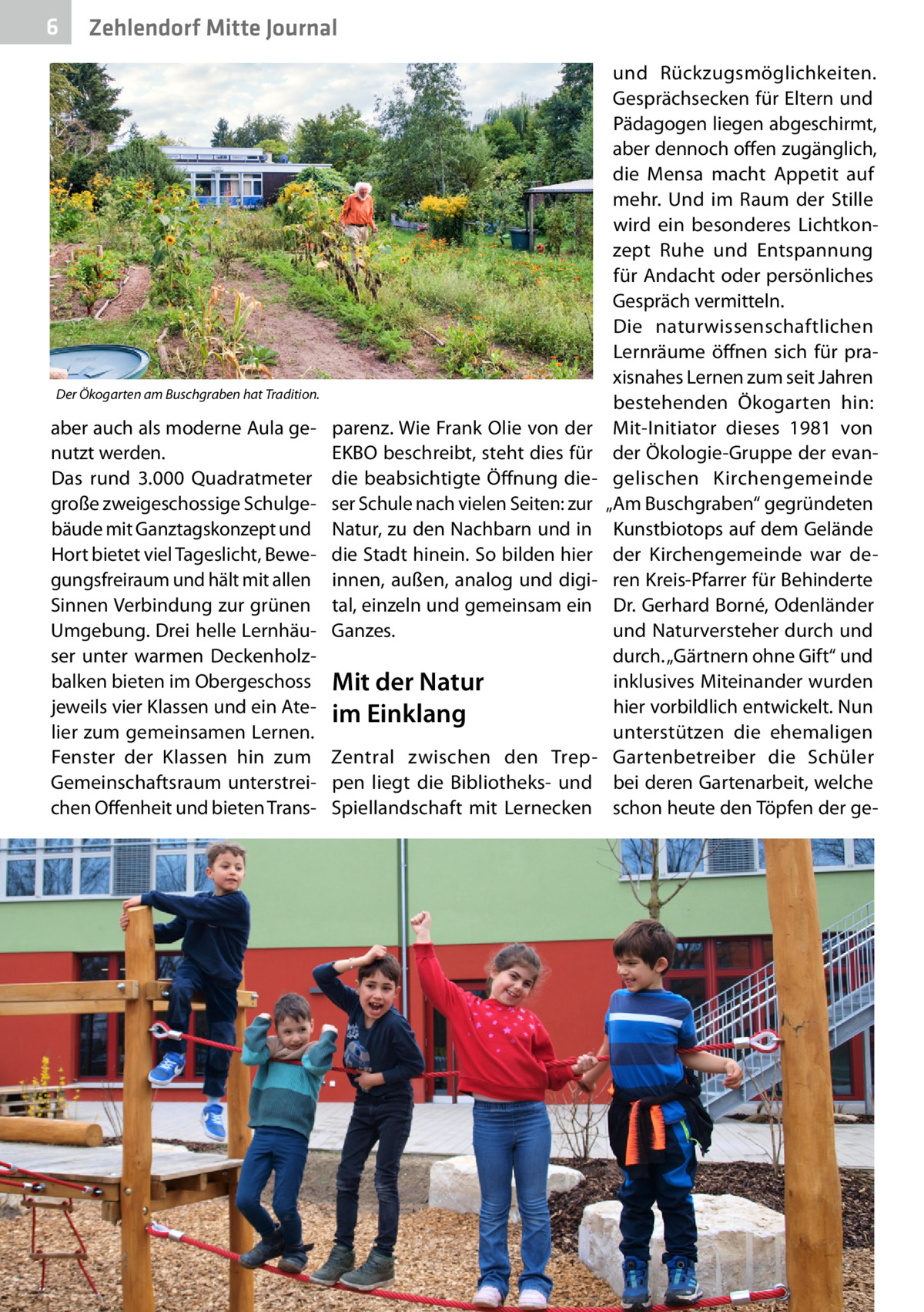 6  Zehlendorf Mitte Journal  Der Ökogarten am Buschgraben hat Tradition.  aber auch als moderne Aula genutzt werden. Das rund 3.000  Quadratmeter große zweigeschossige Schulgebäude mit Ganztagskonzept und Hort bietet viel Tageslicht, Bewegungsfreiraum und hält mit allen Sinnen Verbindung zur grünen Umgebung. Drei helle Lernhäuser unter warmen Deckenholzbalken bieten im Obergeschoss jeweils vier Klassen und ein Atelier zum gemeinsamen Lernen. Fenster der Klassen hin zum Gemeinschaftsraum unterstreichen Offenheit und bieten Trans parenz. Wie Frank Olie von der EKBO beschreibt, steht dies für die beabsichtigte Öffnung dieser Schule nach vielen Seiten: zur Natur, zu den Nachbarn und in die Stadt hinein. So bilden hier innen, außen, analog und digital, einzeln und gemeinsam ein Ganzes.  Mit der Natur im Einklang Zentral zwischen den Treppen liegt die Bibliotheks- und Spiellandschaft mit Lernecken  und Rückzugsmöglichkeiten. Gesprächsecken für Eltern und Pädagogen liegen abgeschirmt, aber dennoch offen zugänglich, die Mensa macht Appetit auf mehr. Und im Raum der Stille wird ein besonderes Lichtkonzept Ruhe und Entspannung für Andacht oder persönliches Gespräch vermitteln. Die naturwissenschaftlichen Lernräume öffnen sich für praxisnahes Lernen zum seit Jahren bestehenden Ökogarten hin: Mit-Initiator dieses 1981 von der Ökologie-Gruppe der evangelischen Kirchengemeinde „Am Buschgraben“ gegründeten Kunstbiotops auf dem Gelände der Kirchengemeinde war deren Kreis-Pfarrer für Behinderte Dr. Gerhard Borné, Odenländer und Naturversteher durch und durch. „Gärtnern ohne Gift“ und inklusives Miteinander wurden hier vorbildlich entwickelt. Nun unterstützen die ehemaligen Gartenbetreiber die Schüler bei deren Gartenarbeit, welche schon heute den Töpfen der g