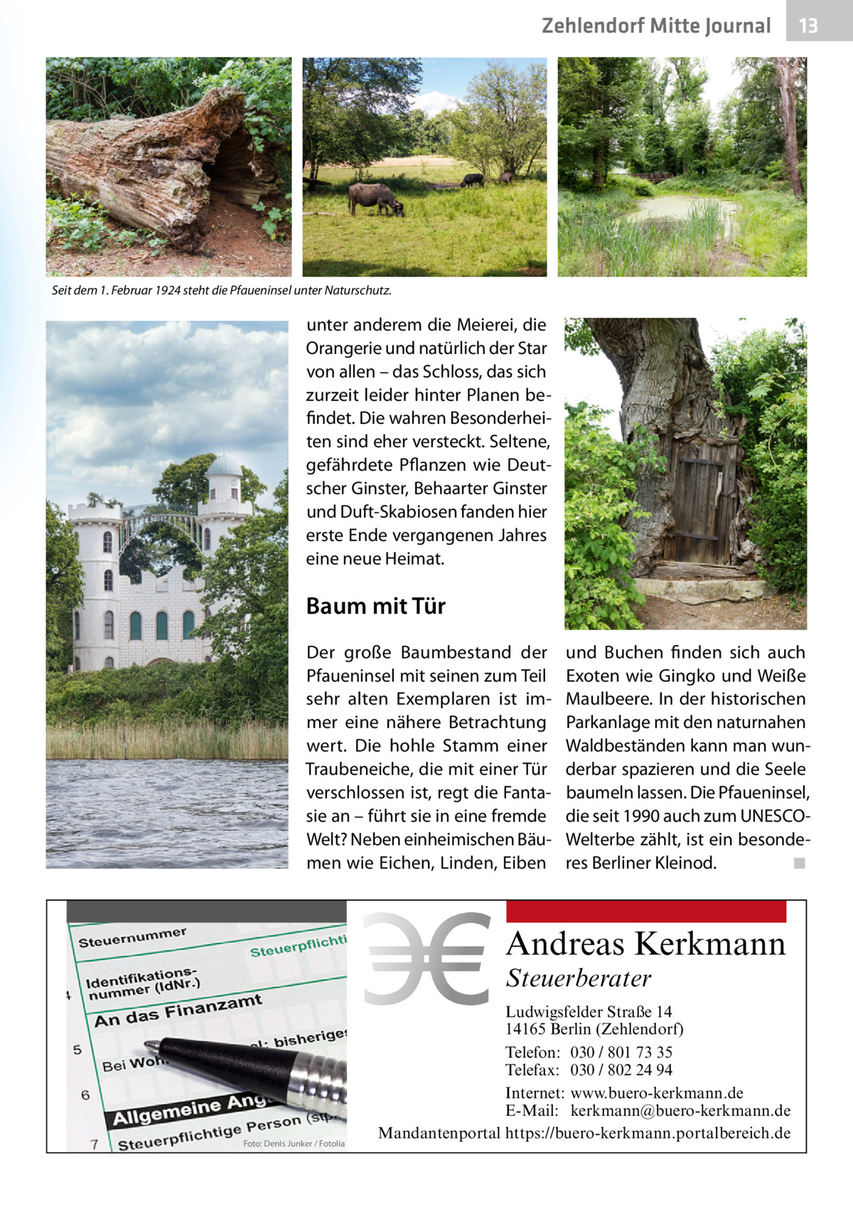 Zehlendorf Mitte Journal  13  Seit dem 1. Februar 1924 steht die Pfaueninsel unter Naturschutz.  unter anderem die Meierei, die Orangerie und natürlich der Star von allen – das Schloss, das sich zurzeit leider hinter Planen befindet. Die wahren Besonderheiten sind eher versteckt. Seltene, gefährdete Pflanzen wie Deutscher Ginster, Behaarter Ginster und Duft-Skabiosen fanden hier erste Ende vergangenen Jahres eine neue Heimat.  Baum mit Tür Der große Baumbestand der Pfaueninsel mit seinen zum Teil sehr alten Exemplaren ist immer eine nähere Betrachtung wert. Die hohle Stamm einer Traubeneiche, die mit einer Tür verschlossen ist, regt die Fantasie an – führt sie in eine fremde Welt? Neben einheimischen Bäumen wie Eichen, Linden, Eiben  und Buchen finden sich auch Exoten wie Gingko und Weiße Maulbeere. In der historischen Parkanlage mit den naturnahen Waldbeständen kann man wunderbar spazieren und die Seele baumeln lassen. Die Pfaueninsel, die seit 1990 auch zum UNESCOWelterbe zählt, ist ein besonderes Berliner Kleinod. ◾  Andreas Kerkmann Steuerberater  Foto: Denis Junker / Fotolia  Ludwigsfelder Straße 14 14165 Berlin (Zehlendorf) Telefon: 030 / 801 73 35 Telefax: 030 / 802 24 94 Internet: www.buero-kerkmann.de E-Mail: kerkmann@buero-kerkmann.de Mandantenportal https://buero-kerkmann.portalbereich.de