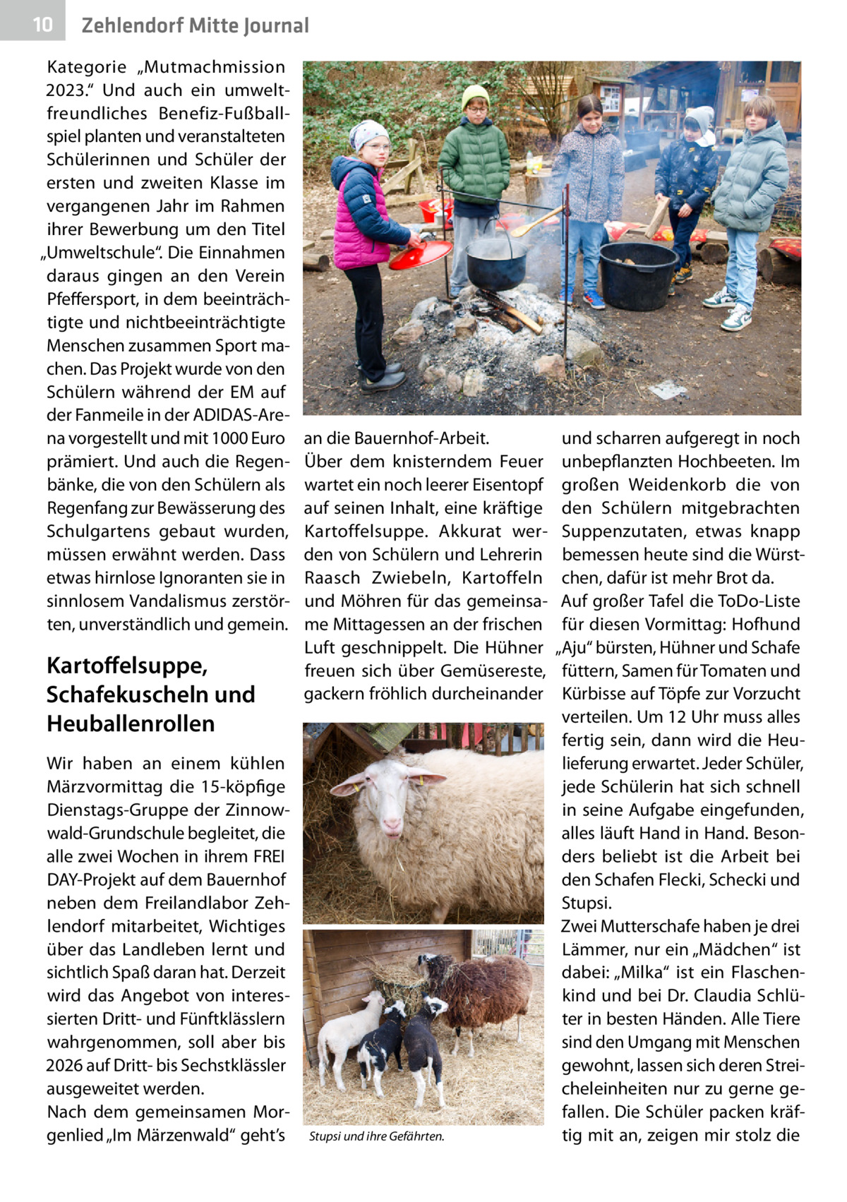 10  Zehlendorf Mitte Journal  Kategorie „Mutmachmission 2023.“ Und auch ein umweltfreundliches Benefiz-Fußballspiel planten und veranstalteten Schülerinnen und Schüler der ersten und zweiten Klasse im vergangenen Jahr im Rahmen ihrer Bewerbung um den Titel „Umweltschule“. Die Einnahmen daraus gingen an den Verein Pfeffersport, in dem beeinträchtigte und nichtbeeinträchtigte Menschen zusammen Sport machen. Das Projekt wurde von den Schülern während der EM auf der Fanmeile in der ADIDAS-Arena vorgestellt und mit 1000 Euro prämiert. Und auch die Regenbänke, die von den Schülern als Regenfang zur Bewässerung des Schulgartens gebaut wurden, müssen erwähnt werden. Dass etwas hirnlose Ignoranten sie in sinnlosem Vandalismus zerstörten, unverständlich und gemein.  Kartoffelsuppe, Schafekuscheln und Heuballenrollen Wir haben an einem kühlen Märzvormittag die 15-köpfige Dienstags-Gruppe der Zinnowwald-Grundschule begleitet, die alle zwei Wochen in ihrem FREI DAY-Projekt auf dem Bauernhof neben dem Freilandlabor Zehlendorf mitarbeitet, Wichtiges über das Landleben lernt und sichtlich Spaß daran hat. Derzeit wird das Angebot von interessierten Dritt- und Fünftklässlern wahrgenommen, soll aber bis 2026 auf Dritt- bis Sechstklässler ausgeweitet werden. Nach dem gemeinsamen Morgenlied „Im Märzenwald“ geht’s  an die Bauernhof-Arbeit. Über dem knisterndem Feuer wartet ein noch leerer Eisentopf auf seinen Inhalt, eine kräftige Kartoffelsuppe. Akkurat werden von Schülern und Lehrerin Raasch Zwiebeln, Kartoffeln und Möhren für das gemeinsame Mittagessen an der frischen Luft geschnippelt. Die Hühner freuen sich über Gemüsereste, gackern fröhlich durcheinander  Stupsi und ihre Gefährten.  und scharren aufgeregt in noch unbepflanzten Hochbeeten. Im großen Weidenkorb die von den Schülern mitgebrachten Suppenzutaten, etwas knapp bemessen heute sind die Würstchen, dafür ist mehr Brot da. Auf großer Tafel die ToDo-Liste für diesen Vormittag: Hofhund „Aju“ bürsten, Hühner und Schafe füttern, Samen für Tomaten und Kürbisse auf Töpfe zur Vorzucht verteilen. Um 12 Uhr muss alles fertig sein, dann wird die Heulieferung erwartet. Jeder Schüler, jede Schülerin hat sich schnell in seine Aufgabe eingefunden, alles läuft Hand in Hand. Besonders beliebt ist die Arbeit bei den Schafen Flecki, Schecki und Stupsi. Zwei Mutterschafe haben je drei Lämmer, nur ein „Mädchen“ ist dabei: „Milka“ ist ein Flaschenkind und bei Dr. Claudia Schlüter in besten Händen. Alle Tiere sind den Umgang mit Menschen gewohnt, lassen sich deren Streicheleinheiten nur zu gerne gefallen. Die Schüler packen kräftig mit an, zeigen mir stolz die