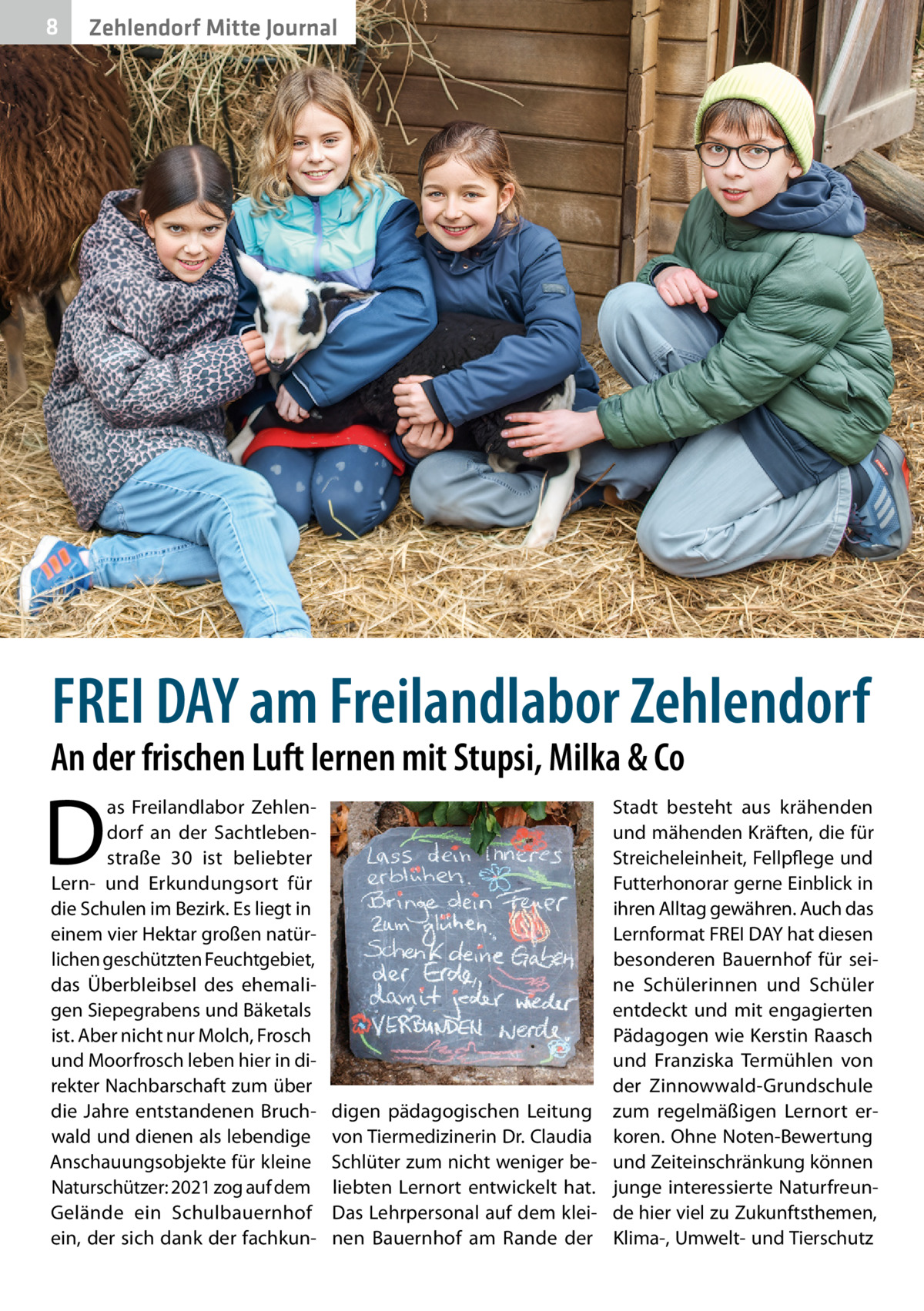 8  Zehlendorf Mitte Journal  FREI DAY am Freilandlabor Zehlendorf  An der frischen Luft lernen mit Stupsi, Milka & Co  D  as Freilandlabor Zehlendorf an der Sachtlebenstraße  30 ist beliebter Lern- und Erkundungsort für die Schulen im Bezirk. Es liegt in einem vier Hektar großen natürlichen geschützten Feuchtgebiet, das Überbleibsel des ehemaligen Siepegrabens und Bäketals ist. Aber nicht nur Molch, Frosch und Moorfrosch leben hier in direkter Nachbarschaft zum über die Jahre entstandenen Bruchwald und dienen als lebendige Anschauungsobjekte für kleine Naturschützer: 2021 zog auf dem Gelände ein Schulbauernhof ein, der sich dank der fachkun digen pädagogischen Leitung von Tiermedizinerin Dr. Claudia Schlüter zum nicht weniger beliebten Lernort entwickelt hat. Das Lehrpersonal auf dem kleinen Bauernhof am Rande der  Stadt besteht aus krähenden und mähenden Kräften, die für Streicheleinheit, Fellpflege und Futterhonorar gerne Einblick in ihren Alltag gewähren. Auch das Lernformat FREI DAY hat diesen besonderen Bauernhof für seine Schülerinnen und Schüler entdeckt und mit engagierten Pädagogen wie Kerstin Raasch und Franziska Termühlen von der Zinnowwald-Grundschule zum regelmäßigen Lernort erkoren. Ohne Noten-Bewertung und Zeiteinschränkung können junge interessierte Naturfreunde hier viel zu Zukunftsthemen, Klima-, Umwelt- und Tierschutz