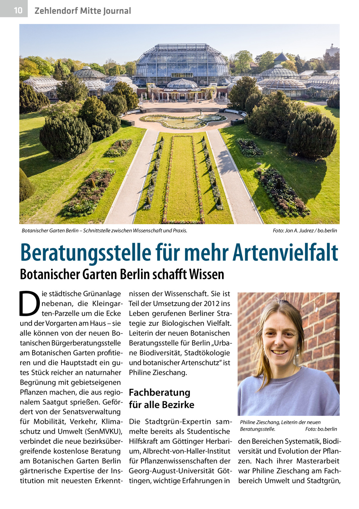 10  Zehlendorf Mitte Journal  Botanischer Garten Berlin – Schnittstelle zwischen Wissenschaft und Praxis.�  Foto: Jon A. Juárez / bo.berlin  Beratungsstelle für mehr Artenvielfalt  Botanischer Garten Berlin schafft Wissen  D  ie städtische Grünanlage nebenan, die Kleingarten-Parzelle um die Ecke und der Vorgarten am Haus – sie alle können von der neuen Botanischen Bürgerberatungsstelle am Botanischen Garten profitieren und die Hauptstadt ein gutes Stück reicher an naturnaher Begrünung mit gebietseigenen Pflanzen machen, die aus regionalem Saatgut sprießen. Gefördert von der Senatsverwaltung für Mobilität, Verkehr, Klimaschutz und Umwelt (SenMVKU), verbindet die neue bezirksübergreifende kostenlose Beratung am Botanischen Garten Berlin gärtnerische Expertise der Institution mit neuesten Erkennt nissen der Wissenschaft. Sie ist Teil der Umsetzung der 2012 ins Leben gerufenen Berliner Strategie zur Biologischen Vielfalt. Leiterin der neuen Botanischen Beratungsstelle für Berlin „Urbane Biodiversität, Stadtökologie und botanischer Artenschutz“ ist Philine Zieschang.  Fachberatung für alle Bezirke Die Stadtgrün-Expertin sammelte bereits als Studentische Hilfskraft am Göttinger Herbarium, Albrecht-von-Haller-Institut für Pflanzenwissenschaften der Georg-August-Universität Göttingen, wichtige Erfahrungen in  Philine Zieschang, Leiterin der neuen Beratungsstelle.� Foto: bo.berlin  den Bereichen Systematik, Biodiversität und Evolution der Pflanzen. Nach ihrer Masterarbeit war Philine Zieschang am Fachbereich Umwelt und Stadtgrün,