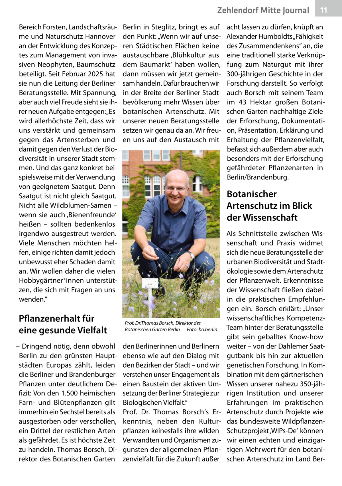 Zehlendorf Mitte Journal Bereich Forsten, Landschaftsräume und Naturschutz Hannover an der Entwicklung des Konzeptes zum Management von invasiven Neophyten, Baumschutz beteiligt. Seit Februar 2025 hat sie nun die Leitung der Berliner Beratungsstelle. Mit Spannung, aber auch viel Freude sieht sie ihrer neuen Aufgabe entgegen: „Es wird allerhöchste Zeit, dass wir uns verstärkt und gemeinsam gegen das Artensterben und damit gegen den Verlust der Biodiversität in unserer Stadt stemmen. Und das ganz konkret beispielsweise mit der Verwendung von geeignetem Saatgut. Denn Saatgut ist nicht gleich Saatgut. Nicht alle Wildblumen-Samen – wenn sie auch ‚Bienenfreunde‘ heißen – sollten bedenkenlos irgendwo ausgestreut werden. Viele Menschen möchten helfen, einige richten damit jedoch unbewusst eher Schaden damit an. Wir wollen daher die vielen Hobbygärtner*innen unterstützen, die sich mit Fragen an uns wenden.“  Pflanzenerhalt für eine gesunde Vielfalt – Dringend nötig, denn obwohl Berlin zu den grünsten Hauptstädten Europas zählt, leiden die Berliner und Brandenburger Pflanzen unter deutlichem Defizit: Von den 1.500 heimischen Farn- und Blütenpflanzen gilt immerhin ein Sechstel bereits als ausgestorben oder verschollen, ein Drittel der restlichen Arten als gefährdet. Es ist höchste Zeit zu handeln. Thomas Borsch, Direktor des Botanischen Garten  Berlin in Steglitz, bringt es auf den Punkt: „Wenn wir auf unseren Städtischen Flächen keine austauschbare ‚Blühkultur aus dem Baumarkt‘ haben wollen, dann müssen wir jetzt gemeinsam handeln. Dafür brauchen wir in der Breite der Berliner Stadtbevölkerung mehr Wissen über botanischen Artenschutz. Mit unserer neuen Beratungsstelle setzen wir genau da an. Wir freuen uns auf den Austausch mit  11  acht lassen zu dürfen, knüpft an Alexander Humboldts „Fähigkeit des Zusammendenkens“ an, die eine traditionell starke Verknüpfung zum Naturgut mit ihrer 300-jährigen Geschichte in der Forschung darstellt. So verfolgt auch Borsch mit seinem Team im 43  Hektar großen Botanischen Garten nachhaltige Ziele der Erforschung, Dokumentation, Präsentation, Erklärung und Erhaltung der Pflanzenvielfalt, befasst sich außerdem aber auch besonders mit der Erforschung gefährdeter Pflanzenarten in Berlin/Brandenburg.  Botanischer Artenschutz im Blick der Wissenschaft  Prof. Dr.Thomas Borsch, Direktor des Botanischen Garten Berlin � Foto: bo.berlin  den Berlinerinnen und Berlinern ebenso wie auf den Dialog mit den Bezirken der Stadt – und wir verstehen unser Engagement als einen Baustein der aktiven Umsetzung der Berliner Strategie zur Biologischen Vielfalt.“ Prof.  Dr.  Thomas Borsch‘s Erkenntnis, neben den Kulturpflanzen keinesfalls ihre wilden Verwandten und Organismen zugunsten der allgemeinen Pflanzenvielfalt für die Zukunft außer  Als Schnittstelle zwischen Wissenschaft und Praxis widmet sich die neue Beratungsstelle der urbanen Biodiversität und Stadtökologie sowie dem Artenschutz der Pflanzenwelt. Erkenntnisse der Wissenschaft fließen dabei in die praktischen Empfehlungen ein. Borsch erklärt: „Unser wissenschaftliches KompetenzTeam hinter der Beratungsstelle gibt sein geballtes Know-how weiter – von der Dahlemer Saatgutbank bis hin zur aktuellen genetischen Forschung. In Kombination mit dem gärtnerischen Wissen unserer nahezu 350-jährigen Institution und unserer Erfahrungen im praktischen Artenschutz durch Projekte wie das bundesweite WildpflanzenSchutzprojekt ‚WIPs-De‘ können wir einen echten und einzigartigen Mehrwert für den botanischen Artenschutz im Land Be