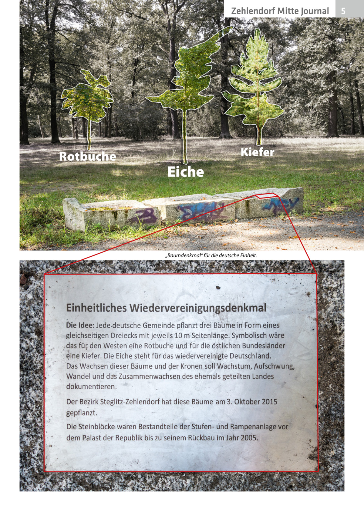Zehlendorf Mitte Journal  Rotbuche  Kiefer  Eiche  „Baumdenkmal“ für die deutsche Einheit.  5